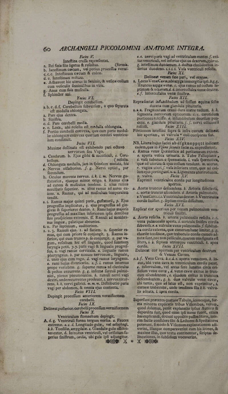 Facies V. Inteftina crafla repr^fentat. a. Ilei finis filo ligatus & refeftus. Cfori^is. b. Inteftinum coccum, vel potius.proccffus vermi- c. c. c, Inteiiinum coecum & colon. d*. e. Inteiiinum reclum. e. Adhaerent hic uterus in feminis, dc veficae collum ' cum veficulis feminalibus in viris, g. Anus cum fuis mufculis. i, Sphintler ani. Yacies VI. Depingit cerebellum. a.b. c. d.f. Cerebellum fubverfum, a quo fepai-ata *eft medulla oblongata, a. Pars ejus dextra. b. Siniftra. c. d. Pars cerebelli media. e. e. Loca, ubi rele6la eft medulla oblongata, f. Portio cerebelli convexa, quas cum parte medul¬ la? oblongatae conVexa quartum cerebri ventricu¬ lum conllituit. lacies VII. Maxime deftinata eft exhibendo pari oftavO nervorum feu Vago. a. Cerebrum, b. Ejus gibbi & monticuli, c. Cere¬ bellum. (tefefta. d. Oblongata medulla, jam in fpinalem mutata, hic e. Nervus olfactorius, /. g. Nervi optici, par fecundum. h. Oculos movens nervus, i. k. l. m. Nervus gu* flatorius, ejusque minor origo, k. Ramus eju» ad cutem & mufeuios tendens, l. alius ramus maxillaris fuperior. m. alius ramus ad nares ex¬ iens. n. Ramus, qui ad mufculum temporalem tendit. 0. i. Ramus major quinti paris, guftatorii, p. Ejus progrelTus implicatus, q. ejus progrelTus ad gin¬ givas & fuperiores dentes, r. Rami hujus majoris progrelTus ad maxillam inferiorem ipfis dentibus fuis profpiciens extremis. IT. Ramuli ad membra¬ nas linguae, palatique abeuntes. t;u. Par feptimum, auditorium. I. 2.3. Ramuli ejus. i. ad faciem, a. fuperior ra¬ mus, qui cum priore fe conjungit. 3. Ramus in¬ ferior, qui cum trunco p. fe conjungit, x. par va¬ gum, refeClum hic ell linguale, quod fummum laryngis petit, y.y. paris vagi & lingualis progref- fus, z. vagi ramus cervicalis, a. lingualis ramus pharyngseus. b. par nonum nervorum, linguale, c. unio ejus cum vago. d. vagi ramus laryngaeus. e. rami hujus divaricatio. c.f.l. ramus internus prope vertebras, g. fuperne ramus ad claviculas & pedus excurrens, g. g. inferne furculi pulrao- nici, plexus pneumonicus, h. ramuli nervi vagi dextri, unde recurrentes prodeunt, i. nervus recur¬ rens, k. k. nervi gallrici. m. m. m. Dillributio paris vagi per abdomen, & omnia ejus contenta. Facies VIII. Depingit proceflum anteriorem vermiformem cerebelli. Facies IX. Delineat pofterior. cerebelli proceiTum vermiformem Facies X. Ventriculum Itomaehum depingit, A, d. g. Ventriculi forma tergum verfus. a. Fauces extremae, a. c. d. Longitudo gulae, vel oefophagi. b.b. Tonfillae, amygdalae, c. Glandulae gula? affiden- tesextus, d. Introitus ventriculi, vel orificium fu- perius fmiftrum, cflrd/a, ubi gula ipfi adjungitur. e. e. nervi paris vagi ad ventriculum euntes./, exi¬ tus ventriculi, vel inferius ejus os dextrum^pylmis. g. inteiiinum duodenum, b. duclus cholidochus in¬ fertus duodeno, i.z.t. i. Vafa ventriculi refefta. Facies XI. Delineat venam fine pari, vel azygam. a. Locus VenaeCavae,ubi azyga immergitur ipfi. b.g.g. Truncus azyga; venae, c. ejus ramus adeoftara ie- ptimam 6c ociavam.d. d. intercoilales vena? dextra?. e.f. Intercoilales venae finiftrae. Facies XII. Repraefentat infundibulum ad foflam equinae fcllae ducer.s cum glandula pituitaria. a. a.a. Fragmentum cranii dura matre tedlum. h. b. fegmenta nervorum opticorum, c. c. carotidum portiones rclciifa?. d. infundibuium deorfum pen¬ dens. e. glandula pituitaria, f. /, nervi olfactorii refcilTi, Facies XIII. Fdrtionem inteftini fupra & infra coecum delineat hic apertam, ut valvula* coli confpicua fiat. Facies XIV. NB.Literaehujus faciei abdfgknoppqtt indicant. eadem,quae in Vijime fecunda facie ix. exprelferunr. e. Ramus vena; fpermaticas ad peritona?um exiens. e. aperta velica urinaria, b. Tuba; Fallopiana; » i. vafa tubarum e fpermaticis. /. vafa fpermatica, quae ad uterum «St ejus collum tendunt, m. uterus. r. vagina uteri./! vafa mferiora uteri, qua; ad col¬ lum ejus pertingunt.mu. Ligamenta uterirotuada.. X. vulva. Facies XV. Exprimit ventriculos cordis per longitudinem apertos. a. Aortae truncus defeendens. b. Arteria fubclavia. c. aort$ truncus afeendens. d. Arteria pulmonalis. f. VenaCava.i.j.Ventriculus dexter. />. Ventriculus cordis finiller. g. feptum cordis dilTecluni. Facies XVI. Explicat cor apertum per venam pulmonalem ven¬ triculi finifiri. a. Aorta refefta. b. arteria pulmonalis refefta. c. c.. vena pulmonalis aperta, d. auricula finiftra cordis fubverfa. e. e. valvula; venae pulmonalis./, fubilan- tia cordis externa, qua; cameram hanc limitat, g. g, chordae tendinea*, quae trabeculis cordis carneis ad- nata; funt,nec non peliiculae,quarum una lignata eft litera, i. b, feptum utriusque ventriculi, k. apex cordis. Facies XVIL Delineat cor apertum per ventriculum dextrum & Venam Cavam. a.h.f. Vena Cava, b.c.d.e. aperta vena cava. b. lo¬ cus, ubi vena cava in ventriculum cordis patet. f. tuberculum, vel arcus fere lunatus circa ori¬ ficium vena; cavse , d. venae cavae exitus in trun¬ cum afeendentem, e. ejusdem exitus in truncum defeendentem, g. h. duae valvulae venae cavae, ubi tertia, qua? ad latus ell, non exprimitur, i. carnes trabeculs, unde tendinea fila k.k. valvu¬ lis adnata. /. apex cordis. Superfunt prsterea quatuorTabuls, iconesque, for¬ ma minores explicatis tribus Vifionibus, verum, quod dolemus, periit explanatio ipfius Autoris & deperdita fuit, quod enim ipfi mens fuerit, etiam has explicandi, docent appofitspaffimliters, inte- rim facile confidere fibi &Le6lores &Spe6latores poterunt, fi modo &Vifionum explanationem adi¬ verint, illasque comparaverint cum his icones, & maxime illas, qus textu continentur, feriptas de¬ lineationes, in fubfidium vocaverint. o