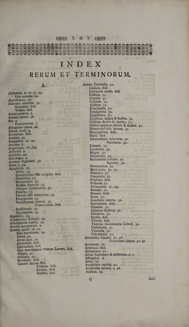 INDEX RERUM ET TERMINORUM. A. Abdomen. 6* 20. 30. 39* Ejus annulus. 20. Acetabulum* 37* Adiones animales. $2» Naturales, ibid. Vitales, ibid. Adami pomum. 5. Adnata tunica. 48* Ala. 5* Pudendorum. 7. Albuginea tunica, 48. Album oculi. 4. Alvearium, ibid* Amnios. 43. Amygdalae. 45-'49* Ancone. 6. Angiologia. 26^feqq* ■ • Anthelix. 4- Antiades. 45. Antitragus 4- Antrum Higlimori* 3^* Anus. 7. 39» Apophyfis. 32. Alaris. 33. ^ . Condyloidea oflis occipitis, ibid* Glenoidea. 35. Mammillaris. 33. Nafalis fupcrior. 35* Obliqua vertebrarum. 36* Palatina. 35- Petrofa offis temporum. 33* Pterygoidea 33. Vertebrarum fpinofa. 3'^* Transverlalis, ibid* Styliformis. 33. Zygomatica. 33. Appetitus. 54- Aqusedudus Fallopii. 34* . Arachnoidea tunica. 49» Areola mammarum. 5- - Arteria, quid? 26. 29. Ejus membrana. 29. Aorta. 30. Arcus ejus. 30. Afeendens. ibid.- Defeendens. ibid. _ Ejus innominatus truncus Lowen* ibid. Afpera. 45* ' Axillaris. 30.^ Brachialis, ibid. Carotis dextra, ibid. Externa, ibid. Interna, ibid. Siniftra. ibid. Arteria Cervicalis. 30* Coeliaca, ibid. Coronaria cordis, ibid* Coftalis. 30. Cruralis. 3!. Cubitaea. 30* Gufticae. 31. Duodenalis. 3i> Emulgentes. 30* Dpigailrica. 31. Epiploica dextra & finiftra, 31» Gaitrica dextra & liniitra. 31-. Galtro-epiploica dextra & llniftra. 31. Heemorrhoidalis interna. 31. HypogaPcrica. ibid. Iliaca, ibid. Intercoftales inferiores. 30.- fuperigres. 30. Lienalis. 31. Lumbares. 30» Magna. 30.' Mammaria, 30. Mefenterica inferior. 3t. . fuperior. 31* Mefentericie. 31. Mufcularis. 30. 31. Plantaris. 31. Omentalis. 31-. Poplitcea. ibid. Pudenda. 31. Pulmonalis. 27. 29* Radialis. 30. Renalis, ibid. Sacra. 31. Scamilaris interna. 30. Spermaticae, ibid. Splenica. 31. Splenico Gaftrica. 31. Subclavia. 30. Suralis, ibid. Tibialis, ibid, Truncus innominatus Low^eri. 30. Umbilicalis. 31. Ventralis. 30. Vertebralis. 30* Arteriofus Canalis. 30. 4(5. Choroideus plexus. 30. 47. Arthrodia. 32. Arthroos. ibid. - Articulatio. 32. Artus fuperiores & inferiores. 5. 7, Aftragalus. 8. Atlas. 36. Atrabilaria capfula. 40. Auditorius meatus. 4. 48. Auditus. 53. Q Auri-