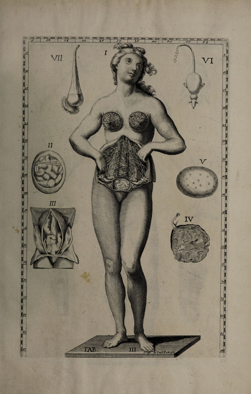 ■minili minuti - mimi mina_lu5Sa~nnHiBi ~ ìpiiiiMl Mimmi—un™—limimi Binili ' m imifnn