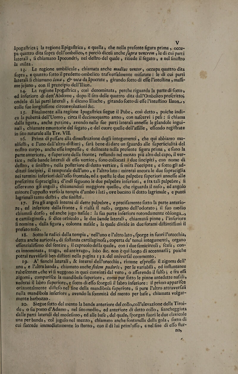 Ipogaflrica; la regioneEpigaflrica , e quella, che nella preferite figura prima , occu¬ pa quattro dita (opra dell’ombelico, e perciò diedi anche fupra ventrem , le di cui parti laterali, li chiamano Ipocondri, nel deliro del quale , riliede il fegato, c nel liniltro la milza. 13. Le regione umbilicale, chiamata anche medius venter, occupa quattro dita fopra, e quattro fotto il predetto ombelico trafverfalmente mifurate : le di cui parti laterali fi chiamano laxa , & iota da Ipocrate , girando fotto di effe l’intellina , malfi- mc jejuno , con il prencipio dell’Ilion. 14. La regione Ipogaflrica , così denominata, perche riguarda la parte di fotto, ed inferiore di dett’Abdome, dopo il (ito delle quattro dita dall’Ombelico preferitto; ondele di lui parti laterali, fi dicano Iliache, girando fotto di effe l’inteflino Ileon_>5 colle fue longhilfime circonvoluzioni &c. 15. Finalmente alla regione Ipogaflrica fìeguc il Pube, così detto , poiché indi¬ ca la pubertà dell’Uomo, circa il decimoquarto anno, con nafeervi i peli : fi chiama dalla figura, anche pettine, avendo nelle fue parti laterali annclfe le glandole ingui¬ nali , chiamate cmuntoric del fegato, e del cuore quelle dell’affille, eflendo regiflrate in fito naturale alla Tav. VII. 16. Prima di pattare alla dimolfrazione degli integumenti, che qui abbiamo ma¬ nnelli , e l’uno dall’altro diflinti, farà bene di dare un {guardo alle fuperficialità del noltro corpo, anche elfe imprelfe, e delineate nella prefente figura prima, e fono la parte anteriore, e fuperioredella fronte; reflando nel mezzo più alto del capo, il ver¬ tice , nelle bande laterali di elfo vertice, fono collocati i due fincipiti, con nome di deliro, e finiflro, nella pofleriore di detto vertice, fi mira l’occipite , e fotto gli ad¬ ditati fincipiti, il temporale dell’uno , e l’altro lato : mirerai ancorale due fopraciglia nei termini inferiori dell’olfo frontale, ed a quelle le due palpebre fuperiori annelfe alle preferite fopraciglia; d’indi feguono le due palpebre inferiori, e fra tali palpebre, fi enervano gli angoli, chiamandoli maggiore quello, che riguarda il nafo , ed angolo minore l’oppoflo verfo la tempia d’ambo i lati, ove bucano il dotto lagrimale , e punti lagrimali tanto deliri, che linilìri. 17. Fra gli angoli interni di dette palpebre, e precifamente fotto la parte anterio¬ re , ed inferiore della fronte, fi rialfa il nafo, organo dell’odorato ; il fuo medio chiamafi dorfo , ed anche jugo nafale : la fua parte inferiore rotondamente oblonga.^, e cartilaginofa, fi dice orbicolo , le due bande laterali, chiamanfi pinne , l’inferiore fi nomina, dalla figura, colonna nafale, la quale divide in due forami diflintittìmi il prefato nafo. 18. Sotto le rad ici della tempia, nell’uno e l’altro lato, fporge in fuori l’orecchia, detta anche auricola, di foflanza cartilaginofa, coperta de’ tenui integumenti, organo ettenzialiffimo del fentire , il capreolodella quale, con i duefemicircoli, fcafa, con¬ cainnominata, trago, edantirrago, lobo &c. non èqui luogo di accennarli; poiché potrai ravvifarli ben diftinti nella pagina 13 2. del univerfal commento. 19. A’ fianchi laterali, & interni dell’orecchia, rimane efpreffo il zigoma dell’ una, e l’altra banda, chiamato nuche federa pudorij, per le variabili, ed inflantanee rubefeenze ,che vi fi veggono in quei convinti dal vero, o aderendo il falfo ; e fra elfi zigomi, comparile la mandibola fuperiore, come pur lotto le pinne antedette nafidi> vederai il labro fuperiore, e fotto di elfo feorgefi il labro inferiore : il primo apparifee orizontalmente difiefonel fine della mandibola fuperiore, fi pure l’altro attraverfafi nella mandibola inferiore , avendo la fommità del mento per bafe, chiamata volgar¬ mente barbozzo. 20. Sicgue fotto del mento la banda anteriore del collo,coll’elevazione della Tiroi¬ de, o fia pomo d’Adamo , nel fito medio, ed anteriore di detto collo, fiancheggiata dalle parti laterali del medefimo, ed alle bafe, del quale, fporgan fuori le due clavicole una per banda, col jugulonel mezzo, chiamato anche fontanella della gola, fotto di cui fuccede immediatamente lo derno, con il di lui prim’otto, e nel fine di etto fler- no,