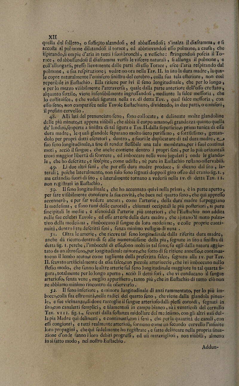 quella del follerò, o foffif^to alzandofi, cd abbacandoli; s’inalza il diaframma, c fi accolta al polmone dilatandoli il torace , ed abbrivandoli elfo polmone, a caufa, che ifpirando,li empie d’aria in tutti i Tuoi bronchi, e vellìche : ftringendofi pofeia il To¬ race , edabbalfandofj il diaframma verfo le vifccre naturali, li allunga il polmone , e cod’allongarfi, prelfo lievemente dalle parti di elfo Torace , efee l’aria respirando dal polmone, e fua refpirazione ; vedremo ora nella Tav. II. in lito la dura madre, laqua- Je copre naturalmente l’emisfero lìniftro del cerebro, colla fua tela citeriore, non così reperibile in Eultachio. Ella ritiene pur ivi il feno longitudinale, che perlolongo, e per lo mezzo viabilmente i’attraverfa, quale dalla parte anteriore dell’olfo creltato, alquanto fottile, viene infenfibilmente ingroftandofi, mediante la falce melforia , che 10 coftituifce, e che vedefi figurata nella iv. di detta Tav. , qual falce melforia , con elfo feno, non comparifee nelle Tavole Euftachiane, dividendo, in due parti, o emisferi, 11 prefato cervello , 48. Alli lati del prenunciato feno, fono collocate, c delineate molte glandoline delle più minute,et appena vilìbili, che abbia il corpo umano,di grandezza quanto quella de’ lendini,feopérte a (iniftra di tal figura e Tav-II.dalla fuperficie,o prima tunica di elfa dura madre, le q uali piandole fe para no molto fiero purilfjmo, e fottililfimo, gettan¬ dolo per propri dotti eferetori, dentro, e fuori le duplicature di tal dura madre, e_j fuo feno longitudinale,a fine di render fledìbjle una tale membrana,per i fuoi continui moti, acciò il fangue, che anche contiene dentro i propri feni, per lo più orizontali trovi maggior libertà di feorrere , ed imboccare nelle vene jugulari ; onde le glando¬ le , che ho deferitte, e (colpite , come udifte, nò pure in Euftachio reftano olfervabili. 49. Li due altri feni, che pur e(fa dura madre produce, fi dicano dal (ito , la¬ terali poiché lateralmente, non folo fono degnati doppo il giro oifeo del cranio fig. 1., ma eziandio fuori di (ito, e lateralmente tornano a vederli nella 1 v. di detta Tav. 11. non regi (Irati in Euftachio, 50. Il feno longitudinale , che ho accennato quivi nella prima, è in parte aperto, per fare vifibilmente conofcere la fua cavità, che buca nel quarto feno, che qui apprefto accennerò, e per far vedere ancora, come l’arterie, della dura'madre ferpeggiano la medefìma, e fono rami delle carotidi , chiamati occipitali le più pofteriori, si pure linci pitali le medie, e sfenoidali l’arterie più anteriori, che l’Euftachio non addita nelle fue celebri Tavole , ed effe arterie della dura madre , che ajutano’ll moto puta¬ tivo della medefima , rimboccano il (angue da loro medelime, e colle proprie conti¬ nuità , dentro i tre deferitti feni, fenza minimo veftigiodi vena . 51. Oltra le arterie, che riceve tal feno longitudinale dalla riferita dura madre, anche dà ricetto dentro di fe alle numerofidìme della pia, fegnate in (ito a fini(Ira di detta fig. I. perche , l’imbocchi di elfe,(ono molti in tal feno; fu egli dalla natura aggiu- tato da un altro feno,pur longitudinale minore,che (òtto di fe ritiene anne(fo,e continua- tocon il lembo acuto,e come tagliente della preferitta falce, fegnato alla iv. pur Tav. IL fcavatoartificialmente da efsa falce,con piccole arteriuccie ,che ivi imboccano nello ilefso modo, che fanno le altre arterie fui feno longitudinale maggiore in tal quarta fi¬ gura, totalmente perlolongo aperto , acciò li detti fori, che vi conducano il fangue arteriofo, fenza vene , meglio apparifsero, tanto più, che in Euftachio di tutto ciò non ne abbiamo minimo rincontro da ofservarlo. 52. Il feno inferiore , e minore lungitudinale di anzi rammentato, per lo più im¬ bocca, colla fua eftremità, nelle radici del quarto feno, che viene dalla glandola pinea¬ le, e fue vicinanze,di dove raccoglie il fangue arteriofo dalli pleftì coroidi, fegnati in fito,con canaletti femnlici, e filamento!! in campo bianco, sù i ventricoli del cervello Tav. vili. fig. 1., fervati dalla (bftanza midollare del medefimo, con gli altri vali del¬ la pia Madre qui delineati , c continuati,con i feni , che perla quantità de canali, con elfi congionti, e tutti realmente arteriolì, formano come un fecondo cervello l’infinite loro propagini, chequi fedelmente ho regiftrate , e fatte delineare nella propria fitua- zione d’onde (annoiloro debiti progredì, ed ufi maravigliolì, non vilibili, almeno in sì fatto modo, nel noftro Euftachio. Addun-