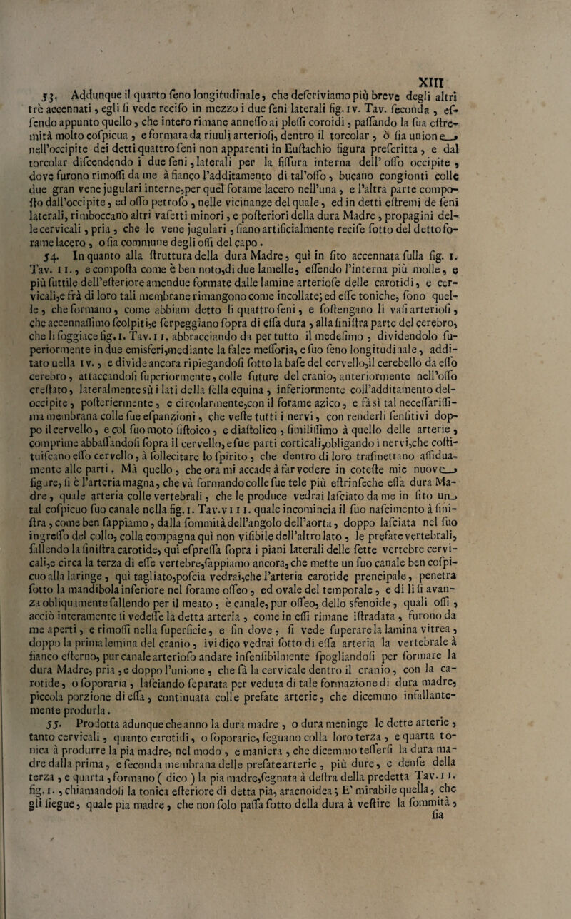 5$. Addunque il quarto fieno longitudinale, che defcriviamopiu breve degli altri tre accennati, egli fi vede recifo in mezzo i due fieni laterali fig. i v. Tav. feconda , ef- fendo appunto quello, che intero rimane annefib ai piedi coroidi, partando la fiua eftre- mità molto cofipicua , e formata da riuuli arteriofi, dentro il torcolar , ò fia unione—» nell’occipite dei detti quattro fieni non apparenti in Euftachio figura preficritta , e dal torcolar dificendendo i due fieni, laterali per la fififura interna dell’olfio occipite , dove furono rimoffi da me à fianco l’additamento dital’ortb, bucano congiunti colle due gran vene jugulari interne,per quel fiorame lacero nell’una, e l’altra parte compo¬ rto dall’occipite, ed ofìfo petrofio , nelle vicinanze del quale, ed in detti ertremj de fieni laterali, rimboccano altri vafietti minori, e pofteriori della dura Madre , propagini del¬ le cervicali , pria , che le vene jugulari, fiano artificialmente recifie fiotto del detto fo¬ rame lacero , o fia commune degli ofii del capo. 54. Inquanto alla rtrutturadella dura Madre, qui in fito accennatafulla fig. 1. Tav. 11., e comporta come è ben noto,di due lamelle, efiendo l’interna più molle, e piùTuttUe dell’erterioreamendue formate dalle lamine arteriofie delle carotidi, e cer¬ vicali^ tra di loro tali membrane rimangono come incollate, ed erte toniche, fono quel¬ le , che formano, come abbiam detto li quattro fieni, e {ottengano li vafi arteriofi, che accennammo {colpiti,e fierpeggiano fiopra di erta dura , alla finiftra parte del cerebro, che lifioggiacefig. 1. Tav. 11, abbracciando da per tutto il medefimo , dividendolo fiu- periormente indue emisferi,mediante la falce mefioria, efiuo fieno longitudinale , addi¬ tato usila 1 v., e divide ancora ripiegandofi fiotto la bafie del cervelloni cerebello da elfo cerebro, attaccandoli fu penar mente, colle future del cranio, anteriormente nell’orto crertato, lateralmente su i lati della fella equina , inferiormente coll’additamento dei- occipite, porteriermente, e circoIarmente,con il forame azico, e fasi tal necertarilfi- ma membrana colle fiue efpanzioni, che verte tutti i nervi, con renderli feniìtivi dop- po ilcervello, e col fuomoto fiftoico, e diaftolico , fimililfimo à quello delle arterie, comprime abballandoli fopra il cervello, efue parti corticali,obligando i nervi,che cofti- tuifeanoerto cervello, à follecitare lo fpirito, che dentro di loro trafimettano ardua¬ mente alle parti, Ma quello, che ora mi accade à far vedere in coterte mie nuove—» figure, fi è l’arteria magna, che va formando colle fiue tele più ertrinfieche erta dura Ma¬ dre, quale arteria colle vertebrali, che le produce vedrai laficiato da me in tiro uau tal cofpicuo fuo canale nella fig. 1. Tav.v ni. quale incomincia il fiuo naficimento à fini- flra, come ben fappiamo, dalla fiommità dell’angolo dell’aorta, doppo laficiata nel fiuo ingrclfo del collo, colla compagna qui non vilibile dell’altro lato , le prefiate vertebrali, fallendo lafinirtracarotide, qui efiprefla fopra i piani laterali delle fette vertebre cervi¬ cali^ circa la terza di elle vertebre,lappiamo ancora, che mette un fuo canale ben cofipi- cuoalla laringe, qui tagliato,poficia vedrai,che l’arteria carotide prencipale, penetra fiotto la mandibola inferiore nel fiorame ofieo, ed ovale del temporale , e di li fi avan- za obliquamente fallendo per il meato, è canale, pur ofieo, dello sfenoide, quali ofii, acciò interamente fi veddfie la detta arteria , come in erti rimane irtradata , furono da me aperti, e ri morti nella fiuperficie, e fin dove , fi vede fiuperarela lamina vitrea , doppo la prima lemina del cranio, ivi dico vedrai lotto di erta arteria la vertebrale à fianco efterno, pur canale arteriofio andare infienfibilmente fipogliandofi per formare la dura Madre, pria , e doppo l’unione , che fià la cervicale dentro il cranio, conia ca¬ rotide, ofòporaria, lanciando feparata per veduta di tale formazione di duramadre, piccola porzione diedi, continuata colle prefate arterie, che dicemmo infallante¬ mente produrla. 55. Pro .lotta adunque che anno la dura madre , o dura meninge le dette arterie , tanto cervicali, quanto carotidi, o fioporarie, feguano colla loro terza, e quarta to¬ nica à produrre la pia madre, nel modo , e maniera , che dicemmo tefierfi la dura ma¬ dre dalla prima, e feconda membrana delle prefatearterie , più dure, e denfe della terza , e quarta , formano ( dico ) la pia madre,legnata à dertra della predetta Tav. 11« fig, 1. , chiamandoli la tonica erteriore di detta pia, aracnoidea ; E’ mirabile quella, che gli liegue, quale pia madre, che non fiolo parta fiotto della dura à veftire la fiommità,