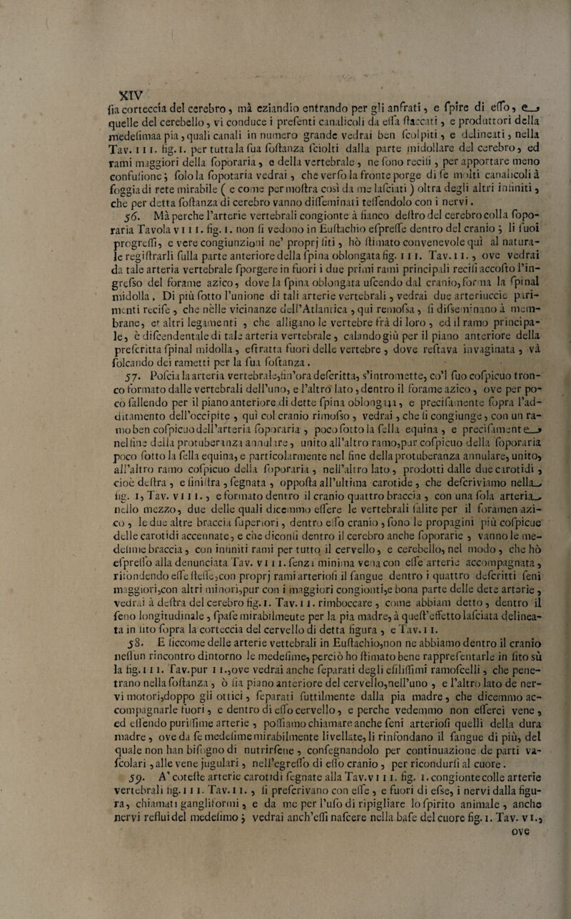 XTV {iacorteccia del cerebro , nià eziandio entrando per gli anfrati, e fpire di elio, e_* quelle del cerebello, vi conduce i prefenti canalicoli da eifa fiaccati, e produttori della j-nedefimaa pia 5 quali canali in numero grande vedrai ben {colpiti, e delineati, nella Tav. 111. fig. i. per tuttala Tua Portanza ficiolti dalla parte midollare del cerebro, ed rami maggiori della foporaria, e della vertebrale , ne fono recili, per apportare meno confiuiionej Polo la fopotaria vedrai, che verPo la fronte porge diPe molti canalicoli à foggia di rete mirabile ( e come per inoltra così da me laPciati ) oltra degli altri infiniti, che per detta Portanza di cerebro vanno dilPeminati telPendolo con i nervi. 5<5. Mà perche l’arterie vertebrali congionte à fianco deliro del cerebro colla Popo- raria Tavola vili- fìg. i. non fi vedono in Eultachio ePprelPe dentro del cranio j li tuoi progrdPi, e vere congiunzioni ne’ proprj lìti, hò {limato convenevole qui ai natura¬ le regirtrarli Pulla parte anteriore della ipina obbligata fìg. 111. Tav. 11., ove vedrai da tale arteria vertebrale Pporgere in Puori i due primi rami principali recili accoPto l’in- grePso del Porame azico, dove la fpina obbligata uPcendo dal cranio, Poma la Ppinal midolla , Di più Potto l’unione di tali arterie vertebrali, vedrai due arteriuccie pari¬ menti recipe , che nelle vicinanze dell’Atlantica , qui remoPsa, lì diPseminano à mem¬ brane, et altri legamenti , che alligano le vertebre Prà di loro , ed il ramo principa¬ le, è dilcendentale di tale arteria vertebrale, calando giù per il piano anteriore della prePcritta Ppinal midolla, ePtratta Puori delle vertebre , dove rePtava invaginata, và folca lido dei rametti per la Pua PoPtanza . 57. PoPcia la arteria vertebrale,iìn’oradefcritta, s’intromette, co’l Può cofpicuo tron¬ co formato dalle vertebrali dell’uno, e l’altro lato, dentro il Porame azico, ove per po¬ co fallendo per il piano anteriore di dette Ppina oblongm, e preciPamente Popra rad¬ unamento dell’occipite , qui col cranio rimoPso , vedrai, che lì congiunge, con un ra¬ mo ben coPpicuo dell’arteria Poporaria , poco Potto la Telia equina, e preci Punente—* nel line della protuberanza annui ire, unito all’altro ramo,pur coPpicuo della Poporaria poco Potto la fella equina, e particolarmente nel line della protuberanza annulare, unito, aifaltro ramo coPpicuo della Poporaria, nell’altro lato, prodotti dalle due carotidi , cioè delira , e iìniiira , Pegnata , oppofta all’ultima carotide, che dePcriviamo nella— fig. 1, Tav. vili., e formato dentro il cranio quattro braccia , con una fola arteria— 11 dio mezzo, due delle quali dice nino elfere le vertebrali fàlite per il Poramen azi¬ co , le due altre braccia Pupenori, dentro elfo cranio , Pono le propagini più coPpicue delle carotidi accennate, e che dicotili dentro il cerebro anche Poporarie , varinole me** deli me braccia , con intìniti rami per tutto il cervello, e cerebello, nel modo, che hò ePpretlo alla denunciata Tav. vi 11. Penzi minima vena con elPe arterie accompagnata, ritòndendo elPe flelPe,con proprj rami arterioiì il Pangue dentro i quattro dePcritti Peni maggiori,con altri minori,pur con i maggiori congionti,e bona parte delle dete artsrie , vedrai à dertra del cerebro fig. 1. Tav. 11. rimboccare , come abbiam detto, dentro il Peno longitudinale, PpaPe mirabiimeute per la pia madre, à quert’effetto laPciata delinea¬ ta in tito Popra la corteccia del cervello di detta figura , e Tav. 11. 58. E liccome delle arterie vettebrali in Eurtachio,non ne abbiamo dentro il cranio ìieflun rincontro dintorno le medefime, perciò ho rtimato bene rapprePentarle in litosù la fig. 111. Tav.pur 1 i.,ove vedrai anche Peparati degli efililfimi ramoPcelli, che pene¬ trano nella Portanza , ò iìa piano anteriore del cervello,nell’uno , e l’altro lato de ner¬ vi motori, doppo gli ottici, Peparati Puttilmente dalla pia madre, che dicemmo ac¬ compagnarle fuori, e dentro di elfo cervello, e perche vedemmo non elPerci vene, ed ellendo purilfime arterie , polliamo chiamare anche Peni arteriofi quelli della dura madre, ove da Pe medelìme mirabilmente livellate, li rinfondano il Pangue di più, del quale non han biPogno di nutrirPene , confegnandolo per continuazione de parti va- Pcolari , alle vene jugulari, nell’egrello di elio cranio, per ricondurli al cuore. 59. A’cotelb arterie carotidi Pegnate alla Tav.vi 11. fig. 1. congionte colle arterie vertebrali hg. 111. Tav. 11. , fi prePcrivano con elle , e Puori di ePse, i nervi dalla figu¬ ra, chiamati gangliformi , e da me per l’uPo di ripigliare loPpirito animale, anche nervi reflui del medelìmo j vedrai anch’elPi naPcere nella baPe del cuore fig. 1. Tav- vi., ove