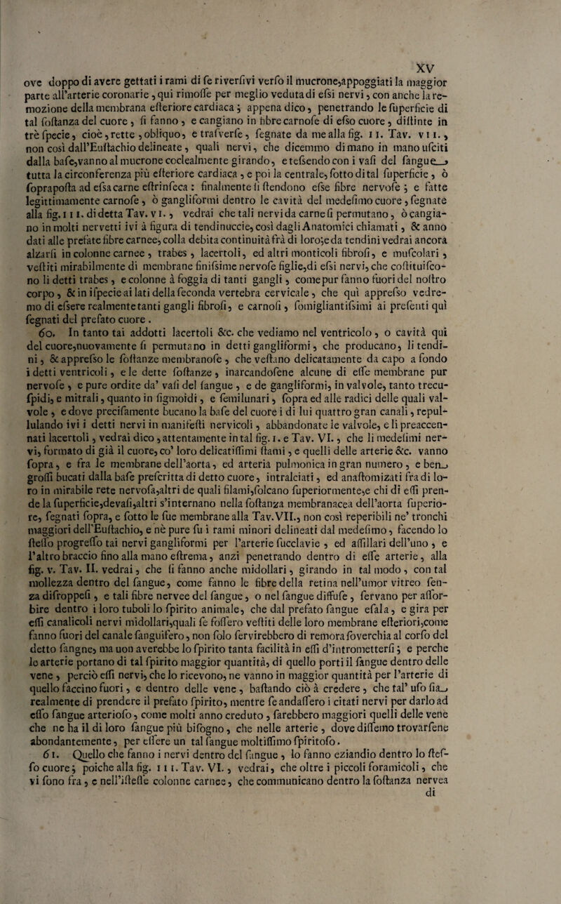 ove doppo di avere gettati i rami di fé riversivi verfo il mucrone?appoggiati la maggior parte all’arterie coronarie? qui rimolfe per meglio veduta di efsi nervi, con anche la re¬ mozione della membrana elleriore cardiaca ; appena dico ? penetrando le fuperficie di tal fodanza del cuore , fi fanno ? e cangiano in hbrecarnofe di efso cuore, didime in trèfpecie? cioè ? rette ? obliquo? etrafverfe? fegnate da me alla fig. 11. Tav. vii.? non così dall’Eudachio delineate ? quali nervi? che dicemmo di mano in manoufeiti dalla bafe?vanno al mucrone coclealmente girando? etefsendocon i vali del fangue__* tutta la circonferenza più citeriore cardiaca ? e poi la centrale? fotto di tal fuperfìcie ? ò foprapoda ad efsa carne eltrinfeca : finalmente lì (tendono efse fibre nervofe; e latte legittimamente carnofe ? ò gangliformi dentro le cavità del medefimo cuore ? fegnate alla fig. 111. di detta Tav. vi. ? vedrai che tali nervi da carnei! permutano ? òcangia- no in molti nervetti ivi à figura di tendinuccie, così dagli Anatomici chiamati ? & anno dati alle prefate fibre carnee? colla debita continuità frà di loro-,e da tendini vedrai ancora alzarfi in colonne carnee ? trabes, lacertoli? ed altri monticoli fibrofi? e mufcolari, vediti mirabilmente di membrane finifsime nervofe figlie,di efsi nervi? che codituifco- no li detti trabes, e colonne à foggia di tanti gangli ? come pur fanno fuori del nodro corpo, & in ifpecie ai lati della feconda vertebra cervicale ? che qui apprefso vedre¬ mo di efsere realmente tanti gangli fibrofi? e carnofi ? fomigliantifsimi ai profetiti qui fegnati del prefato cuore . 6o. In tanto tai addotti lacertoli &c. che vediamo nel ventricolo , o cavità qui del cuore,nuovamente fi permutano in detti gangliformi ? che producano? li tendi¬ ni ? & apprefso le fodanze membranofe ? che vedano delicatamente da capo a fondo idetti ventricoli ? eie dette fodanze? inarcandofene alcune di elfe membrane pur nervofe ? e pure ordite da’ vali del (angue , e de gangliformi? in valvole, tanto trecu- fpidi? e mitrali ? quanto in figmoidi, e lèmilunari ? fopra ed alle radici delle quali val¬ vole ? e dove precifamente bucano la bafe del cuore i di lui quattro gran canali, rcpul- lulando ivi i detti nervi in manifedi nervicoli, abbandonate le valvole, e li preaccen¬ nati lacertoli ? vedrai dico ? attentamente in tal fig. i. e Tav. VI. ? che li medelimi ner¬ vi? formato di già il cuore, co’ loro delicatilfimi dami ? e quelli delle arterie &c. vanno fopra? e fra le membrane dell’aorta, ed arteria pulmonica in gran numero? e ben_> grofii bucati dalla bafe preferitta di detto cuore ? intralciati ? ed anadomizati fra di lo¬ ro in mirabile rete nervofa?altri de quali filami?folcano fuperiormente,e chi di ed! pren¬ de la fuperficie?devafi,altri s’internano nella fodanza membranacea dell’aorta fuperio- re, fegnati fopra? e fotto le fue membrane alla Tav. VII., non così reperibili ne’ tronchi maggiori delfEudachio, e nè pure fu i rami minori delineati dal medefimo ? facendo lo dello progrelfo tai nervi gangliformi per l’arterie fucclavie ? ed adìllari dell’uno , e l’altro braccio fino alla mano edrema, anzi penetrando dentro di elfe arterie? alla fig. v. Tav. II. vedrai ? che 1! fanno anche midollari, girando in tal modo , con tal mollezza dentro delfangue, come fanno le fibre della retina nell’umor vitreo feti- za difroppefi ? e tali fibre nervee del fangue ? o nel fangue diffufe ? fervano per aflor- bire dentro i loro tuboli lo fpirito animale, che dal prefato fangue efala, e gira per ed! canalicoli nervi midollari?quali fe fodero vediti delle loro membrane ederiori?come fanno fuori del canale fanguifero, non folo fervirebbero di remorafoverchia al corfo del detto langne) ma uon averebbe lo fpirito tanta facilità in ed! d’intrometterfi ; e perche lo arterie portano di tal fpirito maggior quantità? di quello porti il fangue dentro delle vene ? perciò elfi nervi? che lo ricevono? ne vanno in maggior quantità per l’arterie di quello laccino fuori ? e dentro delle vene ? badando ciò à credere ? che tal’ ufo lia_j realmente di prendere il predilo fpirito? mentre feandalfero i citati nervi per darlo ad cfi'o fangue arteriofo? come molti anno creduto ? farebbero maggiori quelli delle vene che ne ha il di loro fangue più bifogno, che nelle arterie , dovedidfetno trovarfene abondantemente, per elfere un tal fangue moltiflìmo fpiritofo. 61. Quello che fanno i nervi dentro del fangue ? lo fanno eziandio dentro Io defi¬ lò cuore; poiché alla fig. 111. Tav. VI. ? vedrai? che oltre i piccoli foramicoli ? che vi fono fra ? c nelfidede colonne carnee? checommunicano dentro lafodanza nervea di