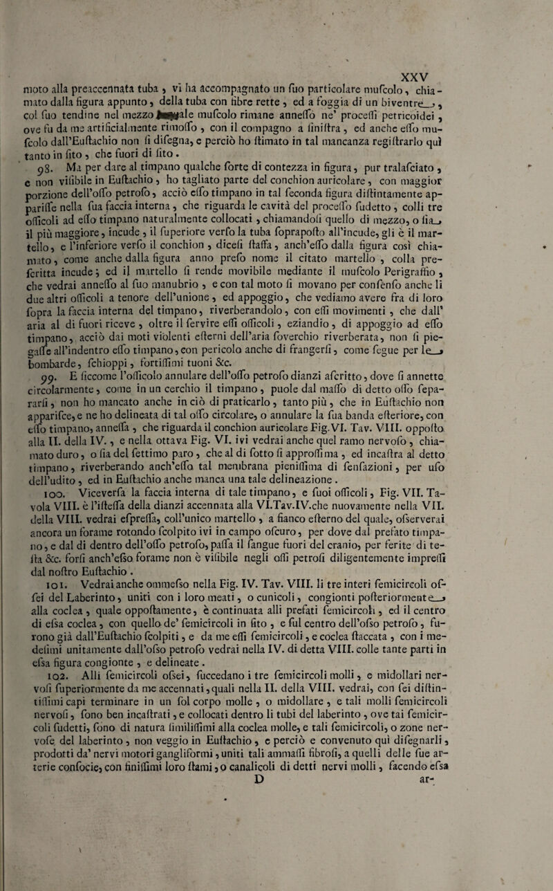 moto alla preaccermata tuba , vi ha accompagnato un Tuo particolare mufcolo, chia¬ mato dalla figura appunto , della tuba con fibre rette , ed a foggia di un biventre ,, col fuo tendine nel mezzo jM£faIe mufcolo rimane annetto ne’ procedi petricoidei , ove fu da me artificialmente rimotto , con il compagno a (ìniftra , ed anche etto mu¬ fcolo dall’Euftachio non fi difegna, e perciò ho (limato in tal mancanza regi (trarlo qui tanto in fito , che fuori di (ito . 98. Ma per dare al timpano qualche forte di contezza in figura, pur tralafciato , e non viiìbile in Euftachio , ho tagliato parte del conchion auricolare, con maggior porzione dell’otto petrofo, acciò etto timpano in tal feconda figura didimamente ap¬ parile nella fua faccia interna, che riguarda le cavità del procedo fudetto , colli tre otticoli ad etto timpano naturalmente collocati , chiamandoli quello di mezzo, o lìa_» il più maggiore, incude , il fuperiore verfo la tuba foprapofto all’incude, gli è il mar¬ tello, e l’inferiore verfo il conchion , dicefi (latta, anch’etto dalla figura così chia¬ mato, come anche dalla figura anno prefo nome il citato martello , colla pre¬ ferita incude; ed il martello fi rende movibile mediante il mufcolo Perigraffio , che vedrai annetto al fuo manubrio , e con tal moto fi movano per confenfo anche li due altri otticoli a tenore dell’unione, ed appoggio, che vediamo avere fra di loro fopra la faccia interna del timpano, riverberandolo, con etti movimenti , che dall* aria al di fuori riceve , oltre il fervire etti otticoli, eziandio , di appoggio ad etto timpano, acciò dai moti violenti edemi dell’aria foverchio riverberata, non fi pie- gatte all’indentro etto timpano,con pericolo anche di frangerli, come fegue per le__> bombarde, fchioppi, fortittimi tuoni &c. pp. E ficcome follìcolo annulare dell’otto petrofodianzi aferitto, dove fi annette circolarmente, come in un cerchio il timpano, puoi e dal mattò di detto otto fepa- rarfi, non ho mancato anche in ciò di praticarlo, tanto più, che in Euftachio non apparifce,e ne ho delineata di tal otto circolare, o annulare la fua banda etteriore, con etto timpano, annetta , che riguarda il conchion auricolare Eig. VI. Tav. Vili, oppolto. alla li. della IV., e nella ottava Fig. VI. ivi vedrai anche quel ramo nervofo , chia¬ mato duro, o fia del fettimo paro, che al di fotto fi approdi ma , ed incadra al detto timpano, riverberando anch’etto tal membrana pienidìma di fenfazioni, per ufo dell’udito, ed in Euftachio anche manca una tale delineazione . 100. Viceverfa la faccia interna di tale timpano, e fuoi otticoli, Fig. VII. Ta¬ vola Vili, è ridetta della dianzi accennata alla VI.Tav.IV.che nuovamente nella VII. della Vili, vedrai efprefta, coll’unico martello , a fianco efterno del quale, ofserverai ancora un forame rotondo fcolpito ivi in campo ofeuro, per dove dal prefato timpa¬ no, e dal di dentro dell’otto petrofo, patta il fangue fuori del cranio, per ferite di te¬ da &c. forfi anch’etèo forame non è viiìbile negli otti petroli diligentemente impretti dal noftro Euftachio. 101. Vedrai anche ommefso nella Fig. IV. Tav. Vili, li tre interi femicireoli of¬ fe! del Laberinto, uniti con i loro meati, o cunicoli, congionti pofteriormente_j alla coclea , quale oppoftamente, è continuata atti prefati femicireoli , ed il centro di elsa coclea, con quello de’ femicireoli in fito , e fui centro dell’ofso petrofo, fu¬ rono già dall’Euftachio (colpiti, e da me etti femicireoli, e coclea fiaccata , con i me- defimi unitamente dall’ofso petrofo vedrai nella IV. di detta Vili, colle tante parti in efsa figura congionte , e delineate . 102. Alli femicireoli ofsei, fuccedano i tre femicireoli molli, e midollari ner- vo.fi fuperiormente da me accennati,quali nella II. della Vili, vedrai, con fei diftin- t filimi capi terminare in un fol corpo molle, o midollare, e tali molli femicireoli nervofi, fono ben inqaftrati, e collocati dentro li tubi del laberinto , ove tai femicir- coli fudetti, fono di natura (imilittimi alla coclea molle, e tali femicireoli, o zone ner- vofe. del laberinto , non veggio in Euftachio, c perciò e convenuto qui difegnarli, prodotti da’ nervi motori gangliformi, uniti tali ammattì fibrofi, a quelli delle fue ar¬ terie confocie, con finittìmi loro (lami, o canalicoli di detti nervi molli, facendo efsa P ar- V