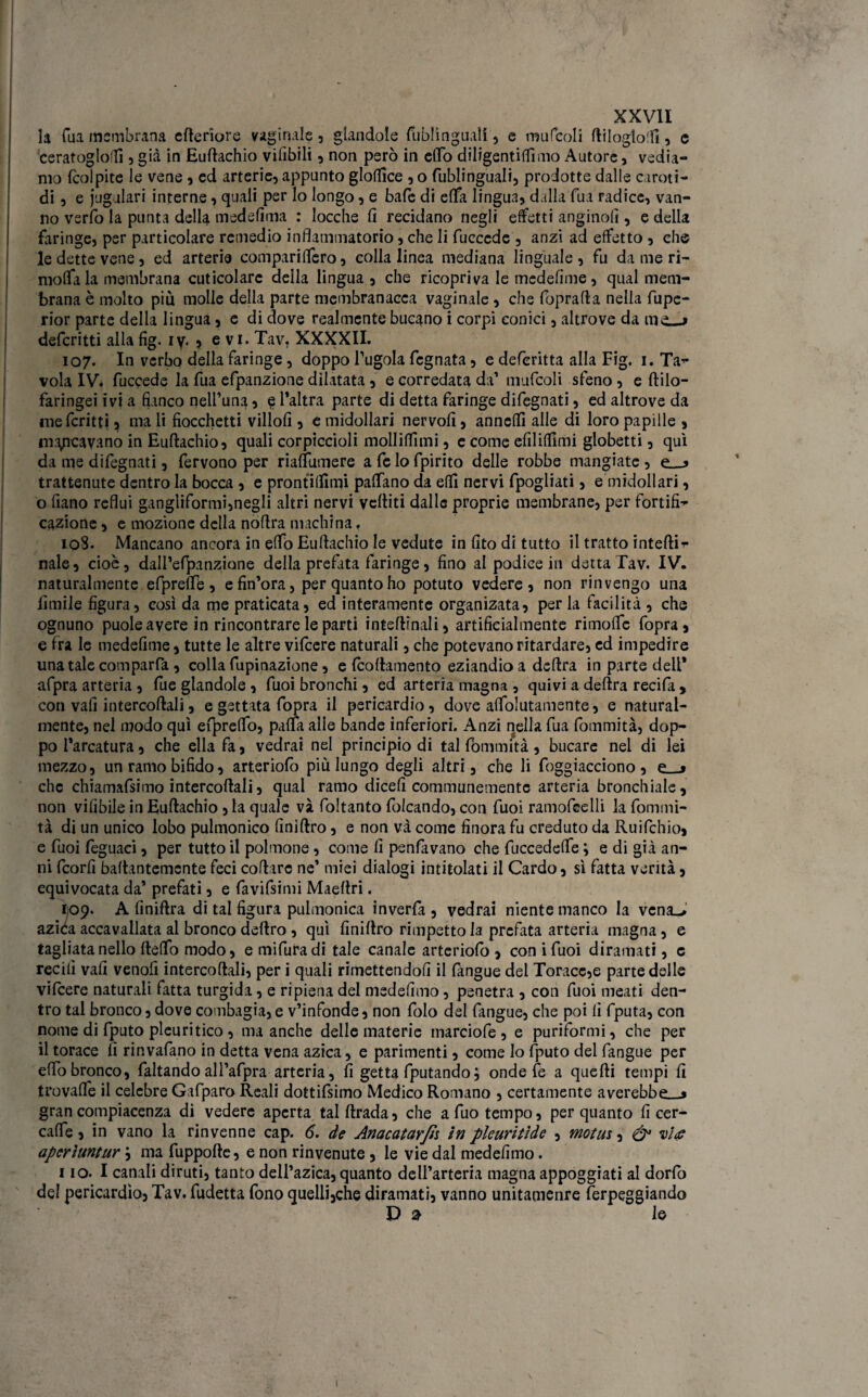 la fua membrana efteriore vaginale, glandole fublinguaìi, e rmifcoli ftiloglo'fi, e ceratogloffi , già in Euftachio vilìbili , non però in efio diligentilfimo Autore, vedia¬ mo (colpite le vene , ed arterie, appunto gloflìce , o fublinguali, prodotte dalle caroti¬ di , e jugulari interne, quali per lo Iongo, e bafe di effa lingua, dalla fua radice, van¬ no verfo la punta della medefìma : locche fi recidano negli effetti anginofi, e della faringe, per particolare remedio infiammatorio, che li fucccde, anzi ad effetto , eh® le dette vene, ed arterie compariffero, colla linea mediana linguale, fu da me ri- moffa la membrana cuticolare della lingua, che ricopriva le tnedefime, qual mem¬ brana è molto più molle della parte membranacea vaginale , che foprafta nella fupe- rior parte della lingua, e di dove realmente bucano i corpi conici, altrove da ino deferitti alla fig. iy. , evi. Tav. XXXXII. 107. In verbo della faringe, doppo l’ugola fegnata, e deferitta alla Fig. 1. Ta¬ vola IV. fuccede la fua efpanzione dilatata , e corredata da’ mufcoli sfeno , e ftilo- faringei ivi a fianco nell’una, e l’altra parte di detta faringe difegnati, ed altrove da meferitti ^ ma li fiocchetti villofi , e midollari nervofi, anneflì alle di loro papille , mancavano in Euftachio, quali corpìccioli molliffimi, e come efilfilimi globetti, qui da me difegnati, fervono per riaftumere a fc lo fpirito delle robbe mangiate , e__> trattenute dentro la bocca , e prontilfimi padano da elfi nervi fpogliati, e midollari, o fiano reflui gangiiformi,negIi altri nervi vediti dalle proprie membrane, per fortifi¬ cazione , e mozione della nofira machina, 10S. Mancano ancora in elfo Euftachio le vedute infitoditutto il tratto intefti- naie, cioè, dall’efpanzione della prefata faringe, fino al podice in detta Tav. IV. naturalmente efprefife, efin’ora, per quanto ho potuto vedere, non rinvengo una limile figura, così da me praticata, ed interamente organizata, per la facilità , che ognuno puole avere in rincontrare le parti inteftinali, artificialmente rimoffe fopra , e fra le medefime, tutte le altre vilcere naturali, che potevano ritardare, ed impedire una tale comparfa, colia fupinazione, e Icoftamento eziandio a delira in parte deli* afpra arteria , fue glandole, fuoi bronchi, ed arteria magna , quivi a delira recifa , con vali intercoftali, e gettata fopra il pericardio, dove affolutamente, e natural¬ mente, nel modo qui efpreffo, pafla alle bande inferiori. Anzi nella fua fommità, dop¬ po Marcatura, che ella fa, vedrai nel principio di tal fommità, bucare nel di lei mezzo, un ramo bifido, arteriofo più lungo degli altri, che li foggiacciono , e__» che chiamafsimo intercoftali, qual ramo dicefi communemente arteria bronchiale, non vifibiie in Euftachio , la quale và foltanto folcando, con fuoi ramofcelli la fommi¬ tà di un unico lobo pulmonico finiftro, e non và come finora fu creduto da Ruifchio, e fuoi fèguaci, per tutto il polmone, come fi penfavano che fuccedeffe ; e di già an¬ ni feorfi baftantemente feci coftire ne’ miei dialogi intitolati il Cardo, sì fatta verità, equivocata da’ prefati, e favifsimi Maeftri. 1109. A finiftra di tal figura pulmonica inverfa , vedrai niente manco la vena^» azica accavallata al bronco deliro , qui finiftro rimpetto la prefata arteria magna, e tagliata nello fteffo modo, emifuradi tale canale arteriofo, coni fuoi diramati, c reciti vati venofi intercoftali, per i quali rimettendoli il fàngue del Torace,e parte delle vilcere naturali fatta turgida, e ripiena del medefimo, penetra , con fuoi meati den¬ tro tal bronco, dove combagia,e v’infonde, non folo del fangue, che poi lì fputa, con nome di fputo pleuritico, ma anche delle materie marciofe , e puriformi, che per il torace fi rinvafano in detta vena azica, e parimenti, come lo fputo del fangue per elfo bronco, faltando all’afpra arteria, fi getta fputando; onde le a quelli tempi fi trovafte il celebre Gafparo Reali dottifsimo Medico Romano , certamente averebbe_» gran compiacenza di vedere aperta talftrada, che afuotempo, per quanto fi cer- caffe, in vano la rinvenne cap. 6. de Anacatarfh in pleuritìdc , motm, & vi# apcrìuntur \ ma fuppofte, e non rinvenute , le vie dal medefimo. 1 io. I canali diruti, tanto dell’azica, quanto dell’arteria magna appoggiati al dorfo del pericardio, Tav. fudetta fono quelli,che diramati, vanno unitamenre ferpeggiando D 2 le