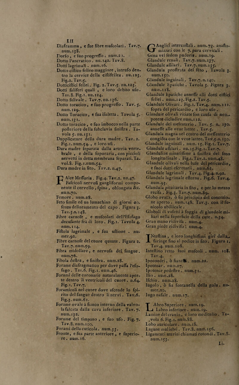 Diaframma , e fue fibre mufcolari. Tav.7. num. 138. Dorlò , e fuo progreffo . num.21. Dotto Pancratico . nu. 142. Tav.8. Dotti lagrimali . num. 16. Dotto ciflico felleo maggiore , intrufo den¬ tro la cervice della cifiifellea . nu.123. Fig.2. Tav.5. Dotticiftici felici. Fig. 2. Tav.5. nu«,23* Dotti fa li feri quali , e loro debito ufo. Tav.8. Fig. 1. nu.124. Dotto falivale . Tav.7. nu.136. Dotto toracico , e fuo progreffo . Tav. 5. num.129. Dotto Toracico, e fuaifoletta. Tavola 5. num. 13 1. Dotto toracico , e fuo imbocco nella parte pofteriore della fubclavia finifira . Ta¬ vola 5. nu.13 1. Dupplicature della dura madre. Tav. 2. Fig. 1. num.54. , e loro ufi . Dura madre Separata dalla arteria verte¬ brale , e della foporaria, con piccioli nervetti in detta membrana feparati. Ta_ voi.8. Fig.i.num.54. Dura madre in fito. Tav.z.n.47. Alce Meflbria . Fig.4. Tav.2. nu.47. Fafcicoli nervofi gangliformi compo¬ nente il cervello , fpina , oblongata &c. num.70. Femore. num.28. Feto fimile ed un lumachino di giorni so. fenza delineamento del capo . Figura 3. Tav.g.n. 148. Fibre carnofe , e mufcolari dell’Efofago decufante fra di loro. Fig. 1. Tavola 4. num.i 14. Fifiola lagrimale , e fua ufiione . nu- mer.92. Fibre carnofe del cuore quante . Figura 2. Tav.7. num‘$9* Fibra midollare, e nervofa del. fangue. num.76. Fibola defira , c finifira. num.28. Forame diafragmatico per dove paffa l’efo- fago . Tav.6. Fig. 1. num.46. Forami delle coronarie naturalmente aper¬ te dentro li ventricoli del cuore . n.64. Fig. 1. Tav.7. Foramicoli nel cuore dove afeende lo fpi- rito del fangue dentro li nervi . Tav.6. Fig.j. num.61. Forame ovale à fianco interno della valvo¬ la falcata dalla cava inferiore. Tav.7. num.132. Forame del timpano , e fuo ufo. Fig. 7. Tav.8. num.ioo. Forami della cuticola. num.33. Fronte, e fua parte anteriore , e fuperio- re. num. 16. GAnglici intercofiali. num, 73. anafio- mizzati con le 7. para cervicali . Gena vel ledem pudoris . num. 19. Glandule renali. Tav.7. num. 137. Glandule afiìlari. Tav.7. num. 155. Gianduia profirata del fèto , Tavola 3. num. 150. Glandule inguinali. Tav.7. n. 140. Glandule Epatiche . Tavola 5. Figura 3. num.i 18. Glandule Epatiche annefle alli dotti ciftici fellei. num. 12$. Fig.2. Tav.5. Glandule Olivari. Fig.i.Tav.4. num. 111. fopra del pericardio , e loro ufo . Glandule olivali vitiate fon caufa di noiL. potere dicludire num. 112. Glandule del mdenterio . Tav. 5. n. 150. annefìfe alle vene lattee . Tav.5. Gianduia magna nel centro del meflenterio congiota con le vene lattee. Tav.5.n. 130. Glandule inguinali . num. 15. Fig. 1. Tav.7. Glandule afiilari. nu. i5*Fig. 1. Tav.7. Glanduline minntiflìme à finifira del feno longitudinale . Fig.i. Tav.2. num.48. Glandule olivali nella baie del pericardio, e fuoi dotti eferetorii . num.62. Glandule lagrimali . Tav.4. Pig.4. n.92. Gianduia lagrimale efterna . Fig.6. Tav.4. num.9$. Gianduia pituitaria in fito , e per lo mezzo recifa . Fig.3. Tav.7. nuui*89* Globo ovato, ò fia principio del concezio¬ ne aperto . num. 148. Tav.3. con il fu¬ nicolo ubillicale . Globoli di vafetti à foggia di glandole mi¬ liari nella fuperficie della cute. n.34. Gran mano ridivifa . num.4. Gran piede ridivifo : num.4. INtefiina , e loro longhifiimi giri'dallsl. faringe fino al podice in fito . Figura 1. Tav.4. num. 108. Intelaino retto luoi mufcoli . num. 108. Tav.4. Ipocondri, ò fiancli-. num.22. Ipotenar. num.27. Ipotenar pedeftre . num.3 1. Ilio . num.28. Ifchio. num.28. Iugolo , ò fia fontanella della gola. nu- mer.20. Iugo nafale . num. 17. / LAbroSuperiore, num. 19. Labro inferiore . num. 19. Lamine del cranio, e loro meditulio . Ta- .vola 6. Fig. 1. num.88. Lobo auricolare . num.18. Lagune muliebri. Tav.8. num. 156. Ligamenti uterini chiamati rotondi. Tav.8. num. 153. Li-