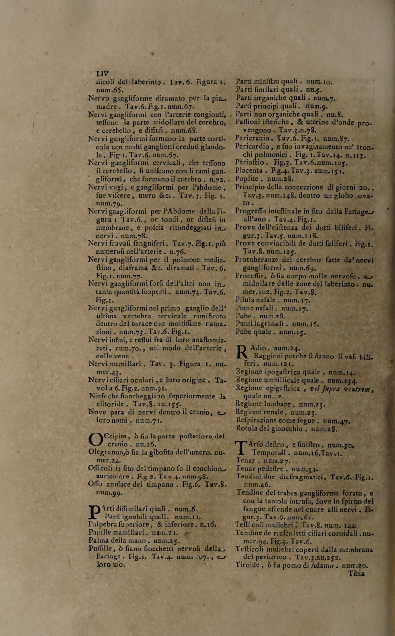 nicoli del laberinto . Tav.6. Figura i. num.66. Nervo gangliforme diramato per la pia_. madre. Tav.6. Fig.i. num.67. Nervi gangliformi con Fartene congionti, tefiono la parte midollare del cerebro, e cerebello , e diffufi. num.68. Nervi gangliformi formano la parte corti- cola con molti ganglietti creduti glando- le. Fig* 1. Tav.6. num.67. Nervi gangliformi cervicali, che teflono il cerebello , fi unifcono con li rami gan¬ gliformi, che formano il cerebro . n.72. Nervi vagì, e gangliformi per l’abdome, fuevifcere, utero &c., Tav. 3. Fig. 1. num.79. Nervi gangliformi per FAbdome della Fi¬ gura 1. Tav.6., or tondi, or dirteli in membrane, e polcia ritondeggiati in_, nervi . num.78. Nervi fravafi fanguiferi. Tav.7. Fig. 1. più numerofi nelFarterie. n.76. Nervi gangliformi per il polmone media- liino, diaframa &c. diramati.- Tav, 6. Fig.i. num.77. Nervi gangliformi forfi delFaltri non in_, tanta quantità fcoperti. num.74. Tav.6. Fig.i. Nervi gangliformi nel primo ganglio dell1 ultima vertebra cervicale ramificato dentro del torace con moltiflìme rama, zioni. num.73. Tav.6. Fig.i. Nervi influì, e reflui fra di loro anaftomiz- zati. num.70., nel modo delFarterie , colle vene . Nervi mamillari . Tav. 3. Figura 1. nu- mer.43. Nervi ciliari oculari, e loro origine . Ta- vola 6. Fig.z. num.91. Ninfe che fiancheggiano fuperiormente la clitoride. Tav.8. nu.155. Nove para di nervi dentro il cranio, e_> loro nomi . num.71. Occipite , ò fia la parte pofteriore del cranio, nu.16. 01egranon,ò fia la gibofita dell’umero. nu- mer.24. Orticoli in fito del timpano fu il conchion-. auricolare . Fig 2. Tav.4. num.98. Orto anulare del timpano . Fig.6. Tav.8. num.99. PArti diflìmilari quali . num.6. Parti ignobili quali, num.i 1. Palpebra fuperiore, & inferiore . n. 16. Papille mamillari. nurn.21. Palma della mano . num.25. Puflìlle, ò fiano fiocchetti nervofi della_* Faringe. Fig.i. Tav.4. num. 107., e_» loro ufo. Parti minirtre quali. num. io. Parti fimilari quali, nu.$. Parti organiche quali . num.7. Parti principi quali. num.9. Parti non organiche quali . nu.8. Paflìoni ifteriche, & uterine d’onde pro¬ vengono . Tav.5m.78. Pericranio. Tav.6. Fig.r. num.87. Pericardio , e fuo invaginamene ne’ tron¬ chi polmonici . Fig. 1. Tav. 14. n.113. - Perioftio . Fig.3. Tav.6.num. 10$. Placenta . Fig.4. Tav.3. num. 151. Poplite . num.28. Principio della concezzione di giorni 20.. Tav.3. num.148. dentro un globo ova¬ to . Progreflo inteftinale in fito dalla Faringea all’ano. Tav.4. Fig. 1. Prove dell’efirtenza dei dotti biliferi. Fi- gur.3. Tav.5. num.i 18. Prove convincibili de dotti faliferi . Fig.i. Tav.8. num. 125. Protuberanze del cerebro fatte daJ nervi gangliformi. num.69. Procedo, ò fia corpo molle nervofo , e-» midollare delle zone del laberinto . nu- mer. 102. Fig.2. Tav.8. Pilula nafale . num. 17. Pinne nafali . num. 17. Pube . num.28. Punti lagrimali . num.16. Pube quale . num. 15. RAdio. num.24. Raggioni perche fi danno li vafi bili¬ feri . num. 12 1. Regione ipogartrica quale . num. 14. Regione umbillicale quale . num. 154. Regione epigartrica , vel fupra 'ventrera, quale nu.12. Regione lombare . num.23. Regione renale, num.23. Relpirazione come fegue . num.47. Rotola del ginocchio . num.28. TArfo deliro , e finiftro . num.30, Temporali . num.ió.Tav.i. Tenar . num.27. Tenar pedeftre . num.31- Tendinidue diufragmatici. Tav.6. Fig.i. num.46. Tendine del trabes gangliforme forato, e con la tantola intrufa, dove lo fpirito del fangue afcende nel cuore alli nervi. Fi- gur.3. Tav.6. num.61. Tetti coli muliebri. Tav.8. num. 144. Tendine de mufcoletti ciliari coroidali, nu- mer.94. Fig.5. Tav.6. Terticoli muliebri coperti dalla membrana del peritoneo . Tav.3mu.252. Tiroide , ò fia pomo di Adamo . num.?o. Tibia