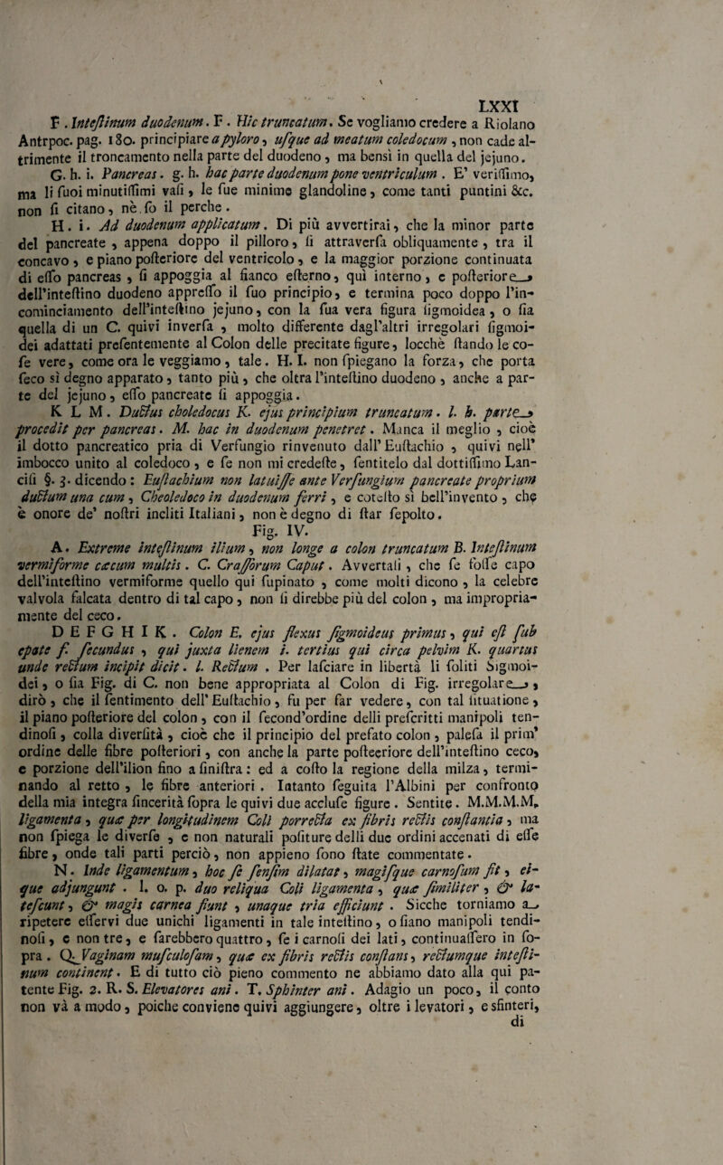 F . Intejlinum duo dentim. F. Hic tramai um. Se vogliamo credere a Riolano Antrpoc. pag. 180. principiare a piloro, ufique ad meatum coledocum , non cade al¬ tamente il troncamento nella parte del duodeno , ma bensì in quella del jejuno. G. h. i. Pancreas. g. h. hacpane duodemmpone ventriculum . E’ ventilino, ma li Tuoi minutitiìmi vali, le Tue minime glandoline , come tanti puntini &c. non fi citano, nè. fo il perche . H. i. Ad duodenum applicatum. Di più avvertirai, che la minor parte del pancreate , appena doppo il pilloro, lì attraverfa obliquamente , tra il concavo , e pianopofteriore del ventricolo, e la maggior porzione continuata di etib pancreas , fi appoggia al fianco ederno, qui interno, c poderiore__j dell’intedino duodeno appretio il Tuo principio, e termina poco doppo l’in- cominciamento dell’intedino jejuno, con la Tua vera figura iigmoidea , o fia quella di un C. quivi inverfa , molto differente dagl’altri irregolari figmoi- dei adattati prefentemente al Colon delle precitate figure, Iocchè dando le co¬ de vere, come ora le veggiamo, tale. H. I. non (piegano la forza, che porta feco sì degno apparato, tanto più , che oltra rimedino duodeno , anche a par¬ te del jejuno, effo pancreatc fi appoggia. K L M . Dadius choledocus K- ejus prindpìum truncatum. I. h. parttu» procedit per pancreas. NI. hac in duodenum penetret. Manca il meglio , cioè il dotto pancreatico pria di Verfungio rinvenuto dall’Eudachio , quivi nell’ imbocco unito al coledoco , e fe non mi credede, Tentitelo dal dottiamo Lan¬ cili §. 3. dicendo : Eufiachium non latuijje ante Verfunglum pancreate proprium dudtum una cum, Cheoledoco in duodenum ferri , e cote Ito sì bcll’in vento , che è onore de’ nodri incliti Italiani, non è degno di dar fepoito. Fig. IV. A. Extreme intejlinum ilium, non longe a colon truncatum B. Intejlinum \vermiforme ccecum multis. C. Crafforum Caput. Avvertali , che fe folfe capo deirintedino vermiforme quello qui fupinato , come molti dicono , la celebre valvola falcata dentro di tal capo , non fi direbbe più del colon , ma impropria¬ mente del ceco. D E F G H I K . Colon E. ejus flexus Jtgmoìdeus primus, qui cfl fiub epate f fecundus , qui juxta lienem i. tertius qui circa pelvim K. quartus unde redlum incipit dicit. /. Reùlum . Per lafciare in libertà li doliti Sigmoi¬ dei, o dia Fig. di C. non bene appropriata al Colon di Fig. irregolare^, dirò, che il dentimento dell’Eudachio, fu per far vedere, con tal iituat ione , il piano poderiore del colon, con il decond’ordine delli prederitti manipoli ten- dinofi , colla divertita , cioè che il principio del prefato colon , palefa il prim* ordine delle fibre poderiori, con anche la parte podeeriore deU’mtedino ceco, e porzione dell’ilion fino a finidra : ed a codo la regione della milza, termi¬ nando al retto , le fibre anteriori . Intanto deguita l’Albini per confronto della mia integra fincerità (opra le quivi due acclude figure . Sentite • M.M.M.M* ligamenta, quec per longitudinem Coli porredda ex fibris redlis conftantia, ma non dpiega le diverde , c non naturali politure delli due ordini accenati di efie fibre, onde tali parti perciò, non appieno dono date commentate. N. Inde ligamentum, hoc fe fenjtm di lata t, magifque carnofum ft, ei- que adjungunt • I. o. p. duo reliqua Coli ligamenta , quec fimi li ter , Ò* la- tefeunt, Ù* magis carnea funi , unaque tria ejfciunt . Sicché torniamo su, ripetere elfervi due unichi ligamenti in tale intedino, oliano manipoli tendi- nolì, c non tre, e darebbero quattro, de i carnoli dei lati, continualfero in do- pra . Q^Vaginam mufculofam, quec ex fibris reblis confians, reblumque intefii- fium continent • E di tutto ciò pieno commento ne abbiamo dato alla qui pa¬ tente Fig. 2. R• S. Elevatores ani. T, Sphìntcr ani. Adagio un poco, il conto non và a modo, poiché conviene quivi aggiungere, oltre ilevatori, e sfinteri,