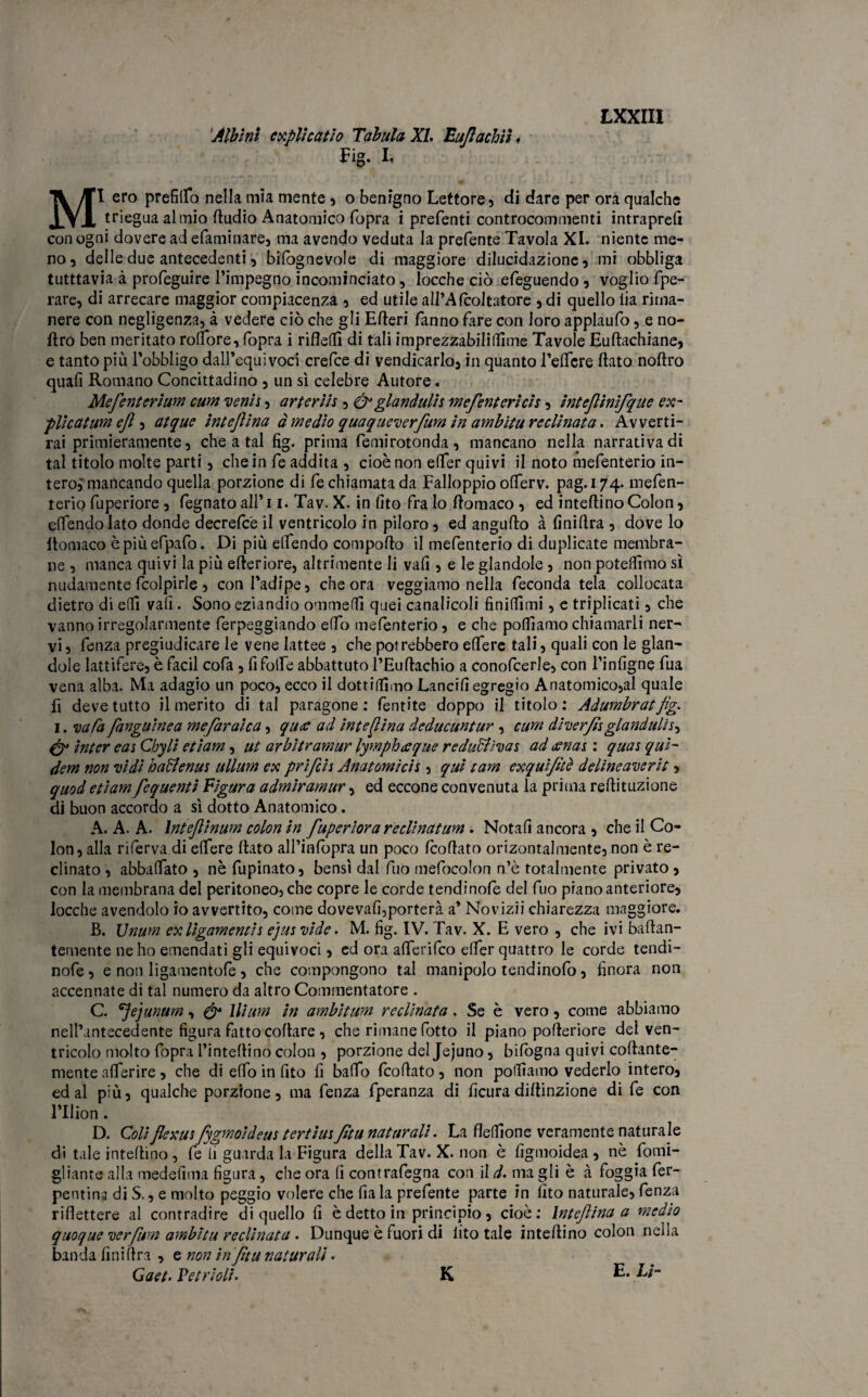 ‘Albini esplicatio Tabula XI. Euflachìì « Fig. I' MI ero prefilfo nella mìa mente , o benigno Lettore, di dare per ora qualche trieguaalmio Audio Anatomico fopra i prefenti controcommenti intraprefi con ogni dovere ad efaminare, ma avendo veduta la prefente Tavola XI. niente me¬ no, delle due antecedenti, bifognevole di maggiore dilucidazione, mi obbliga tutttavia à profeguire l’impegno incominciato, locche ciò efeguendo, voglio {pe¬ lare, di arrecare maggior compiacenza , ed utile all’Afcoltatore , di quello lia rima¬ nere con negligenza, à vedere ciò che gli Efleri fanno fare con loro applaufo, e no¬ stro ben meritato rolfore, fopra i rifleflì di tali imprezzabiliflime Tavole Euflachiane, e tanto più l’obbligo dall’equivoci crefce di vendicarlo, in quanto l’elfcre flato noftro quali Romano Concittadino , un sì celebre Autore. Mefenterium cum Denis, arterìis , & gianduiis mefenterìcìs, intejlinìfque ex- plicatum eft, atque intejìina à medio quaqucDerfum in ambitu reclinata. Avverti¬ rai primieramente, che a tal fig. prima femirotonda, mancano nella, narrativa di tal titolo molte parti, che in fe addita , cioè non elfer quivi il noto mefenterio in¬ tero, mancando quella porzione di fe chiamata da Falloppio olferv. pag. 174. mefen¬ terio fuperiore , fegnato all’ 11. Tav. X. in fito fra Io lìomaco , ed interino Colon, offendo lato donde decrefc'e il ventricolo in piloro, ed angulto à finillra , dove lo itomaco èpiùefpafo. Di più elfendo comporto il mefenterio di duplicate membra¬ ne , manca quivi la più efteriore, altrimente li vali, e le glandolo , non poteflìmo sì nudamente fcolpirle , con l’adipe, che ora veggiamo nella feconda tela collocata dietro di efiì vali. Sono eziandio ommertì quei canalicoli finiflìmi, e triplicati, che vanno irregolarmente ferpeggiando elfo mefenterio, e che polliamo chiamarli ner¬ vi, fenza pregiudicare le vene lattee , che potrebbero elfere tali, quali con le glan- dole lattifere, è facil cofa , fifolfe abbattuto l’Eurtachio a conofcerle, con l’inligne fua vena alba. Ma adagio un poco, ecco il dottiamo Lancili egregio Anatomico,al quale fi deve tutto il merito di tal paragone: fentite doppo il titolo: Adumbratfig. I. du fa fanguinea mefaraica, quee ad interina deducuntur , cum diDerJìsgianduiij-, & inter eas Cbyli etiam, ut arbitrarne lympheeque reduBìms ad eenas : quas qui- dem non dì di haftenus ullum ex prifeis Anatomicis, qui tam exquifitè delineaDcrit> quod etiam fequenti Figura admiramur, ed eccone convenuta la prima reftituzione di buon accordo a sì dotto Anatomico. A. A. A. lntejlinum colon in fuperiora reclinatum . Notali ancora , che il Co¬ lon, alla riferva di elfere flato all’infopra un poco fcollato orizontalmente, non è re¬ clinato , abbalfato , nè fupinato, bensì dal fuo mefbcolon n’è totalmente privato, con la membrana del peritoneo, che copre le corde tendinofe del fuo piano anteriore, locche avendolo io avvertito, come dovevali,porterà a’ Novizii chiarezza maggiore. B. Unum ex ligamentis ejus DÌde. M. fig. IV. Tav. X. E vero , che ivi baftan- temente ne ho emendati gli equivoci, ed ora alferifeo elfer quattro le corde tendi¬ nofe , e non ligamentofè, che compongono tal manipolo tendinofo, finora non accennate di tal numero da altro Commentatore . C. 'Jejunum, & llium in ambitum reclinata . Se è vero , come abbiamo nell’antecedente figura fatto collare , che rimane fiotto il piano pofteriore del ven¬ tricolo molto fopra l’inteflino colon , porzione del Jejuno, bifogna quivi collante¬ mente alferire, che di elfo in fito fi baffo fcollato, non portiamo vederlo intero, ed al più, qualche porzione, ma fenza fperanza di ficura dirtinzione di fe con l’IIion. D. ColiflexusJygmoideus tertiusJìtu naturali. La flertione veramente naturale di tale interino , fe ii guarda la Figura della Tav. X. non è figmoidea , nè fomi- gliante alla medefima figura, che ora fi contrafegna con il d. ma gli è à foggia fer- pentina di S., e molto peggio volere che fia la prefente parte in fito naturale, fenza riflettere al contradire di quello fi è detto in principio, cioè: Intejìina a medio quoque Derfum ambitu reclinata. Dunque è fuori di fito tale intellino colon nella banda finillra , e non in Jìtu naturali » Gaet. Vetrioli. K E. Lh