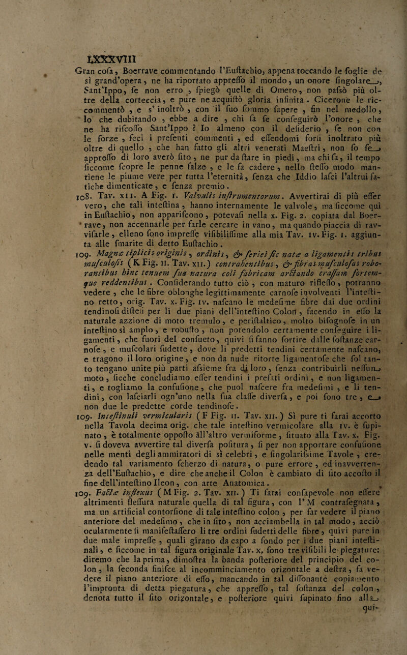 txxxvm Graticola, Boerrave commentando l’Euftachio, appena toccando le foglie de sì grand’opera, ne ha riportato apprefl'o il mondo, un onore fingolare_j, Sant'Ippo, fe non erro , fpiegò quelle di Omero, non pafsò più ol¬ tre della corteccia, e pure ne acquiftò gloria infinita. Cicerone le ric- commentò , e s’inoltrò , con il fuo fommo fapere , fin nel medollo, lo che dubitando , ebbe a dire , chi fa fe confeguirò l’onore , che ne ha rifcolfo Sant’Ippo ? Io almeno con il defiderio , fe non con le forze , feci i prefenti commenti , ed elfendomi forti inoltrato piu oltre di quello , che han fatto gli altri venerati Maeftri, non fo fe_> apprefio di loro averò fito , ne pur da Ilare in piedi, ma chi fa, il tempo ficcome fcopre le penne falze , e le fa cadere , nello fteffo modo man¬ tiene le piume vere per tutta l’eternità, fenza che Iddio iafci l’altrui fa¬ tiche dimenticate, e fenza premio. 108. Tav. xn. A Big. r. Valvulh injìrumentorum. Avvertirai di più efler vero, che tali inteftina , hanno internamente le valvole, ma ficcarne qui inEuftachio, non apparirono, potevafi nella x. Fig. 2. copiata dal Boer- *rave, non accennarle per farle cercare in vano, ma quando piaccia di rav¬ viarle, elleno fono iniprelfe vifibililfime alla mia Tav. iv. Fig. 1. aggiun¬ ta alle fmarite di detto Euftachio . 109. Magnò tiplìcts originis , ordintSy ferleìfìc nata a ligamentis tribus mujculojìs ( K, Fig. lì. Tav. xii.) ccntrahentibus , &fibratmufculofas robo- rami bus bine tenuem fua natura coli fabricam arcando craff'am fortem- que reddentibus . Confiderando tutto ciò , con maturo riflelfo, potranno vedere , che le fibre obionghe legittimamente carnofe involventi l’intefti- no retto, orig. Tav. x. Fig. iv. nafeano le medefime fibre dai due ordini tendinofi dificiì per li due piani dell’inteftino Colon , facendo in elfo la naturale azzione di moto tremulo, e peififtaltico, molto bifognofe in un inteftinosì ampio, e roburto , non potendolo certamente conleguire i li¬ gamenti , che fuori del confueto, quivi fi fanno fortire dalle follanze car¬ nofe , e mufcolari fudette , dove li predetti tendini certamente nafeano, e tragono il loro origine, e non da nude ritorte ligamentofe che fol tan¬ to tengano unite più parti afsieme fra eli loro , fenza contribuirli nelìuii^ moto , ficche concludiamo efler tendini i prefati ordini, e non ligamen¬ ti, e togliamo la confufione, che puoi nafeere fra medefimi , e li ten¬ dini, con lafciarli ogn’uno nella fua clart'e diverfa, e poi fono tre, non due le predette corde tendinofe. 109. Intejlinuli vermicularis ( F Fig. 11. Tav, xii. ) Sì pure ti farai accorto nella Tavola decima orig. che tale intertino vermicolare alla iv. è fupi- nato, è totalmente opporto all’altro vermiforme, fiutato alla Tav. x. Fig. v. fi doveva avvertire tal diverfa politura, fi per non apportare confufione nelle menti degli ammiratori di sì celebri, e fingolarifsime Tavole , cre¬ dendo tal variamento fcherzo di natura, o pure errore, ed inavverten¬ za dell’Eurtachio, e dire che anche il Colon è cambiato di fito accorto il fine dell’inteftino Ileon , con arte Anatomica. 1O9, Fafìla inflexus (MFig. 2. Tav. xii. ) Ti farai confapevole non edere altrimenti fleflùra naturale quella di tal figura, con 1*M contrafegnara , ma un artificial contorfione di tale intertino colon , per far vedere il piano anteriore del medefimo, che in fito, non acciambella in tal modo, acciò ocularmente fi manifeftaflero li tre ordini fùdetti delie fibre, quivi pure in due male imprerte , quali girano da capo a fondo per i due piani intefti- nali, e fiecome in tal figura originale Tav. x,. fono tre vifibili le piegature: diremo che la prima, dimortra la banda pofteriore del principio del co¬ lon, la feconda finifee al incomminciamento orizontale a deftra, fa ve¬ dere il piano anteriore di elfo, mancando in tal dilfonante copiamento l’impronta di detta piegatura, che apprefl'o, tal foftanza del colon, denota tutto il fito orizontale, e pofteriore quivi fupinato fino alla_^ qui-