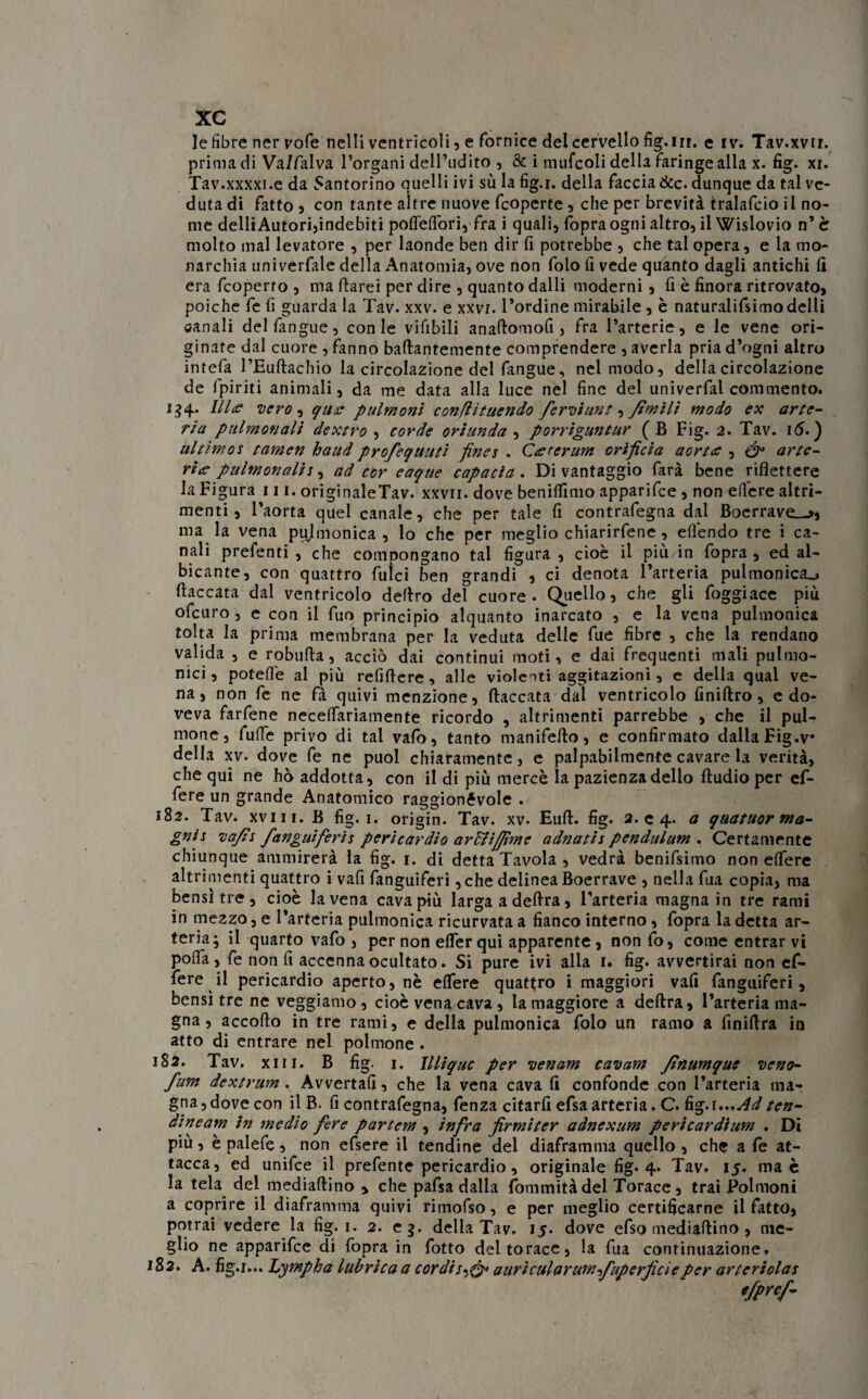 le fibre nei* vofe nelli ventricoli , e fornice del cervello fig. ut. e iv. Tav.xvn. prima di Va/falva l’organi dell’udito , & i mufcoli della faringe alla x. fig. xi. Tav.xxxxi.e da Santorino quelli ivi sù la fig.i. della faccia &c. dunque da tal ve¬ duta di fatto 5 con tante altre nuove fcoperte , che per brevità tralafcio il no¬ me delliAutori,indebiti polfelfori, fra i quali, fopra ogni altro, il Wislovio n’è molto mal levatore , per laonde ben dir fi potrebbe , che tal opera, e la mo¬ narchia univerfale della Anatomia, ove non folo fi vede quanto dagli antichi 11 era fcoperro , ma fiarei per dire , quanto dalli moderni, fi è finora ritrovato, poiché fe fi guarda la Tav. xxv. e xxvi. l’ordine mirabile , è naturassimo delli canali delfangue, con le vifibili anaftomofi , fra l’arterie, e le vene ori¬ ginate dal cuore , fanno baflantemente comprendere , averla pria d’ogni altro intefa l’Euftachio la circolazione del fangue, nel modo, della circolazione de fpiriti animali, da me data alla luce nel fine del univerfal commento. 154. Ilice vero , que pulmoni conflituendo fervi unt, /imiti modo ex arte¬ ria pulmonali dextro , corde oriunda , porriguntur ( B Fig. 2. Tav. 16. ) ultimos tamen haud profequuti fines . Ceterum orificia aorte , & arte¬ rie pulmonalis, ad cor eaque capacìa . Di vantaggio farà bene riflettere la Figura 111. originaleTav. xxvii. dove benitfimo apparifee , non eflere altri¬ menti , l’aorta quel canale, che per tale fi contrafegna dai Boerrave_>, ma la vena pulmonica, lo che per meglio chiarirfene , eflendo tre i ca¬ nali prefenti , che compongano tal figura, cioè il più/in fopra, ed al¬ bicante, con quattro fulci ben grandi , ci denota l’arteria pulmonica_j fiaccata dal ventricolo deliro del cuore. Quello, che gli foggiace più ofeuro , e con il fuo principio alquanto inarcato , e la vena pulmonica tolta la prima membrana per la veduta delle fue fibre , che la rendano valida , e robufia, acciò dai continui moti, e dai frequenti mali pulmo- nici, potefle al più refi fi e re, alle violenti aggitazioni, e della qual ve¬ na, non fe ne fà quivi menzione, fiaccata dal ventricolo finiftro , e do¬ veva farfene necelfariamente ricordo , altrimenti parrebbe , che il pul- mone, fuffe privo di tal vafo, tanto manifeflo, e confirmato dalla Fig.v* della xv. dove fe ne puoi chiaramente, e palpabilmente cavare la verità, che qui ne hò addotta, con il di più mercè la pazienza dello ftudio per ef- fere un grande Anatomico raggionévolc . 182. Tav. xviii. B fig. 1. origin. Tav. xv. Euft. fig. 2. e 4. a quatuor ma¬ gni s vafis fangui ferì s pericardio ardii firn c adnatis pendulum . Certamente chiunque ammirerà la fig. 1. di detta Tavola , vedrà benifsimo non elfere altrimenti quattro i vafi fanguiferi, che delinea Boerrave , nella fua copia, ma bensì tre, cioè la vena cava più largaadefira, l’arteria magna in tre rami in mezzo, e l’arteria pulmonica ricurvata a fianco interno, fopra la detta ar¬ teria; il quarto vafo , per non elfer qui apparente , nonio, come entrar vi polfa, fe non fi accenna ocultato. Si pure ivi alla 1. fig. avvertirai non ef- fere il pericardio aperto, nè elfere quattro i maggiori vafi fanguiferi, bensì tre ne veggiamo , cioè vena cava , la maggiore a delira, l’arteria ma¬ gna , accorto in tre rami, e della pulmonica folo un ramo a finifira in atto di entrare nel polmone . 182. Tav. xiii. B fig. 1. llliquc per venam cavam ftnumque veno- fum dextrum . Avvertali, che la vena cava fi confonde con l’arteria ma¬ gna, dove con il B. fi contrafegna, fenza citarli efsa arteria. C. fig.\***Ad ten¬ di ne am in medio fere partem , infra firmi ter adnexum pericardium . Di più, è palefe, non efsere il tendine del diaframma quello , che a fe at¬ tacca, ed unifee il prefente pericardio, originale fig. 4. Tav. 15. ma è la tela del mediaftino , che pafsa dalia fommitàdel Torace, trai Polmoni a coprire il diaframma quivi rimofso, e per meglio certificarne il fatto, potrai vedere la fig. 1. 2. cg. delia Tav. 15. dove efso mediafiino , me¬ glio ne apparifee di fopra in fotto del torace, la fua continuazione» 182. A. fig.i... Lympha lubrica a cordiauricularum/uperficìeper artcriolas efpref-