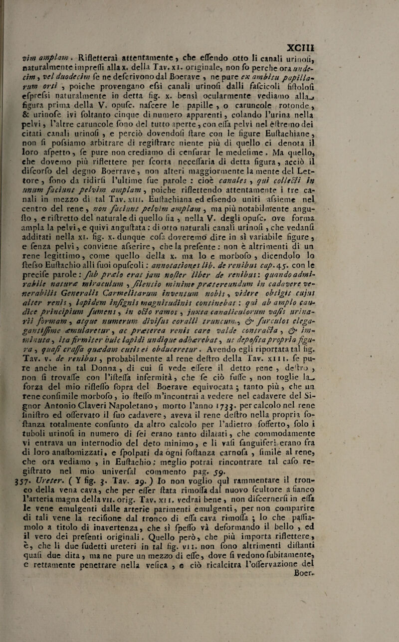 xeni vim amplam. Rifletterai attentamente , che effondo otto li canali urinofi, naturalmente impreflì allax. della Tav, xi. originale, non fo perche oraunde- cim, vel duodecim fé ne defcrivonodal Boerave , ne pure ex ambi tu papilla- rum orti , poiché provengano efsi canali urinofi dalli fafcicoli fidolofi efprefsi naturalmente in detta fig. x. bensì ocularmente vediamo alla_j figura prima della V. opufe. nafeere le papille , o caruncole rotonde, & urinofè ivi foltanto cinque di numero apparenti, colando l’urina nella pelvi, l’altre caruncole fono del tutto aperte , con ella pelvi nel édremodei citati canali urinofi , e perciò dovendoli Ilare con le figure Eurtachiane, non fi pofsiamo arbitrare di regiftrarc niente più di quello ci denota il loro afpetto, fe pure non crediamo di cenfurar le medefime . Ma quello, che doverno più riflettere per feorta necelfaria di detta figura, acciò il difeorfo del degno Boerrave, non alteri maggiormente la mente del Let¬ tore , fono da ridirfi l'ultime fue parole : cioè canales , qui collctti in unum faciunt pelvim amplam, poiché riflettendo attentamente i tre ca¬ nali in mezzo di tal Tav. xm. Euflachiana ed efsendo uniti afsieme nel centro del rene, non faciunt pelvim amplam , ma più notabilmente angu- flo , e ridretto del naturale di quello (ia , nella V. degli opufe, ove forma ampia la pelvi, e quivi angudata: di otto naturali canali urinofi , che vedanli additati nella xi. fig. x. dunque cola doveremo dire in sì variabile figure, e fenza pelvi, conviene afserire, che la prefente : non è altrimenti di un rene legittimo, come quello della x. ma lo c morbofo , dicendolo lo fìefso Euftachio alli fuoi opufcoli : annotationes lib. de renìbus cap.q.$. con le precife parole : fub preelo erat jam nofìer liber de renibui : quando admi- rabile natura miraculum , flentio minime prxtereundum in cadavere ve- nerabìlis Generalis Carmelìtarum inventum nobis, vidcre obtigit cujus alter renis, lapìdem in/ìgnis magnitudinis continebat : qui ab ampio Gau¬ di ce principium fumens, in otto ramos , juxta canaliculorum va/li urina¬ rti formami atque numerum divifus coralli truncum>, & furculoi elega- gantijfme amularetur, ac preeterea renis caro vai de contratta , & im¬ miti uta , ita firmi ter buie lapidi undique adbeerebat, ut dep o/ita propria figu¬ ra , quafi cra[fa queedam cutisei obduceretur. Avendo egli riportata tal fig. Tav. v. de renibus , probabilmente al rene deliro della Tav. xiii, fe pu¬ re anche in tal Donna , di cui fi vede ettere il detto rene , dedro , non fi trovaflfe con Pidetta infermità, che fe ciò futte , non toglie la_ forza del mio riflelfo fopra del Boerave equivocata ; tanto più, che un Tene confinole morbofo , io detto m’incontrai a vedere nel cadavere del Si¬ gnor Antonio Claveri Napoletano, morto l’anno 173$. per calcolo nel rene Anidro ed olfervato il fuo cadavere, aveva il rene deliro nella propria fo- flanza totalmente confunto da altro calcolo per l’adietro fofferto, folo i tuboli urinofi in numero di fei erano tanto dilatati, che commodamente vi entrava un internodio del deto minimo, e li vali fanguiferi erano fra di loro anadomizzati» e fpolpati da ógni fodanza carnofa , fimilé al rene, che ora vediamo , in Eullachio ; meglio potrai rincontrare tal cafo re- gillrato nel mio univerfal commento pag. 59. 357. Ureter. ( Y fig. 3. Tav. 39. ) Io non yoglio qui rammentare il tron¬ co della vena cava, che per elfer data rimotta dal nuovo fcultore a fianco l’arteria magna della vii. orig. Tav. xu. vedrai bene, non difeernerfi in elfa le vene emulgenti dalle arterie parimenti emulgenti, per non comparire di tali vene la recifione dal tronco di elfa cava rimolfa ; lo che pattia¬ molo a titolo di inavertenza, che sì fpelfo và deformando il bello , ed il vero dei prefenti originali. Quello però, che più importa riflettere, è, che li due fudetti ureteri in tal fig. vii. non fono altrimenti didanti quafi due dita , ma ne pure un mezzo di ette, dove fi vedono fubitamente, e rettamente Denetrare nella vefica , e ciò ricalcitra Poflcrvazione del Boer*