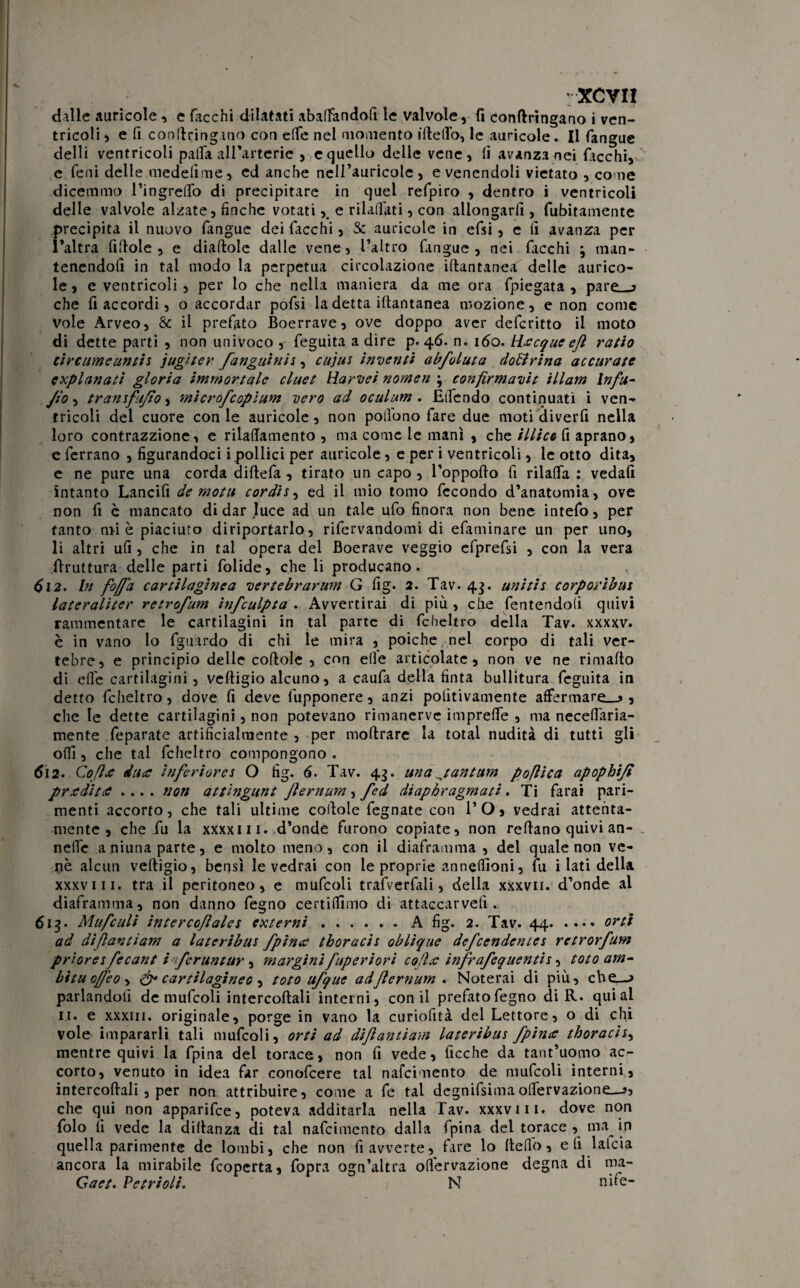 rxcyn dalle auricole , e Tacchi dilatati abaffandofi le valvole , fi conftringano i ven¬ tricoli 5 e fi conftringano con e(Te nel momento ideilo, le auricole. Il fangue delli ventricoli pafTa alleartene , e quello delle vene, li avanza nei Ticchi, e Teni delle medefime, ed anche neli’auricole, evenendoli vietato , come dicemmo l’ingretto di precipitare in quel refpiro , dentro i ventricoli delle valvole alzate, finche votati, e rilavati, con allongarfi, fubitamente precipita il nuovo fangue dei Tacchi, & auricole in efsi, e fi avanza per l’altra fittole , e diaftole dalle vene, l’altro fangue , nei Tacchi ; man- tenendofi in tal modo la perpetua circolazione ittantanea delle aurico¬ le, e ventricoli , per lo che nella maniera da me ora fpiegata , pare__j che fi accordi, o accordar pofsi la detta ittantanea mozione, e non come Vole Arveo, & il prefato Boerrave, ove doppo aver defcritto il moto di dette parti , non univoco , feguita a dire p. 46. n. 160. Hcecque efl ratio circumeuntis jugiter fanguinis, cujus inventi abfoluta doBrina accurate explanati gloria immortale cluet Harvei nomea ; confirmavit illam Infu- fi» , transfu/10, microfcopìum vero ad oculum . Etfendo continuati i ven¬ tricoli del cuore con le auricole, non pollo no fare due moti diverfi nella loro contrazzione, e rilattamento , ma come le mani , che illice fi aprano, e ferrano , figurandoci i pollici per auricole, e per i ventricoli, le otto dita, e ne pure una corda diftefa , tirato un capo , l’oppotto fi rilatta : vedafi intanto Lancifi de motu cordi s, ed il mio tomo fecondo d’anatomia, ove non fi c mancato di dar luce ad un tale ufo finora non bene intefo, per tanto mi è piaciuto diriportarlo, rifervandomi di efaminare un per uno, li altri ufi , che in tal opera del Boerave veggio efprefsi , con la vera Bruttura delle parti folide, che li producano. di2. In /offa cartilagìnea vertebrarum G fig. 2. Tav. 43. unitis corporibus lateralìter retrofum ìnfculpta . Avvertirai di più , che fentendoli quivi rammentare le cartilagini in tal parte di fcheltro della Tav. xxxxv. è in vano lo fguardo di chi le mira , poiché nel corpo di tali ver¬ tebre, e principio delle cottole , con efle articolate, non ve ne rimatto di effe cartilagini, veftigio alcuno, a caufa della finta bullitura feguita in detto fcheltro, dove fi deve fupponere, anzi politivamente affermare_j» , che le dette cartilagini, non potevano rimanerve imprette , ma necefi'aria- mente feparate artificialmente , per inoltrare la total nudità di tutti gli otti, che tal fcheltro compongono . di 2. Co flte duce inferi or et O fig. 6. Tav. 45. una jantum poflica apophijt pr cedi tee .... non attìngunt Jlernum , fed diapbragmati. Ti farai pari- menti accorto, che tali ultime cottole fegnate con l’O, vedrai attenta¬ mente, che fu la xxxxi 11. d’onde furono copiate, non rettano quivi an- .. nette aniunaparte, e molto meno, con il diaframma , del quale non ve- nè alcun veftigio, bensì le vedrai con le proprie annettioni, fu i lati della xxxviii. tra il peritoneo, e mufcoli trafverfali, della xxxvii. d’onde al diaframma, non danno fegno certittlmo di attaccarvefi _ 613. Mufculi intercofales externi.A fig. 2. Tav. 44.orti ad di fanti am a late ribus /pince thoracis oblique defeendentes retrorfum prioresfecant i ifcruntur, margini fuperiori colico ìnfrafequentis, tato am- bituofeOì cartilagineo, toto ufque adfernum . Noterai di più, che—> parlandoti de mufcoli intercoftali interni, con il prefato fegno di R. qui al 11. e xxxiii. originale, porge in vano la curiofità del Lettore, o di chi vole impararli tali mufcoli, orti ad dìfantiam lateribus /pinot thoracis, mentre quivi la fpina del torace, non fi vede, ficche da tant’uomo ac¬ corto, venuto in idea far conofcere tal nafeimento de mufcoli interni, intercoftali , per non attribuire, come a fe tal degnifsimaottervazione—>, che qui non apparifee, poteva additarla nella Tav. xxxviii. dove non folo fi vede la dittanza di tal nafeimento dalla fpina del torace , ma in quella parimente de lombi, che non fi avverte, fare lo fletto, e fi laida ancora la mirabile feoperta, fopra ogn’altra ottervazione degna di ma- Gaet. Petrioli. N nife-