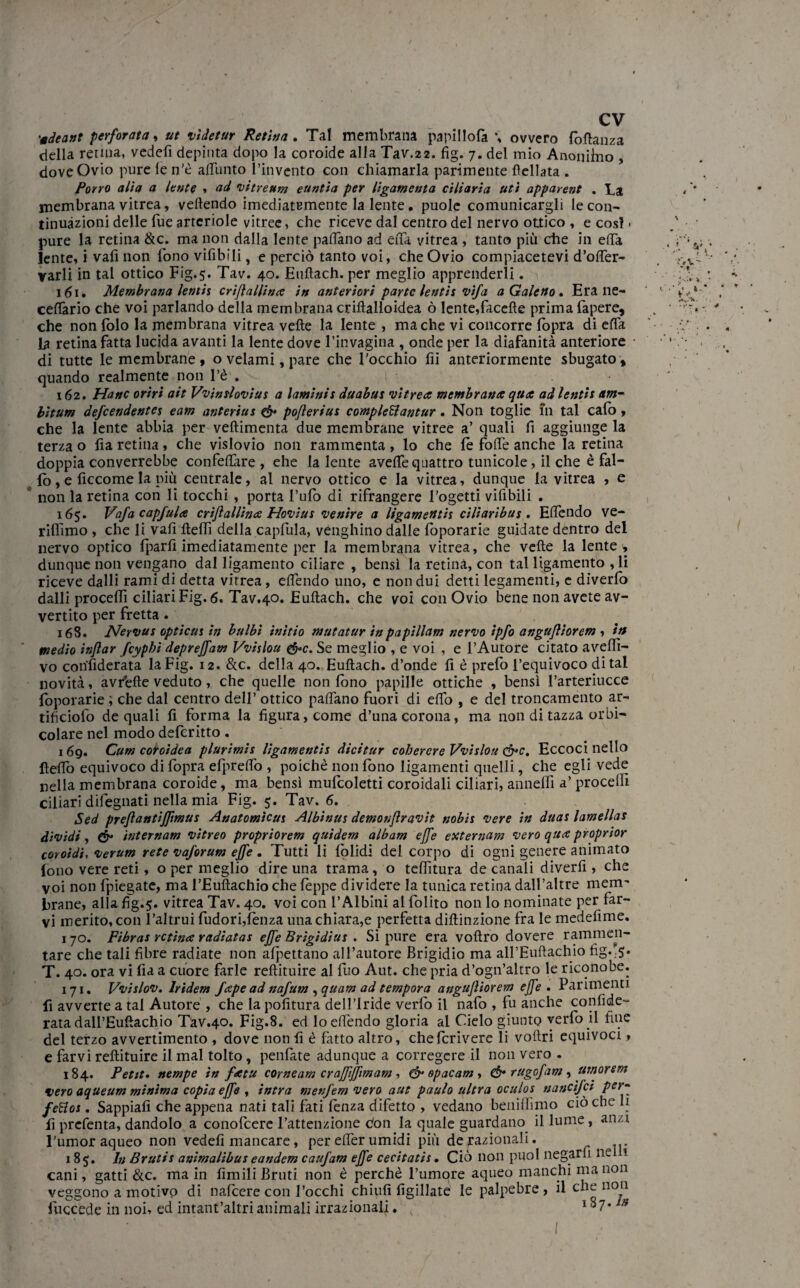 'idearti perforata, ut videtur Retina , Tal membrana papillote \ ovvero fodanza della renna, vedefi depitita dopo la coroide alla Tav.22. fig. 7. del mio Anodino , doveOvio pure le n’è artùnto l’invento con chiamarla parimente {Iellata . Porro alia a lente , ad vitreum euntia per ligamenta ciliaria uti apparent . Ea membrana vitrea, vertendo imediatemente la lente, puole comunicargli le con¬ tinuazioni delle Tue artcriole vitree, che riceve dal centro del nervo ottico , e cosi • pure la retina &c. ma non dalla lente partano ad erta vitrea , tanto più che in erta lente, i vali non fono vifibili, e perciò tanto voi, che Ovio compiacetevi d’orter- varli in tal ottico Fig.5. Tav. 40. Eurtach. per meglio apprenderli. 161. Membrana lentia criflallina in anteriori parte lenti: vìfa a Galeno, Era ne- cedano che voi parlando della membrana criftalloidea ò lente,facefìe prima tepere, che non folo la membrana vitrea verte la lente , ma che vi concorre fopra di erta la retina fatta lucida avanti la lente dove l’invagina , onde per la diafanità anteriore di tutte le membrane , o velami, pare che l’occhio fii anteriormente sbugato * quando realmente non l’è . I • 162. Hanc oriri ait Vvintloviu: a laminis duabus vitrea membrana qua ad lenti: bitum defeendente: eam anteria: & pojlerius completiantur. Non toglie in tal calò , che la lente abbia per veftimenta due membrane vitree a’ quali fi aggiunge la terza o fia retina, che vislovio non rammenta, lo che le forte anche la retina doppia converrebbe confeflàre, ehe la lente averte quattro tunicole, il che è fal¬ lò , e ficcome la più centrale, al nervo ottico e la vitrea, dunque la vitrea , e non la retina con li tocchi , porta l’ufo di rifrangere l'ogetti vifibili . 165. Vafa capfula crijlall'ina Hoviu: venire a ligamentì: ciliaribus . Ertendo ve- rifiìmo , che li vali rtefli della capfula, vénghino dalle teporarie guidate dentro del nervo optico {parli imediatamente per la membrana vitrea, che verte la lente t dunque non vengano dal ligamento ciliare , bensì la retina, con tal ligamento , li riceve dalli rami di detta vitrea, ertendo uno, e non dui detti legamenti, e diverfo dalli procertì ciliari Fig. 6. Tav.40. Eurtach. che voi con Ovio bene non avete av¬ vertito per fretta. 168. Nervus opticui in bulbi initio mutatur ìnpapillam nervo ipfo angujìiorem , in medio injìar fcypbi deprejfam Vvitlou &c. Se meglio , e voi , e l’Autore citato averte¬ vo considerata la Fig. 12. &c. della 40. Eurtach. d’onde fi è prefo l’equivoco di tal novità, avverte veduto, che quelle non fono papille ottiche , bensì l’arteriucce foporarie ; che dal centro dell’ ottico partano fuori di erto , e del troncamento ar- tificiofo de quali fi forma la figura, come d’una corona, ma non di tazza ora¬ colare nel modo deferitto. 169. Cum coroìdea plurimis ligamenti: dicitur cohercre Vvislou &c. Eccoci nello fteflò equivoco di fopra efprertò , poiché non fono ligamenti quelli, che egli vede nella membrana coroide, ma bensì mufcoletti coroidali ciliari, annerti a’ procedi ciliari difegnati nella mia Fig. 5. Tav. 6. Sed preflantiffmu: Anatomica: Albinas demonflravit nobi: vere in dua: lamellas dividi, & internam vitreo propriorem quidem album effe externam vero qua proprior coroidi, verum rete vaforum effe . Tutti li {plidl del. corpo di ogni genere animato fono vere reti, o per meglio dire una trama, o tertitura de canali divedi , che voi non {piegate, ma l’Euftachio che teppe dividere la tunica retina dall’altre meim Frane, alla fig.5. vitrea Tav. 40. voi con l’Albini al folito non lo nominate per far¬ vi inerito, con l’altrui fudori,lenza una chiara,e perfetta diftinzione fra le medefime. 170. Fibras retina radiatas effe Brigìdiu: . Si pure era voftro dovere rammen¬ tare che tali fibre radiate non affettano all’autore Brigidio ma all’Eurtachio fig.”5* T. 40. ora vi fia a cuore farle redimire al fuo Aut. che pria d’ogn’altro le riconobe. 171. Vvidov. lridem Jape ad nafum ,quam ad tempora angujìiorem effe , Parimenti fi avverte a tal Autore , che la politura dell’Iride verte il nate , fu anche confide- ratadail’Eurtachio Tav.40. Fig.8. ed lo ertendo gloria al Cielo giunto verte il fine del terzo avvertimento , dove non fi è fatto altro, cheterivere li voftri equivoci, e farvi redimire il mal tolto, pentete adunque a corregcre il non vero . 184. Petit. nempe in fata corneam craffijftmam , & opacam , ó* rugofam , umor e m vero aqueum minima copia effe , intra menfem vero aut paulo ultra oculos nancifci per¬ fetto: . Sappiali che appena nati tali fati lenza difetto , vedano benirtìmo ciò che li fi prefenta, dandolo a conofeere l’attenzione con la quale guardano il lume, anzi l'umor aqueo non vedefi mancare, per elfer umidi più de razionali. 18$. In Bruti: animalibu: eandem caufam effe cecitati:. Ciò non puoi negarli nel 1 cani, gatti &c. ma in limili Bruti non è perchè l’umore aqueo manchi ma non veggono a motivo di nalcere con l’occhi chiufi figillate le palpebre , il che non fuccede in noi, ed intant’altri animali irrazionali. v 187.^ I