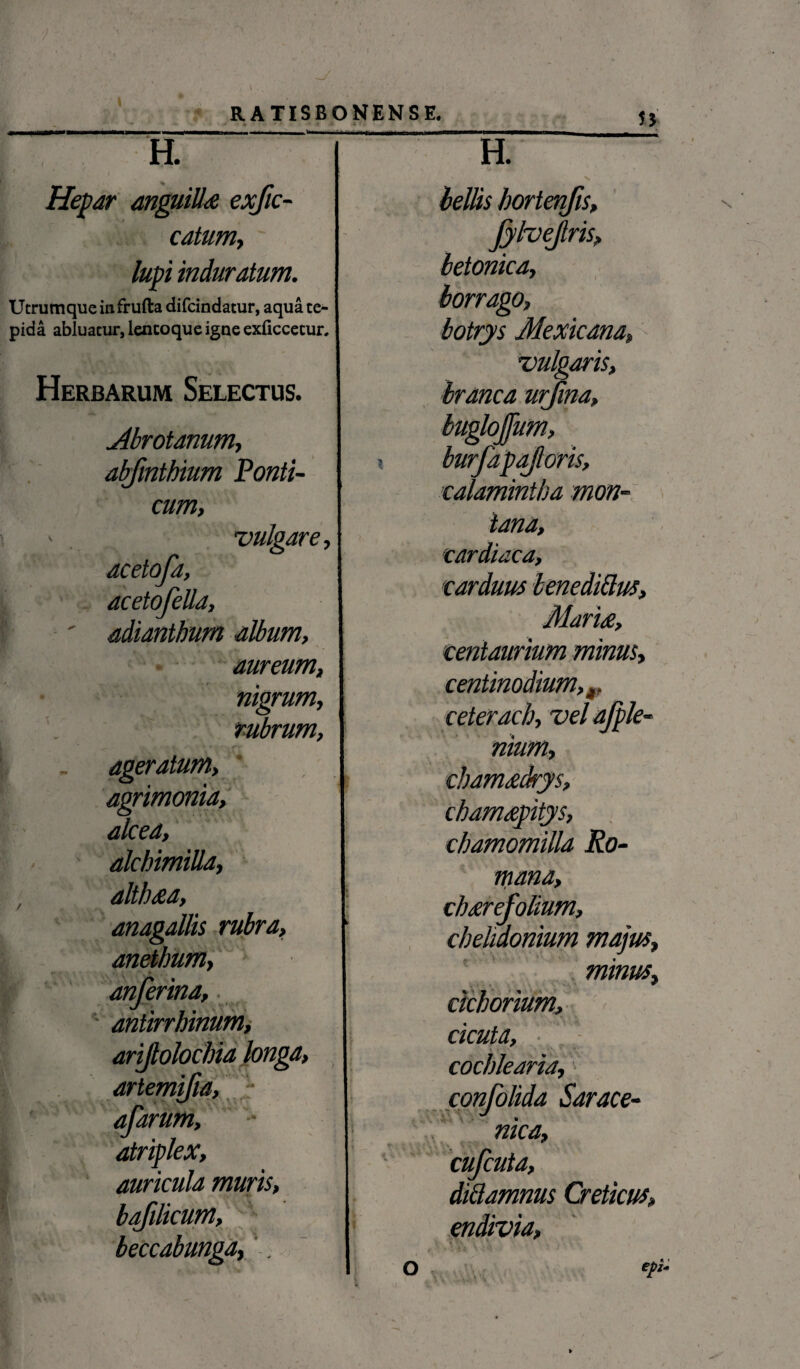 5j H. Hepar anguilla exfic- catum, lupi induratum. Utrum que in frufta difcindatur, aqua te¬ pida abluatur, lencoque igne exficcecur. Herbarum Selectus. Abrotanum, abfmtbium Ponti- cum, vulgare, dcetofd, acetofelld, adianthum album. e * M - • * ■ *** aureum, V-. ) nigrum, rubrum, ageratum, agrimonia, alcea, alchimiUa, althaa, anagallis rubra, anethum, anferina,- antirrhinum, arijtolochia longa, artemifia, afarum, atriplex, auricula muris, bafilicum, beccabunga,', H. v bellis hortenfis, JylveJris, betonica, borrago, botrys Mexicana, vulgaris, branca urjina, buglojjum, burfapajloris, calamintba mon¬ tana, cardiaca, carduus lene ditius, Maria, centaurium minus, centinodium, v ceterach, vel ajple- nium, chamadrys, chamapitys, chamomilla Ro- ntana, charefolium, chelidonium majus, minus, cichorium, cicuta, ■ ' cochlearia,} confolida Sarace- «/e*?, cufcuta, di&amnus Creticus, endivia, 4 ’V V> efz*