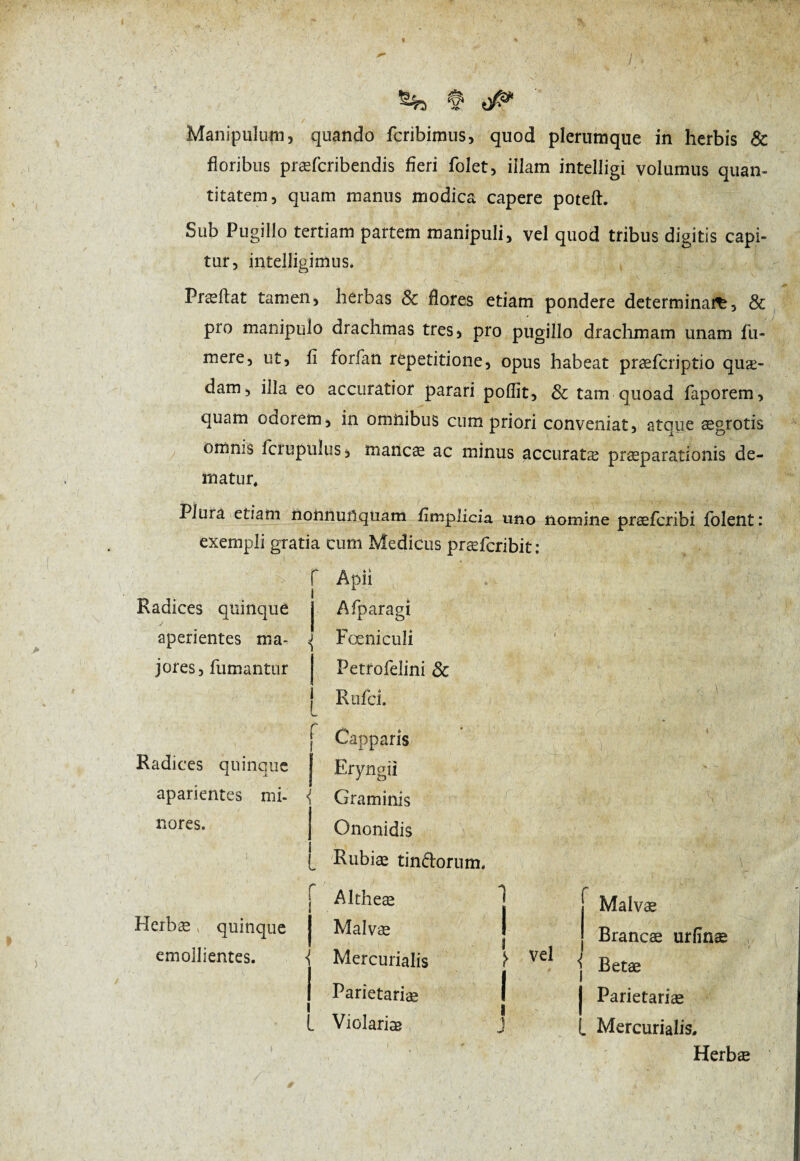 Manipulum, quando fcribimus, quod plerumque in herbis & floribus præfcribendis fieri foîet, iilam intelligi volumus quan¬ titatem, quam manus modica capere poteft. Sub Pugillo tertiam partem manipuli, vel quod tribus digitis capi¬ tur, intelligimus. Praeftat tamen, herbas Sc flores etiam pondere determina*, & pro manipulo drachmas tres, pro pugillo drachmam unam fu- mere, ut, fi forfan repetitione, opus habeat præfcriptio quæ- dam, illa eo accuratior parari poffit, & tam quoad faporem, quam oaorem, in omnibus cum priori conveniat, atque aegrotis omnis lcrupuîus, mancæ ac minus accuratæ præparationis de¬ matur. Plura etiam nonnuôqtiam fîmplicia uno nomine præfcribi fblent: exempli gratia cum Medicus præfcribit : Radices quinque y aperientes ma¬ jores, fumantur Radices quinque aparientes mi¬ nores. ‘ Apii Afparagi <{ Fœniculi Petrofeiini & R ufci. - Capparis Eryngii i Graminis Ononidis Rubiae tindorum. i \ / ( I* Altheæ Herbae quinque J Malvae emollientes. f Mercurialis | Parietariae i L Violariæ 1 ! \ vel i J Malvæ Brancæ urfînæ / «y '/ j Betæ | Parietariae l Mercurialis, Herbæ