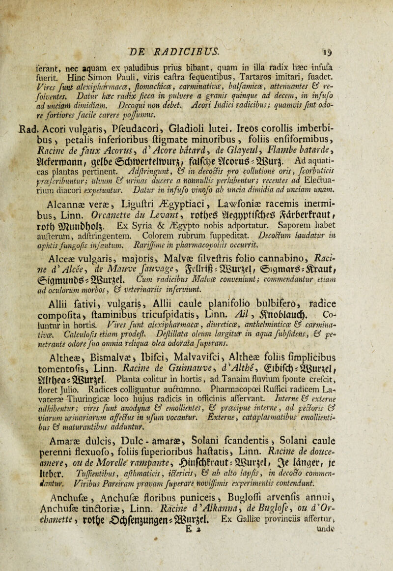 terant» nec aquam ex paludibus prius bibant, quam in illa radix hæc infufâ fuerit. Hinc Simon Pauli, viris eaftra fequentibus, Tartaros imitari, fuadet. Vires funt alexiphaf macce, flomachicce, carminativce, halfamicce, attenuantes & re¬ fotu entes. Datur hæc radix fitca in pulvere a granis quinque ad decem, in infufo ad unciam dimidiam. Decoqui non debet. Acori Indici radicibus; quamvis fint odo¬ re fortiores facile carere poffumus. Rad. Acori vulgaris, Pfeudacori, Gladioli lutei. Ireös corollis imberbi¬ bus!, petalis inferioribus ftigmate minoribus , foliis enfiformibus > Racine de faux Acorus , dH Acore bâtard, de Glayeul, Flambe bat arde, Hermann, gelbe ©d)ft>erfeln>ur^ falfci>e Sfcortrê« 2Bur$. Ad aquati¬ cas plantas pertinent. Adßringuni, & in decodtis pro collutione oris, fcorbuticis prccfcribuntur ; alvum & urinas ducere a Homullis perhibentur ; recentes ad Eleftua- rium diacori expetunturw Datur in infufo vinofo ab uncia dimidia ad unciam unam. Alcannæ veræ, Ligüftri Ægyptiaci, Lawfoniæ racemis inermi¬ bus, Linn. Or canette du Levant, roft)e$ §iegt)pf îfd)eé ftdrberfraut j rotl) $Runbf)0l$. Ex Syria & Ægypto nobis adportatur. Saporem habet auftemm, adftringentem. Colorem rubrum fuppeditat. De colium laudatur in aphtis fungofis infantum. Rariffime in pharmacopolns occurrit. Alceæ vulgaris, majoris, Malvâe flïveflris folio cannabino, Raci¬ ne d ’ Alcee, de Mauve fauvage, geürtß * £8ur&el, Arcuit, @iqmunb£*äßur£el> Cum radicibus Malvee conveniunt ; commendantur etiam ad oculorum morbos, & veterinariis inferviunt. Allii fativi, vulgaris. Allii caule planifolio bulbiferö, radice compofita, ftaminibus tricufpidatis, Linn. Ail, .Sïnoblaud)* Co¬ luntur in hortis. Vires funi alexiphatmüôce, diureticce, anthelminticce & carmina¬ tio ce-. Calculofis etiam prodefl. Deftillata oleum largitur in aqua fubfidens, & pe¬ netrante odore Juo omnia 'reliqua olea odorata fuperans. Altheæ, Bismalvæ, Ibifci, Maîvavifci, Altheæ foliis fîmplicibus tomentofis, Linn. Racine de Guimauve, d'Althê, (&bifd)*2Bur$eI/ 01t&ea*8Bw$el. Planta colitur in hortis, ad Tanaim fluvium fponte crefcit, floret Julio. Radices colliguntur auftümno. Pharmacopœi Ruflici radicem La- vateræ Thuringicæ loco hujus radicis in officinis affervant. Interne & externe adhibentur; vires funi anodynce & emollientes, & preeeipue interne, ad pectoris & Viarum urinariarum affe.Uus in ufum Vocantur. Externe, cataplasmatibus emollienti¬ bus & maturantibus adduntur. Amaræ dulcis, Dulc - amaræ* Solani fcandentis, Solani caule perenni flexuofo, foliis fuperioribus haftatis, Linn. Racine de douce- amere, ou de Morelle rampante, SBurjel* 3e langer, je liebet. Tuff entibus, aflhmaticis, iSlericis, & ab alto lapfis, in decollo commen¬ dantur. Viribus Pareiram pravam fuperäre novijfmis experimentis contendunt. Anchufæ , Atichufæ floribus puniceis, Bugloflî arvenfis annui, Ànchufæ tinâoriæ, Linn. Racine d'Alkamia*, de Buglofe, ou d'Or- chanette, rotfye Ex Galliæ provinciis affertur» E a Unde
