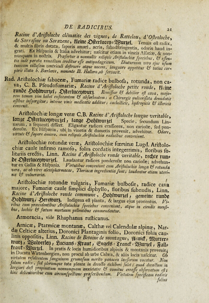 st Racine d'Arifioloche clématite des vignes, de Rattelou, d'Oßroloche de Sarrafine ou Sarazene, Heine £fîerlucep=SäJurjel. Tenuis' eil radix, & multis fibris dotata, faporis amari, acris, fubadftringentis, odoris haud in- giati. Ex Hiipania & Italia advehitur,* nafcitur etiam in vineis Alfatiæ & non- nunquam m noftris. Prcefertur a nonnullis reliquis Ariftolochiæ fpeciebus, ’& effen* tm mde parata remedium creditur effe antipodagricum. Diuturnum veto ejus ufum tunicam villofam ventriculi defruere atque nocere, languore appetitus & totius cor* pons illato b. Jdoerhave, monente III. Hallero,ob fervavit. Rad. Ariftolochiæ fabaceæ, Fumariæ radice bulbola, rotunda, non ca¬ va, C. B. Pfeudofumariæ, Racine d'Arifioloche petite ronde y flanc riinbe £of)immi, «Ofierincepmu^. Remiftfior & debilior eß cava, majo* rem tamen vim habet exficcantem & abforbentem ; a Chirurgis pulveri/ata denudatis ojjibusmJpergitur; interne vinis medicatis additur ; cachecticis, hydropicis & Clericis Ariftolochiæ îongæ veræ C.B. Racine d'Arifioloche longue verkabley lange <0|ferIuca)mm$el, lange £of)!mur$d Specie, fecundum Lin- næum, a fequenti differt Eligantur radices craffiores, non cariofæ, fed pon- dei°r^ r HlfPania’ ubl ln ymetis & dumetis provenit, advehitur. Odore„ vil tut e es Jap or e amaro, cum reliquis Ariftolochiæ radicibus conveniunt* Ariftolochiæ rotundae veræ, Ariftolochiæ fœminæ Lugd. Ariftolo¬ chiæcaule infirmo ramofo, foliis cordatis integerrimis, floribus fo- litariis ere<ftis, Linn. Racine d Arifioloche tonde verkable, tect)iC rnn^ î>e -Djîer!UCet)mur^L Laudantur ràdices ponderofæ non cariofæ; advehun¬ tur ex Gallia & Hiipania. Virtutibus conveniunt cum Ariftolochia longa & rotundet vera, ac ob vires alexipharmacas, Theriacce ingredi entia funt ; laudantur etiam uteri* m & vulnerante* Ariftolochiæ fotutufe Vulgaris, Fumari« faulbofe, radice cava maiore. Furnariae caule fimplici diphyllo, floribus fubnudis, Linn. Jpcme d Arifioloche ronde commune, T)otflrour^l, gemeine rutlbe »Dopimnr^ Indigenaeftplanta* & largus ejus proventus. Vi* rdms cum prœcedentibus Ariftolochiæ fpeciebus conveniunt, atque in ciendis menfi- vus, lochns & foetum mortuum pellentibus commendantur* Armoracia, vide Rhaphanus rufticanus» Arnicæ, Ptarmicæ montanæ, Calthæ vel Calendulæ alpinæ, Nar- æ Celticæ alterius, Doronici Plantaginis folio, Doronici foliis eau- iinis oppofîtis, Linn. Racine de Betoine de montagne > ÿtrttid/ ©lutter* m' J8oIt>erIch, guciatrê < Sivaut, €uqeté * Xrancf* fraut« uguwcl. In pratis & locis humidioribus alpinis & montanis provenit- m Ducatu Wirtenbergico, non procul ab urbe Calwa, & aliis locis nafcitur. Ob virtutem rejolventem fanguinem grumofum merito panacea lapforum vocatur. Non Jolum radix , Jed plerumque tota planta in decotto exhiberi Joletf quod decoiïum in largiori do fi propinatum nonnunquam anxietates & vomitus creaffe ob ferratum eß; hinc delicatioribus cum circumfpecïione pmferibendum. Virtutem fpecificam radicis ■* F fotiut i