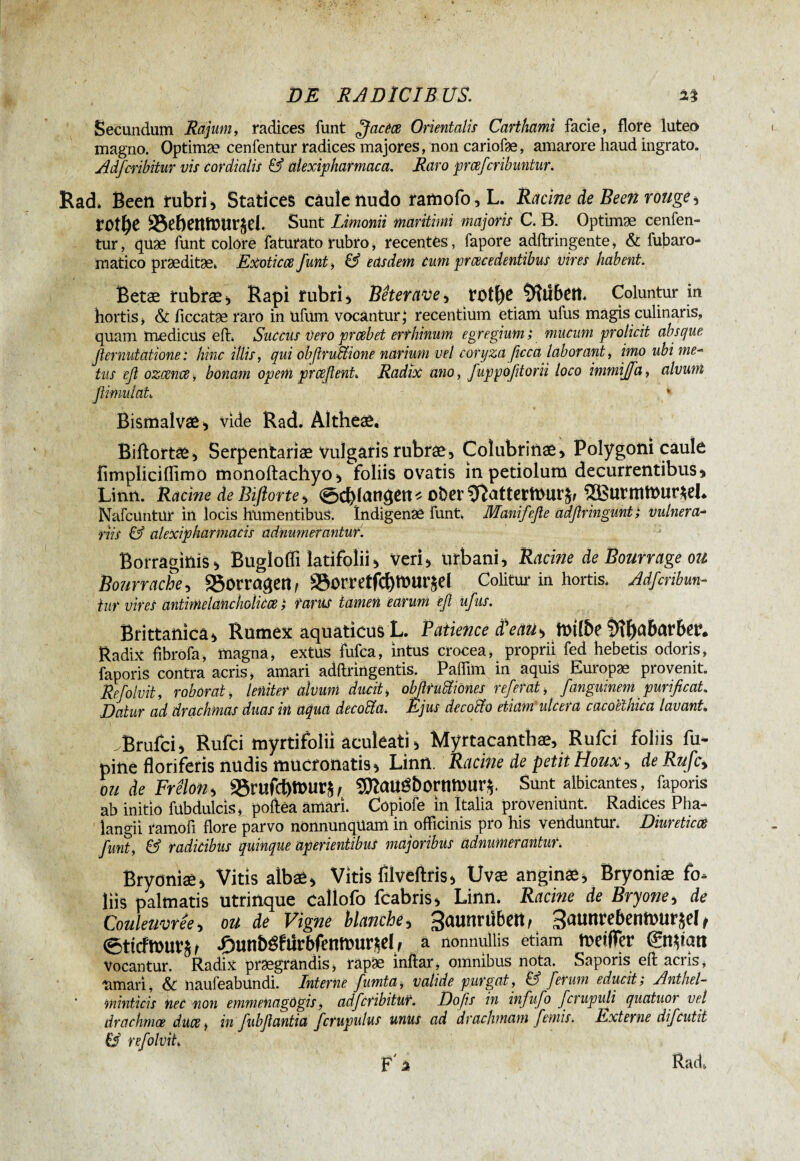 1 DE RADICIBUS. Secundum Rajum, radices funt ff aceo Orientalis Carthami facie, flore luteo magno. Optimæ cenfentur radices majores, non cariofæ, amarore haud ingrato. Adfcribitur vis cor dialis & alexipharmaca. Raro prcefcribuntur. Rad» Beeti rubri, StaticéS câule nudo ramofo,L. Racine de Been rouge, lOtl)C SSebetUÜtlt^d. Sunt Limonii maritimi majoris C. B. Optimæ cenfen¬ tur, quæ funt colore faturato rubro, recentes, fapore adftringente, & fubaro- matico præditæ* Exotico funt, & easdem cum procedentibus vires habent. Betæ rubrae, Rapi rubri , Beter ave, rotl)e Gilbert. Coluntur in hortis, & ficcatæ raro in Ufum vocantur; recentium etiam ufus magis culinaris, quam medicus eft. Succus Vero prcebet erthitium egregium; mucum prolicit absque fternutatione: hinc illis, qui obßruffiione narium vel coryza ficca laborant, imo ubi me¬ tus eß ozcence, bonam opem profient. Radix ano, fuppofitorii loco immijfa, alvum fiimutah * Bismalvae, vide Rad. Altheae, Biftortae, Serpentariae vulgaris rubrae. Colubrinae, Polygoni caule fimpliciflimo monoftachyo, foliis ovatis in petiolum decurrentibus, Linn. Racine de Bißorte, ober £Bu?mft>ur$eL Nafcuntur in locis frumentibus. îndigenæ funt, Manifefte adftnngunt; vulnera¬ riis & alexipharmacis adnumerantur. Borraginis, Bugloffi latifolii, Veri, urbani, Racine de Bourrage ou Bourrache, SSorragetl, SSorretfcbmut^d Colitur in hortis* Adfcribun- iur vires antimelancholicce ; rams tamen earum efl ufus. Brittanicâ, Rumex aquaticus L. Patience d'eaub tvilbeSftfyabavbev. Radix fibrofa, magna, extus fufca, intus crocea, proprii fed hebetis odoris, faporis contra acris, amari adftringentis. Paffim in aquis Europæ provenit. Rcfolvii, roborat, leniter alvum ducit, obfimUmnes referat, fanguinem purificat. Datur ad drachmas duas in aqua decofîa. Éjus decollo etiam ulcera cacoethica lavant. vBrufci, Rufci myrtifolii aculeati, Myrtacanthæ, Rufci foliis fu- pine floriferis nudis mucronatis, Linn. Racine de petit Houx y de Rufcy ou de Frelon y 25rufcbft)Ur$, 9ftaUébornn>ur*. Sunt albicantes, faporis ab initio fubdulcis, poflea amari. Copiofe in Italia proveniunt. Radices Pha¬ langi! ramofi flore parvo nonnunqilam in officinis pio his venduntur* Diutetico funt, & radicibus quinque aperientibus majoribus adnumerantur. Bryoniae, Vitis albae, Vitis filveftris, Uvæ anginæ, Bryoniæ fo¬ liis palmatis utrinque caîlofo fcabris, Linn. Racine de Bryone, de Couleuvrée, ou de Vigne blanche y 3<uumibett, Saunrebentmir Jd t <5ticFft>ur$ r ^mnbéfürbfenmur^dy a nonnullis etiam tndffer @t$tati vocantur. Radix praegrandis, rapae inftar, omnibus nota. Saporis efl acris, rimari, & naufeabundi. Interne fumta, valide purgat, & ferum educit; Anthel- minticis nec non emmenagdgis, adfcribitur. Dofis in infufo fcrupuli quatuor vel drachmae duce, in fubfiantia fcrupulus unus ad drachmam femis. Externe difcutit & refolvit. F à Rad«,