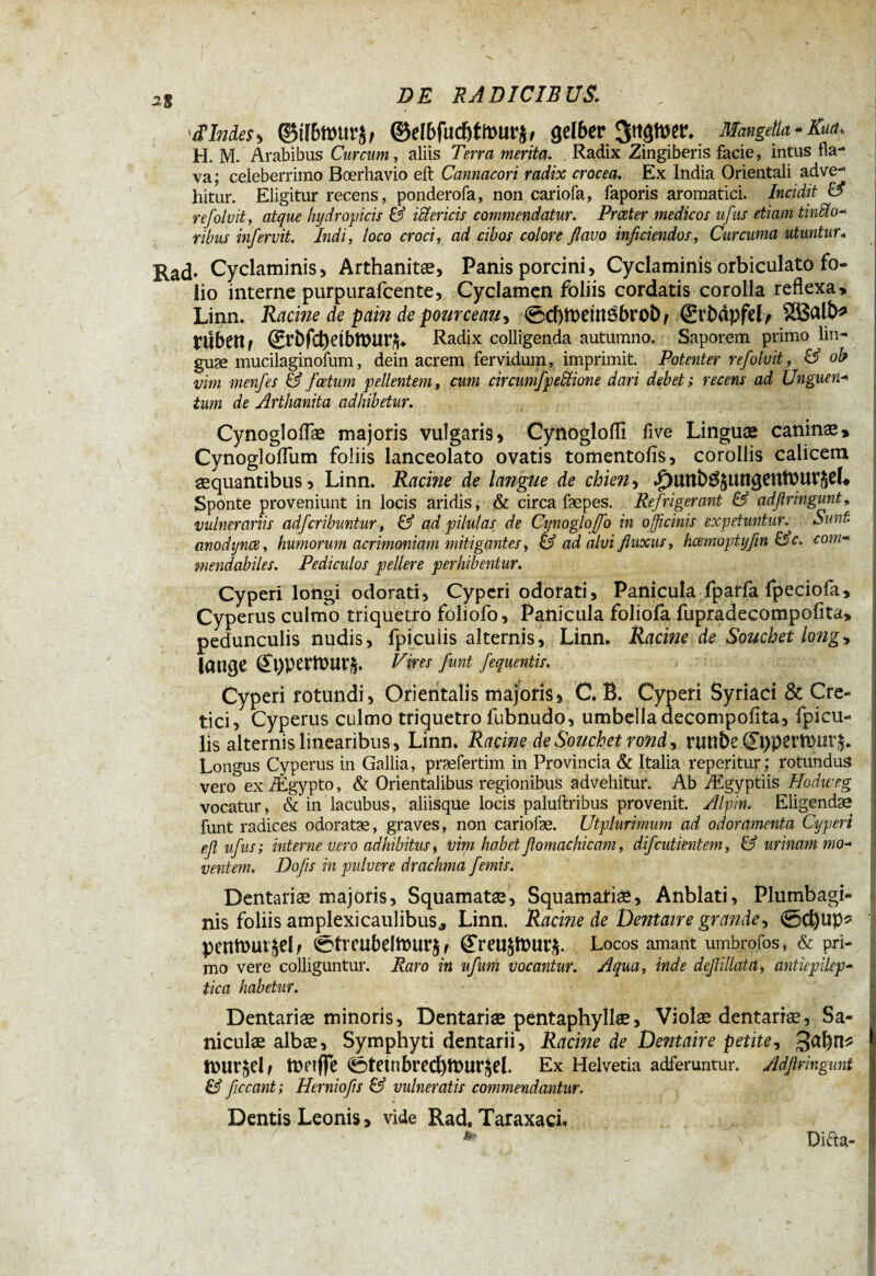 2§ [<P Indes-> ©tJ&Wtirj, ©dbfucf)ttt>urj, gelber 3tt<jhw. MangeÜa - RacU H. M. Arabibus Cur cum, aliis Terra merita. Radix Zingiberis facie, intus fla¬ va; celeberrimo Boerhavio eft Cannacori radix crocea. Ex India Orientali adve¬ hitur. Eligitur recens, ponderofa, non cariofa, faporis aromatici. Incidit & refoluit, atque hydropicis & iUericis commendatur. Prceter medicos ufus etiam tindto- ribus inferuit. Indi, loco croci, ad cibos colore flavo inficiendos. Curcuma utuntur« Rad* Cyclaminis, Arthanitae, Panis porcini. Cyclaminis orbiculato fo¬ lio interne purpurafcente, Cyclamen foliis cordatis corolla reflexa, Linn. Racine de pain de pourceau, @cbtPdttébrobr®tbdpfeL SEßfllb* ttlbettf StbfcbdbtDUt/h Radix colligenda autumno. Saporem primo lin- guæ mucilaginofum, dein acrem fervidum, imprimit. Potenter refoluit, & ob vim menfes & ficetum pellentem, cum circimfipebtione dari debet ; recens ad Unguen- tum de Arthanita adhibetur. Cynogloflæ majoris vulgaris, Cynoglofli five Linguae caninae, Cynogloflum foliis lanceolato ovatis tomentofis, corollis calicem aequantibus, Linn. Racine de langue de chien, ^unb^iîttgetttMVfjeL Sponte proveniunt in locis aridis, & circa fæpes. Refrigerant & adflringunt, vulnerariis adficribmtur, & ad pilulas de Cijnogloffio in officinis expetuntur. Sunt anodynce, humorum acrimoniam mitigantes, & ad alvi fluxus, hcemoptyfin &c. com- mendabiles. Pediculos pellere perhibentur. Cyperi longi odorati, Cyperi odorati, Panicula fparfa fpeciofa, Cyperus culmo triquetro foliofo. Panicula foliofa fupradecompofita, pedunculis nudis, fpicuiis alternis, Linn. Racine de Souchet long, tange <£t)pertt>ur*. Vires fiunt fiequentis. Cyperi rotundi, Orientalis majoris, C. B. Cyperi Syriaci & Cre¬ tici, Cyperus culmo triquetro fubnudo, umbella decompofita, fpicu¬ iis alternis linearibus, Linn. Racine de Souchet rond, ruttbe<£t)perîmn\$. Longus Cyperus in Gallia, præfertim in Provincia & Italia reperitur; rotundus vero ex Ægypto, & Orientalibus regionibus advehitur. Ab Ægyptiis Hodweg vocatur, & in lacubus, aliisque locis paluftribus provenit Alpin. Eligendae funt radices odoratae, graves, non cariofæ. Utplurimum ad odoramenta Cyperi efl ufius; interne vero adhibitus, vim habet flomachicam, dificutientem, & urinam mo¬ ventem. Dofiis in pulvere drachma fiemis. Dentariæ majoris, Squamatæ, Squamatiæ, Anblati, Plumbagi¬ nis foliis amplexicaulibus* Linn. Racine de Dentaire grande, ©d)up? penn>ut§eL 0trcubelh)ur$r ^reusfour*. Locos amant umbrofos, & pri¬ mo vere colliguntur. Raro in ufinm vocantur. Aqua, inde deflillata, antiepilep- tica habetur. Dentariae minoris, Dentariae pentaphyllæ, Vioîæ dentariæ, Sa- niculæ albae, Symphyti dentarii,) Racine de Dentaire petite, f tnnfle <ét?tnbred)ft>ur£el. Ex Helvetia adfemntur. Adflringunt & jiccant; Herniofis & vulneratis commendantur. Dentis Leonis, vide Rad. Taraxaci. Di da-