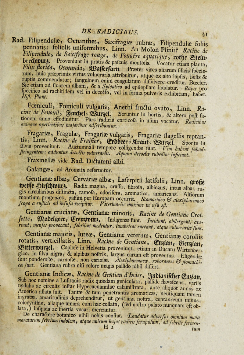 Rad. Filipendulæ, Oenanthes, Saxifragiæ rubræ, Filipendulæ foliis pennatis: foliolis uniformibus, Linn. An Molon Plinii? Racine de Fihpendule, de Saxifrage rouge, de Fougère aquatique, vothe ©terne bnxfytvui't. Proveniunt m pratis & pafcuis montofis. Vocatur etiam planta * h dix florida , Osmunda, âBafferfant. Præter vires aliarum filicis foede¬ rum» huic præpnmis virtus vulneraria attribuitur» atque ex alto laofis læfis ruptis commendatur; fanguinem enim coagulatum diffolvere creditur.’ Boeder. Sic etiam ad fluorem album, & a Sylmtko ad epilepfiam laudatur. ' Rarus pro Hijfpiant raClltldem Ve 111 deco^°> vel in forma pulveris exhibitam, habet. Fœniculi, Foeniculi vulgaris, Anethi fmfhi ovato, Linn. Ra- eme de FenouiL, JÇettCfyeL 3Bur§C(. Seruntur in hortis, & altero poft fa- tionem anno effodiuntur Pars radicis corticofa in uium vocatur. Radicibus qmnque aperientibus majoribus adferibuntur. Fragariæ, Fragulæ, Fragariæ vuîgaris, Fragariæ flagellis reptan¬ tis, Linn. Racine de Fraißer , ©:&becr* ftraut* 2$ur*el. Sponte in iilvis proveniunt. Audumnali tempore colligendae funt. Vim habent fubad- jlringentem, adduntur decoïïis vulnerariis. Aquam decobtee rubedine inficiunt Fraxinellæ vide Rad. Di&amni albi, Galatigæ, ad Aromata referuntur. Gentianæ albæ, Cervariæ albæ, Laferpitii latifolii, Linn. aroße tî)Cif|c £trfcl)ft)Ur£» Radix magna» craffa, fibrofa, albicans, intus alba ru¬ gis circularibus diftinfta» ramofa» odorifera, aromatica, amaricans. Altiorum montium piogemes, paflimper Europam occurrit. Stomachico & alexipharmaco Jcojjo a rujhcis ad mjuja recipitur. Fetermariis maxime in ufu ejt Gentianæ cruciatæ, Gentianæ minoris. Racine de Gentiane Croi- fette, «Wobelgeer, S’remtnur?. Indigenae funt. Incidunt, abßerguM, am* rnmt, menfes provocant, febribus medentur» lumbricos enecant, atque vulneraria funt. Gentianæ majoris* luteæ, Gentianæ veterum, Gentianæ corollis rotatis, verticillatis, Linn» Racine de Gentiane, @n$tCUîf ©cnftûut S3ttterttnir$el. Copiofe in Helvetia proveniunt, etiam in Ducatu Wirtenber- gico, in filva nigra» & alpibus noftris, largus earum efi: proventus. Eligendae funt ponderofæ, carnofæ, non cariofæ. Alexipharmacœ, roben-antes & ftomacht cœ funt Gentiana rubra nili colore magis pallido nihil differt. Gentianæ Indicæ, Racine de Gentian d'Indes, ^nbtam’fcber Stttfmt Sub hoc nomine a Lufitanis radix quædam geniculata, pallide flavefcens variis nodulis ac circulis inflar Hypecacuannhæ calamiftrata, ante aliquot annos ex America allata fuit. ^ Tantæ & tam penetrantis aromaticae, neutiquam tamen Lngiatæ, amaritudinis deprehenditur, ut gentiana noflra, centaureum minus colocynthis, aliaque amara cum hac collata, (fed noltro palato nunquam efi: ob¬ lata , ) lnlipida ac inertia vocari mereantur. De charaftere botanico nihil nobis confiât. Laudatur adverfus omnium matee moratarum febrium indolem, atque unicum hujus radicis fcrupulmnf ad febrile fern. en- * H 2 ium