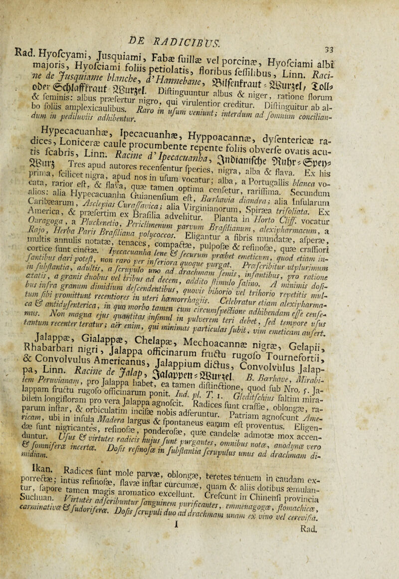 ^ÄÄftlSSfe Ä ?*« v'ip°r' ' m ne de Jusquiame blanche d’Hall /* flor^us femiibus, Linn. Raci- ot>er ®c^(a(ffrauf Sßiit’M niftine- ®?^enfrau^5 SKurjel/ Xo(h & feminis: albus praefertur ni oro rn,; ^uun. U1' a ^us & niger, ratione florum bo foliis amplexicaulibus. Raro L \,r vlluentlor creditur. Dillinguitur ab al- dum in pediluviis adhibentur. *^W veniunt; interdum ad fomnum conciliant dic^Lonlceræ càu/fnmr“3^11®’ HU>P°acannæ, dyfentericæ ra- tis (cabris, Lin« Racine ThfefP refent®t'°llis obverfe ovatis acu- 5®UtJ Tres apud autor recenfen S ’ ^mmfcbe *0&r * ©P«)* prima, Ccilicetntera ZIdIZZ P' WS’ mgra> alba & ^a. Ex his cata, rarior eft, & flava, quse tamöTonff1'“’’ H1’®’ a PortaSallis blancam- «alios; alia Hypecacuanha Guianen/ium ce’1 etllr’,rar^ima- Secundum Caribæarum, Asclepm CurafTavica- alia Vi’ Bar mma Mandra; alia Infularum America, & præfertim ex ftS a Virgimanorum, Spiræa trifoliata. Ex Ouragogà, a ffijStSï ÊT * HT ?ff~ « Rajo , Herba Paris Brafiliana volycoccos P Elieanfmfffih“’ al™’pbanmcum, a multis annulis notatæ, tenaces gantw a fibris mundat*, afper*, cortice font cinftæ. fyecacuanh’a lemffT' pl'lpof* & refmofæ, qu* craffiori fantibas dari pote fl, non***** ^ticum, quod etiam m- mfvbflantia, adultis, a fcrwpulo uno ad ddPmgrat\ Rtœfcribitur utplurimum atatis, a granis duobus Jel fb ° a7deci, a Z7n fT V V™ ratione bus infra granum dimidium deffendenfêff’fff fi ° A'“0; A minimis d°fi- tum fibi promittunt rétentions in uteri Lmorrhafi Ce! fd ftnh°r’° rfetjA mt~ mus Non magna ejus \umtitas infrnul in pZeTemfrilbÎ^T # tantum recenter teratur; air enim, fui minim f KhSbTri nigfæ’ GekP“> & Convolvulus Americanus° la mH ™ dfd rUSofo Toilr^fortii, pa, Linn. Racine de JalapJalaJJenTWuneV Jakp‘ lappam fruftu rugofooffirinarum pônit. Ind. plf^'T/ fubr fra e J»* bilem longifloram pro vera Talanm. ammfrii- ' kr 'r Gledltfc'mis faltim mira- paruminlar, & o^icula^objODS*> ra‘ ricam, ubi in infula Madera lare-ns Rr fnn +■ untm- Patnam agnofeunt Ame- f «’unt ni^cantlÄ^Ä^Ä'1 T?** duntur. Ufus & virtutes radicis hnmr r,mt ’ ?  11 e * admotae mox accen- & fonmifem incertœ. Dofu re/inoh in onjn^m notce> anodijnee vero midiem. J' reJ,mJce m Mßmvmfcnpulm unus ad drachmam di- porrecte ; inrts refmofæ ol),onS3e’ Cretes tenuem in caudam ex- a,sr àiïf» « ssîsâ »>y£5rzsÄ:,rr;fs^r:S: ^ Rad.
