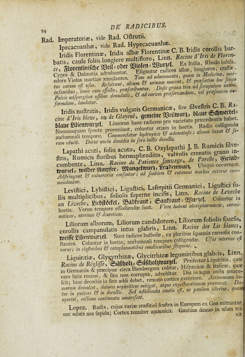 J 34 de radicibus. Rad. Imperatorias, vide Rad. Oftrutii. Ipecacuanhæ, vide Rad. Hypecacuan æ. corollis bar- Iridis Florentinae, Iridis albæ^a'L à'Iris Ae Floren- batis, caulè foins longiore gx Italia, Rhodo infula, «, glorentinifcOe ©eil»öfter SB»21 longiores, «affle, Cypro & Dalmatia advehuntur. S ,„ramenta quam in Medicina, tnul- odore Violas martias æmulantes Tam/d odoriime,qua, Aoc/c„F tus earum eft ufus. Rtfotvmt, ^ ! Dofis grana tria ad fcrupulum imum. ^ cariem praifervandam, at/ «' ferendam, laudatur. n t> p Iridis noftratis, Iridis vulgaris Germanicæ, five * jg^rtei, eine Miris bleue, ou de Glayeul, gemeine 93 ^etàte æcedentis habet, blaue giltenwürsel. Limweus hanc îadicer p . P Radix colligenda Nonnunquam fponte proveniunt, co un ure jmat0/js; alvum taxat & /«- nm educit. Datur uncia dimidia in fero laäts decoßa. . . e, - Lapathi acati, Mo acto, C. B Ox,lapathi J- ftris, Rumicis flocibus l'CrmaptiiMO', ^ ^ JCcVc , (S,tiltb= cumbente, Lmn. ^ J _ Ubique occurrunt. ttntrAd ) totlber Simpfer r \^hem # cutaneos morbos externe coni- Adflringunt & vulnerance cenjentur; aa jcaviei m en dantur. vendantur. , . T . /, • • /* t m;„; Tvbiftici Lisuftici, Laferpitii Germanici, I.igultici io- nativas, uterinas & diureticas. 'uvas, uterinas v umiww Liliorum alborum, Liliorum candidorum, Liliorum foliolis fparfis, corollis campanulatis intus glabris, Lmn. Racine des Lis b ancs, tneifie gatmWurut Sunt radices ’ “SugendT^UfuXdrnTefi rnrmtin ^yftmhis & calaptasZtibTemollientibus frequens. .. T iauintiæ, Glvcvrrhizæ, Giycir.rhizæ leguminibus glabris, Lmn.,: Racine de Régliffe, ©ÛgÔOl^urîd. J* in Germania Sc praecipue circa Bambergam coto , Hi ft & raro fatis recens , & fitu m llorruplexteriore Acrimoniam hu- feit; hinc decoctis in fine ad 1 e e » exveSorationem promovet. Da- ZZpZTà t decoBs. Sed addenda cautio efi, ne paulum ulterius, quam ojwrtet, coctione continuata amarefeat. t nnp7 Rndix cuius variae craffitiei fruftra in Europam ex Goa mittuntur,