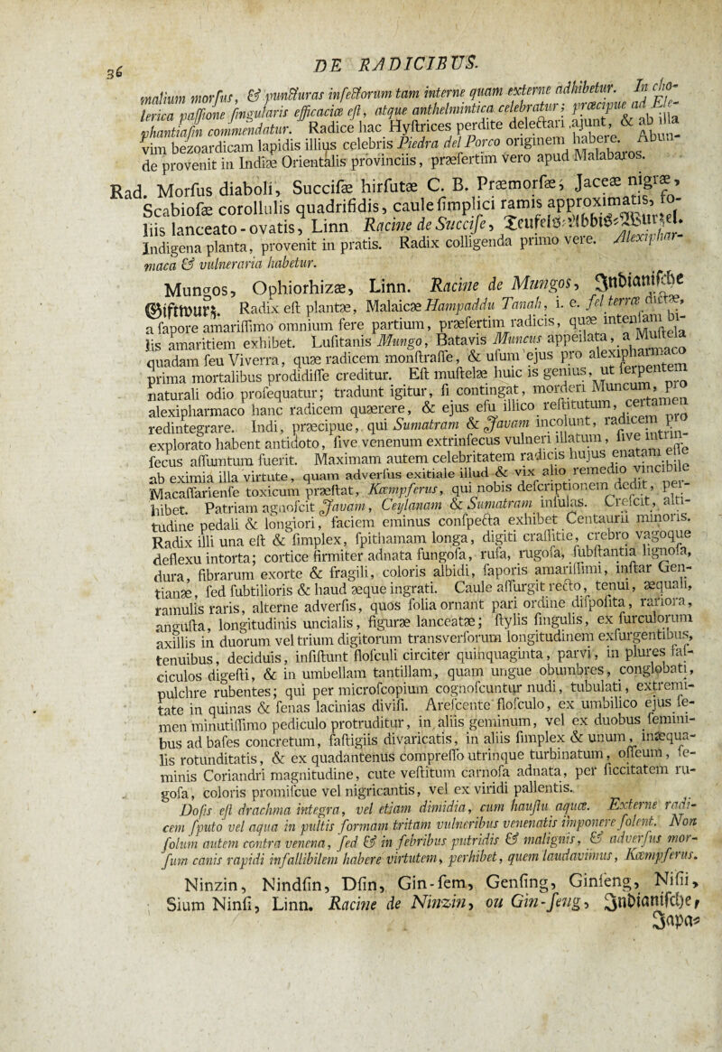 maiimn morius, & pmSuras infeStorum tam interne quam externe adhibetur. In cho- TeriTpaffne finguLs efficaci, efl „flue fthânintiçaceiér^; vhant afin commendatur. Radice hac Hyftnces perdite deleftan .ajunt, & aD ma vüti bezoardicam lapidis illius celebris Piedra dei Porco ongmem hab^Abun- de provenit in Indiæ Orientalis provinciis, præfertim vero apud Malabar os. Rad. Morfus diaboli, Succifæ hirfutæ C. E. Præmorfe, Jaceæ nigiæ, Scabiofæ corollulis quadrifidis, caulefimplici ramis apPJox'tnMis, liis lanceato-ovatis, Linn Recine de Sucafe, Ze ufelÔiîJbbtê^but^I. Indigena planta, provenit in pratis. Radix colligenda pnmo veie. Alexifh maca & vulneraria habetur. Mundos, Ophiorhizæ, Linn. Racine de Mungos, ^tfîlDUn. Radix eft plantæ, Malaicæ Hampaddu Tanah, i. e. ffl terree u æ, a fapore amariffimo omnium fere partium, præfertim radicis, quæ mten ani ^ Iis amaritiem exhibet. Lufitanis Mungo, Batavis Munem appellata, a M quadam feu Viverra, quæ radicem monftraffe & ufum ejus pio ^îphar prima mortalibus prodidifle creditur. Eft muftelæ huic is genius, ut ierPenten naturali odio profequatur; tradunt igitur, fi contingat, monleii Muncum, P alexipharmaco hanc radicem quærere, & ejus efu illico reftitutum, ^ redintegrare. Indi, praecipue,. qui Sumatram & flfavam incolunt, îadic:i P explorato habent antidoto, five venenum extrmfecus vulneri illatum, live i fecus affumtum fuerit. Maximam autem celebritatem radicis hujus -bile ab eximia illa virtute, quam adverfus exitiale illud & vix aho remedio i - Macaffarienfe toxicum præftat, Kampf erus, qui nobis defcriptionem dedit, pei- hibet Patriam aenofeit flfavam, Ceijlanam & Sumatram miulas. Creicit, alti¬ tudine pedali & longiori, faciem eminus confpefta_exhibet Centaurii minoris. Radix illi una eft & fimplex, fpithamam longa, digiti craffitie, crebro vagoque deflexu intorta; cortice firmiter adnata fungofa, rufa, rugoia, fubltantia lignola, dura, fibrarum exorte & fragili, coloris albidi, faporis amanflimi, mftar Oen- tianæ, fed fubtilioris & haud æque ingrati. Caule affurgit recto, tenui, aequali, ramulis raris, alterne adverfis, quos folia ornant pari ordine diipolita, ratiora, angufta, longitudinis uncialis, figuræ lanceatæ; ftyhs fingulis, ex fur cui orum axillis in duorum vel trium digitorum transverforum longitudinem exfurgentibus, tenuibus, deciduis, infiftunt flofculi circiter quihquagmta, parvi, m plures tat- ciculos digefti, & in umbellam tantillam, quam ungue obumbres, conglobati, pulchre rubentes; qui per microfcopium cognofcuntur nudi, tubulati, extremi¬ tate in quinas & fenas lacinias divifi. Arefcente floiculo, ex umbilico ejus le¬ rnen minutiflimo pediculo protruditur, in, aliis geminum, vel ex duobus femini¬ bus adbafes concretum, faftigiis divaricatis, in aliis fimplex & unum, mæqua- lis rotunditatis, & ex quadantenus comprefio utrinque turbinatum, obeum, 1e- minis Coriandri magnitudine, cute veftitum carnofa adnata , per ficcitatem m- gofa, coloris promifeue vel nigricantis, vel ex viridi pallentis. Do fis efl drachma integra, vel etiam dimidia, cum haufluaquœ. Externe radi¬ cem f'puto vel aqua in pultis formam tritam vulneribus venenatis impone} e folent. Non folum autem contra venena, fed & in febribus putridis & malignis, & ad v ei fus moi- fum canis rapidi infallibilem habere virtutem, perhibet, quem laudavimus, Kampf eius. Ninzin, Nindlin, Dfin, Gin-fem, Genfing, Ginieng, Nifii» Sium Ninfi, Linn, Racine de Ninzin, ou Gi?i-feng^ f