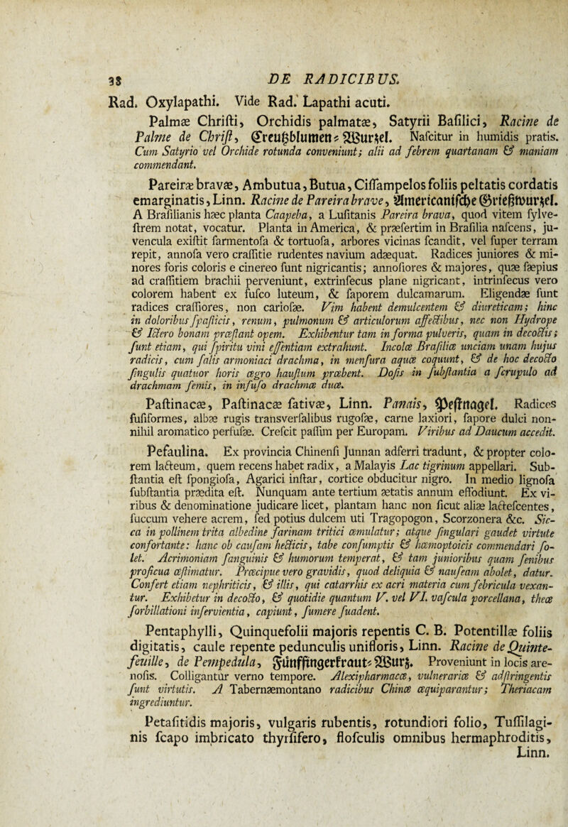 Rad, Oxylapathi. Vide Rad.' Lapathi acuti. Palmæ Chrifti, Orchidis palmatæ, Satyrii Bafîlici, Racine de Palme de Chrifl, <£reu§blumen* 2Bur*eI. Nafcitur in humidis pratis. Cum Satyrio vel Orchi de rotunda conveniunt; alii ad febrem quartanam & maniam commendant. Pareiræ bravæ, Ambutua, Butua, Ciflampelos foliis peltatis cordatis emarginatis, Linn. Racine de Pareirabrave, 2lmertcantfd)e ©rie$ft>ur$ef. A Brafilianis haec planta Caapeba, a Lufitanis Pareira brava, quod vitem fylve- ftrem notat, vocatur. Planta in America, & praefertim in Brafilia nafcens, ju¬ vencula exiftit farmentofa & tortuofa, arbores vicinas fcandit, vel fuper terram repit, annofa vero craftitie rudentes navium adæquat. Radices juniores & mi¬ nores foris coloris e cinereo funt nigricantis ; annofiores & majores, quæ fæpius ad crallitiem brachii perveniunt, extrinfecus plane nigricant, intrinfecus vero colorem habent ex fufco luteum, & faporem dulcamarum. Eligendae funt radices craffiores, non carlofæ. Vim habent demulcentem & diureticam; hinc in doloribus fpafiicis, renum, pulmonum & articulorum ajfeffiibus, nec non Hydrope  & Mero bonam prcefiant opem. Exhibentur tam in forma pulveris, quam in decoüis ; funt etiam, qui fpiritu vitii effentiam extrahunt. Incolae Brafilice unciam unam hujus radicis, cum falis armoniaci drachma, in menfura aquce coquunt, & de hoc decoUo fngulis quatuor horis aegro haufium prcebent. Dofs in fubfiantia a fcrupulo ad drachmam femis, in infufo drachmae duce. Paftinacæ, Paftinacæ fativæ, Linn. Panais, Radices fufiformes, albæ rugis traUsverfalibus rugofae, carne laxiori, fapore dulci non¬ nihil aromatico perfufæ. Crefcit paffim per Europam, Viribus ad Daucum accedit. Pefäulina, Ex provincia Chinenfi Junnan adferri tradunt, & propter colo¬ rem larieum, quem recens habet radix, a Malayis Lac tigrinum appellari. Sub- ltantia eft fpongiofa, Agarici inftar, cortice obducitur nigro. In medio lignofa fubftantia praedita eft. Nunquam ante tertium aetatis annum effodiunt. Ex vi¬ ribus & denominatione judicare licet, plantam hanc non ficut aliæ lactefcentes, fuccum vehere acrem, fed potius dulcem uti Tragopogon, Scorzonera &c. Sic¬ ca in pollinem trita albedine farinam tritici cernulatur ; atque fingulari gaudet virtute confortante : hanc ob c auf am hecHcis, tabe confumptis & hcemoptoicis commendari fo- let. Acrimoniam fanguinis & humorum temperat, & tam junioribus quam fenibus proficua cefiimatur. Praecipue vero gravidis, quod deliquia & naufeam abolet, datur. Confert etiam nephriticis, & illis, qui catarrhis ex acri materia cum febricula vexan¬ tur. Exhibetur in decollo, & quotidie quantum Vvel VI. vafcula porcellana, thece forbillationi infervientia, capiunt, fumer e fuadent. Pentaphylli, Quinquefolii majoris repentis C. B. Potentillæ foliis digitatis, caule repente pedunculis unifîoris, Linn. Racine deQuinte- feuille, de Pempedula-t Jünfftngetffraut* $Bur$. Proveniunt in locis are- nofts. Colligantur verno tempore. Alexipharmacce, vulneraria & adfiringentis funt virtutis. A Tabernæmontano radicibus Chince cequiparantur ; Theriacam ingrediuntur. Petafitidis majoris, vulgaris rubentis, rotundiori folio, Tuflilagi- nis fcapo imbricato thyrfifero, fiofculis omnibus hermaphroditis, Linn.
