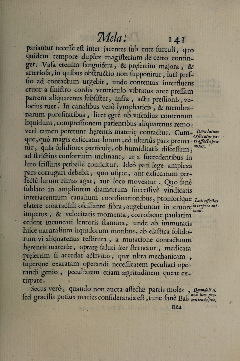 Mela141 patiantur necefle efl inter jacentes fub cute furculi, quo quidem tempore duplex magifierium de certo contin¬ get. Vafa etenim fanguifera, & pr^lertim majora, Sc arteriofa, in quibus obflrudio non fupponitur, luti pref- fio ad contadum urgebit, unde contentus interfluens eruor a finiftro cordis ventriculo vibratus ante preflam partem aliquatenus fubfiftet, infra, adu preflionis, ve¬ locius ruet. In canalibus vero lymphaticis , & membra¬ narum porofitatibus , licet £gre ob vifeidius contentum liquidum ,compreflionem patientibus aliquatenus remo¬ veri tamen poterunt herentis materie contadus. Cum- lutum que,quo magis exiiccatur lutum,eo ulterius pars prema-‘rsafffdapZ tur, quia folidiores particula,ob humiditatis difceflum,*r' ad llridius confortium inclinant, ut a fuccedentibus in luto fcifluris perbelle conficitur; Ideo pari lege amplexa pars corrugari debebit, quo ufque, aut exficcatum per¬ fode lutum rimas agat, aut loco moveatur . Quo lane lublato in ampliorem diametrum fucceflive vindicatis interiacentium canalium coordinationibus, proniorique Luti effetius elatere contradili ofcillante fibra,augebuntur in cruore”*^®**'- 0 j ° r . mali. impetus , ot velocitatis momenta, corroiaquc paulatim cedent incuneati lentoris ftamina, unde ab immutatis hifce naturalium liquidorum motibus, ab elaftica folido- rum vi aliquatenus reftituta , a mutatione contaduum herentis materia:, optat£ faluti iter fternetur , medicata pr^iertim fi accedat adivitas, qua: ultra mechanicam , luperque exaratam operandi neceflitatem peculiari ope¬ randi genio , peculiarem etiam aegritudinem queat ex- tirpare. Secus vero, quando non aucta aflfeda: partis moles , Qua»doBai fed gracilis potius maciesconfiderandaeft,tunc fane Bah nea