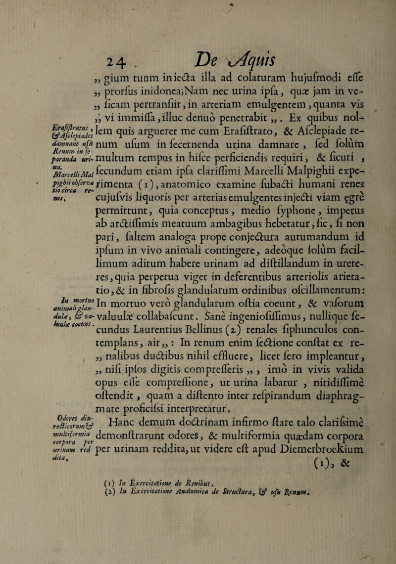 „ gium tuum inie&a illa ad colaturam hujufmodi eflc „ prorfus inidonea>Nam nec urina ipfa, qua: jam in ve- „ ficam pertranfiit , in arteriam emulgentem , quanta vis „ vi immifla, illuc denuo penetrabit ,, . Ex quibus nol- §fj}iT/ad/slem argueret me cum Erafiflrato, & Afclepiade re- damnant ufn num ulum in fecernenda urina damnare , fed foliim Renum w (e , i . r r . ,. . . n paranda uri-multum tempus in hiice perficiendis requiri, & licuti , MarcelliMai^cundum etiam ipfa clariflimi Marcelli Malpighii expe- pjgbiiobfervajtimenta (i), anatomico examine fubadli humani renes nes. cujuivis liquoris per arterias emulgentes injecti viam £gre permittunt, quia conceptus, medio fyphonc, impetus ab ardliflimis meatuum ambagibus hebetatur, fic, fi non pari, laltem analoga prope conjedlura autumandum id ipfum in vivo animali contingere, adeoque lolum facil¬ limum aditum habere urinam ad diftillandum in urete¬ res, quia perpetua viget in deferentibus arteriolis arieta¬ tio,^ in fibrofis glandularum ordinibus olcillamentum: mvmdtgian- 1° mortuo vero glandularum oflia coeunt, tte vaforum dulce ? & va- valuula: collabafcunt. Sane ingeniofiflimus, nullique fe- huUtoeunt. CunduS Laurentius Bellinus (2.) renales fiphunculos con¬ templans , ait „ ; In renum enim fedlione conflat ex re- „ nalibus dudlibus nihil effluere, licet Iero impleantur, „ nifi ipios digitis comprefleris „ , imo in vivis valida opus efle compreilione, ut urina labatur , nitidiflime offendit, quam a diftento inter refpirandum diaphrag¬ mate proficifsi interpretatur. reUicoLmy Hanc demum dodlnnam infirmo flare talo clarifsime multiformia demonflrarunt odoret, & multiformia quaedam corpora red per urinam reddita, ut videre eft apud Diemerbroekium (0> & (1) In Exercitatione de Renibus. (2) In Exercitatione Anatomica de $iru3ura9 & ufu Renjtrn. corpora urinam dita.