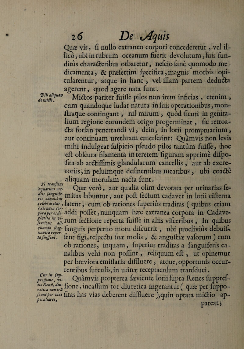 Qnx vis, fi nullo extraneo corpori concederetur , vel il- lico, ubi in rubrum oceanum fuerit devolutum, fu is fun¬ ditus characteribus orbaretur, nefcioiane quomodo me¬ dicamenta , & prcefertim fpecifica, magnis morbis opi¬ tularentur, atque in hanc, vel illam partem deduCta agerent, quod agere nata funt. JonlaiT*9 Mi&os pariter fuiffe pilos non irem inficias , etenim > cum quandoque ludat natura infuisoperationibus,mon- ftraque contingant, nil mirum , quod ficuti in genita¬ lium regione eorundem origo progerminat, fic retroa- Cta forfan penetrandi vi, dein, in lotii promptuarium, aut continuam urethram emerlerint: Quamvis non levis mihi indulgeat fufpicio pfeudo pilos tantum fuiffe, hoc elt obfcura filamenta in teretem figuram apprime difpo- iita ab arCtiffimis glandularum cancellis, aut ab excre- toriis,in peluimque definentibus meatibus, ubi coaCle aliquam morulam naCta funt. St tranfitus v 1.1.1 . . r alarum me- Quce vero, a ut qualia oiim devorata per urinarias ie- {anirlus mhas labuntur, aut poft feCtum cadaver in lotii cifterna celebraretur, latent, cum ob rationes fuperius traditas ( quibus etiam extranea cor- , .. 1 ^ 1 . poraper os de- addi poliet, nunquam ha:c extranea corpora in Cadave- jiTrTJali fum feClione reperta fuiffe in aliis vifceribus, in quibus quando jiag- fau^uis perpetuo motu dii currit, ubi proclivius debuif* nantia reper- r O I l J I tafuijjent. ient figi, reipectu fuce molis, & anguftice valorumj cum ob rationes, inquam, fuperius traditas a (anguiferis ca¬ nalibus vehi non poflint , reliquum eft , ut opinemur per breviora emiflaria diffluere , atque, opportunis occur¬ rentibus furculis,in urince receptaculum tranfduci. Quamvis propterea fceviente lotii fupra Renes fuppref- ^one5 incaffum tot diuretica ingerantur( quce per luppo- jeantper vm fitas has vias deberent diffluere ),quin optata miClio ap- peculiares. 1 1 A pareat > Cur in fup prejjione, vi-