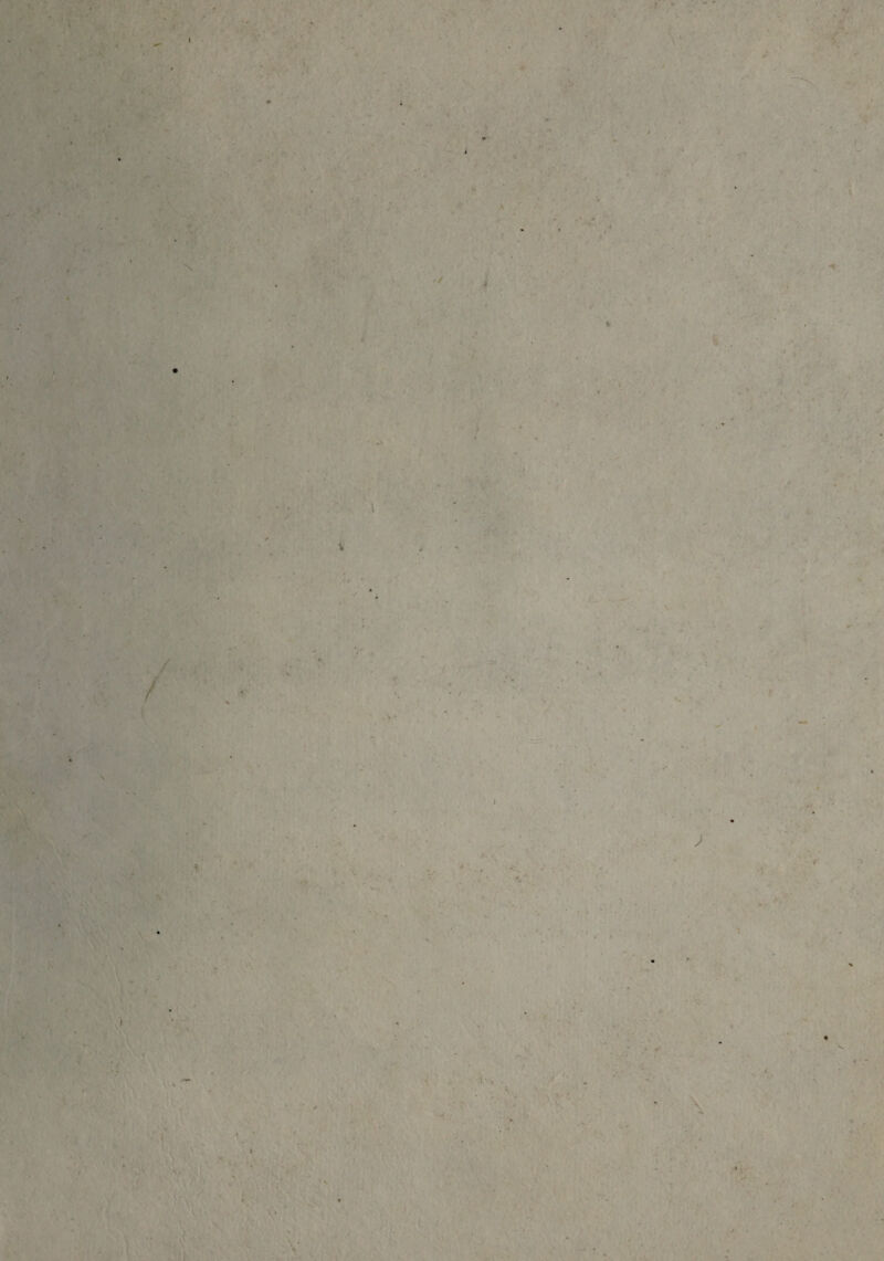 f \ t/ i > i * f . •% . I % I i * \