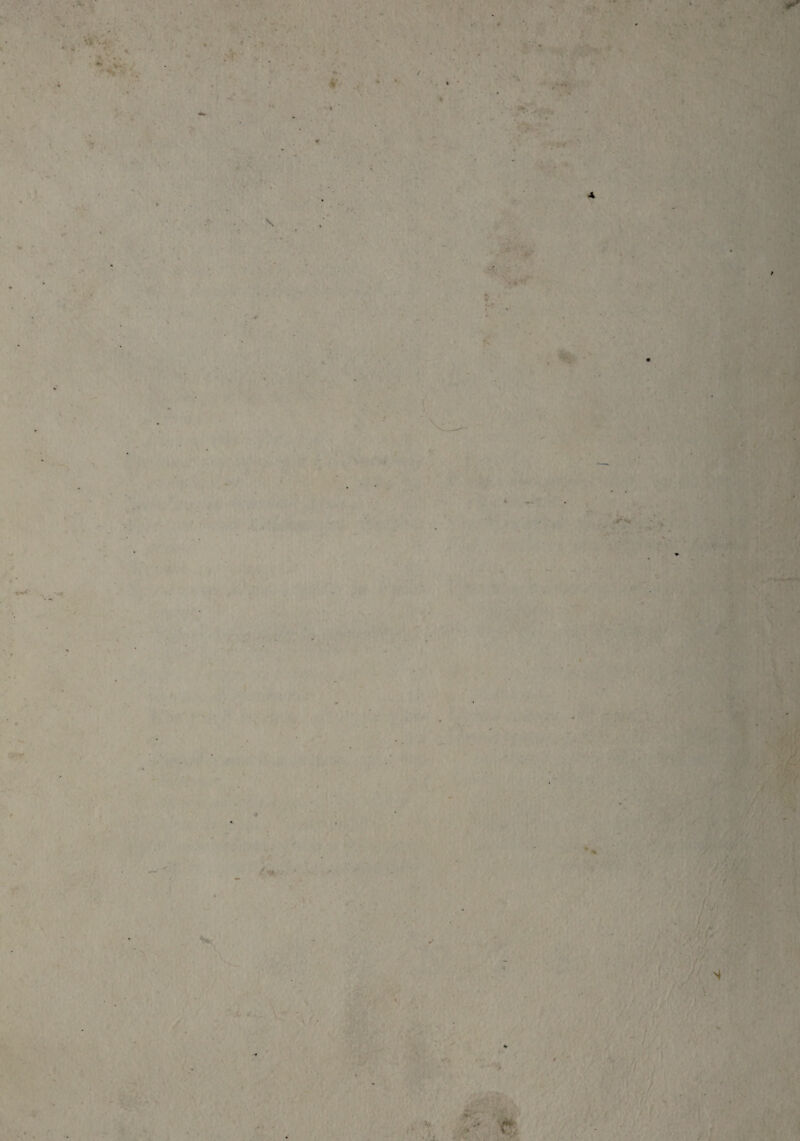 •* ■ » • . . • • v /* ; V ■ f£ .. ■ .. . -1 s H' *■ ■ ' ■ 'V '