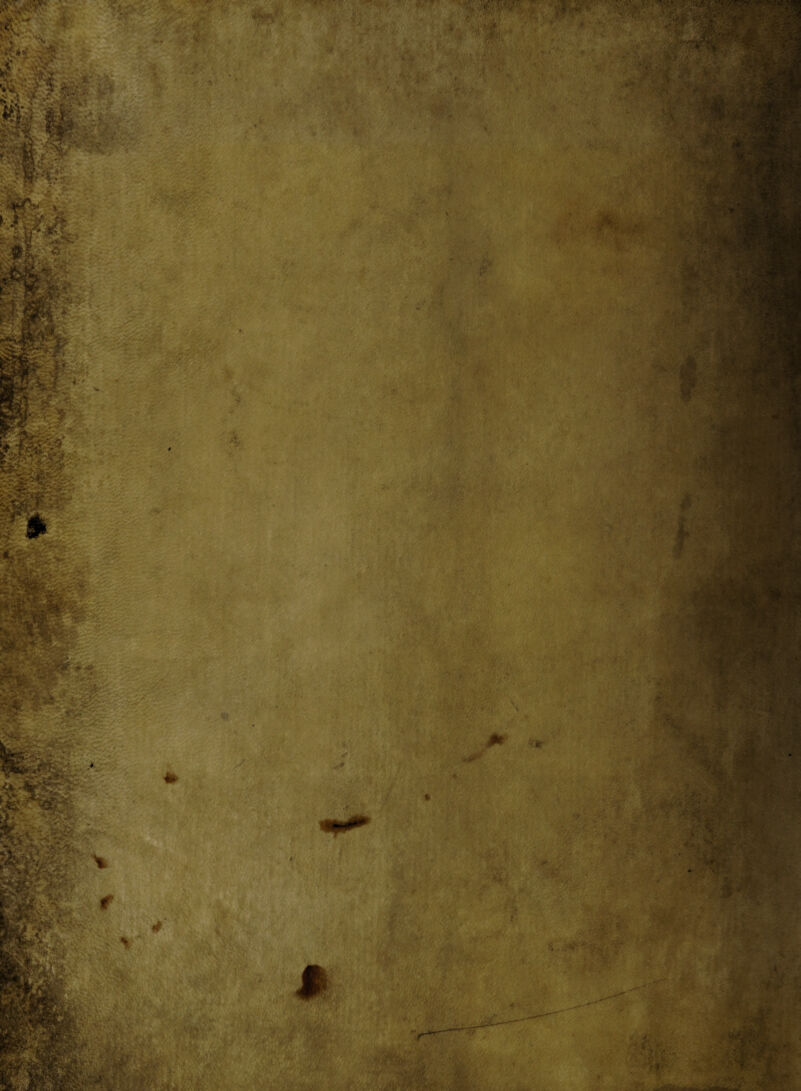 w ' W |1p % I^i, iV ■ ■ >> ,» •. V •' ». /t' fijfn’'. 'ft rr*.- ■ % *v , .... r. ,* i . > * V : $lK#li8B£ „■ '•••.■* ;v’jj « g| £ *■!;-. • •*’ ■ «f - V - .fo-f ' n&k - > '! ’1 <** -i. v.. • •> 1 . iJftXi 'k . *y* •• ’ 4t*S v '. v **'• St*7 S&i'r __ '■v-d ^ • ■ 'v' i.- . : 7% m i -.. J . . : BEfc, ' Uu4 saPr, $ . JS? • >» •*» • , ».• .■ > .. i *••;.•.>*■ - v v; • SHMggh . , i/i i m. > i, ■■'! ' I' ’ Ci. .. * : ■ 3trv « ' '-r ;M! - y3a F8&V.- v>v>4£>v/A V* ‘ •w 71 ; .. ' - *ry; v» . • . • • ■■ ii ■ V, U • 1 Kr * v#? A' ,.• «r vt &FP-: y ; ■' ••• ;-y /.•■■.'. ■ • ;■. '■«>- v • y. A. '• W • v >■ ■v» V ;.)\o 4-t *ii ' .. ’•- ,/,.v .-t ■ .• * k -M >■ ■' m ■ ' 71 r^;. V v S MM • v i • i,/ • .. . ; , v •;• i •- •/ • ■ ■.: b.y. . ;>i; ^1 a, •. r, ■; - d- *j»:w ' -y. rm »;/- 1 i .-r*!' ■ ,v'f' )♦' , */ r> 'V A »4- A/?,;1 14 i i ' Jii ’*1.^1 . . V aa-' M 1^1 fr-nv ■ * • *. •• Sts f.: te ■ Iwi’