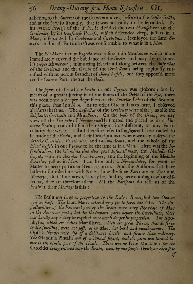 adhering to the Sutures of the Cranium above 5 before to the Crijla Galli 5 and at the bafts fo ftrongly, that it was not eafilv to be feparated. By it’s anterior Procefs of the Falx, it divided the two Flew inheres of the Cerebrum\ by it’s tranjverfe Procefs, which defcended deep, juft as in a Man , it feparated the Cerebrum and Cerebellum : it enjoyed the fame Si- 41 us s, and in all Particulars’twas conformable to what is in a Man. The Via Mater in our Pygmie was a fine thin Membrane which more immediately covered the Subftance of the Brain, and may be reckoned it's proper Membrane x, insinuating it’sfelf all along between the Anfradtus of the Cerebrum and the Circilli of the Cerebellum \ being copioufly fur- nifhed with numerous Branches of Blood Fejfels, but they appear’d more on the Convex Part, then at the Bafis. The figure of the whole Brain in our Pygmie was globous $ but by means of a greater jutting in of the Bones of the Orbit of the Bye, there was occasioned a deeper depreflion on the Anterior Lobes of the Brain in this place, than in a Man. As to other Circumftances here, I obferved all Parts the fame. The Anfiaffus of the Cerebrum were alike 5 as alfo the Subjlantia Corticalis and Medullaris. On the bafis of the Brain, we may view all the Ten pair of Nerves exa&ly fituated and placed as in a Hu¬ mane Brain 5 nor did I find their Originations different, or any Parti¬ cularity that was fo. I fhall therefore refer to the figures I have caufed to be made of the Brain, and their Defcriptions $ where we may obferve the Artcri# Carotides, Vertebrates, and Communicant, and the whole of the Blood Vejfels in our Pygmie to be the fame as in a Man. Here was the In¬ fundibulum, the Glandule du<e alb£ pone Infundibulum, the Medulla Ob¬ longata with it’s Annular Protuberance, and the beginning of the Medulla Spinalis, juft as in Man. I am here only a Nomenclator, for want of Matter to make particular Remarks upon. And the Authorrs that have hitherto furnifhed me with Notes, how the fame Parts are in Apes and Monkeys, do fail me now ^ it may be, finding here nothing new or dif¬ ferent, they are therefore filent. All the Parifians do tell us of the Brain in their Monkeys is this : ' _ S - I she Brain re as large in proportion to the Body: It weighed two Ounces and an half. The Dura Mater entered very far to form the Falx. The An- fi-attuofitics of the External part of the Brain were very like thofe of Man in the Anteriour part 5 but in the inward parts before the Cerebellum, there was hardly any : they in requital were much deeper in proportion. The Apo- phyfes, which are called Mamil lares, which are great Nerves that do ferve to the fmelling, were not foft, as in Man, but hard and membranous. The Optiok Nerves were alfo of a Subfiance harder and firmer than ordinary. Ihe Glandula Pinealis was of a Conical figure, and it’s point was turned to¬ wards the hinder part of the Head. There was no Rete Mirabile : for the Carotides being entered into the Brain, went by one fingle Trunks on each fide °f