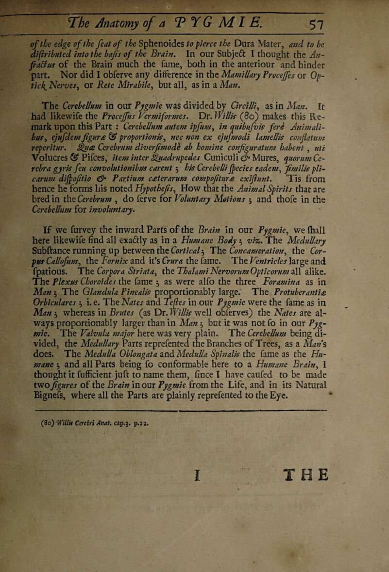 -- ' ----- ■ ' ----- of the edge of the feat of the Sphenoides to pierce the Dura Mater, and to be dijlributed into the bafis of the Brain. In our Subject I thought the An- fraffus of the Brain much the fame, both in the anteriour and hinder part. Nor did I obferve any difference in the Mamillary Procejfes or Op- tick^Nerves^ or Rete Mirabile, but all, as in a Man. The Cerebellum in our Pygmie was divided by Circilli, as in Man. It had likewife the Proceffus Vermiformes. Dr. Willis (80) makes this Re¬ mark Upon this Part : Cerebellum autem ipfum0 in quibufvis fere Animali- bus, ejufdem figure & proportionis^ nec non ex ejufmodi lamellis con flat urn reperitur. Quce Cerebrum diverfimode ab homine configuratum habent , nti Volucres (0 Pifces, item inter guadrupedes Cuniculi & Mures, quorum Ce- rebra gyris feu convolutionihts carent 3 his Cerebelli fpccies eadem, fimilis pli- carum dijpofitio & Par.tium c£terarum compofitur£ exiftunt. Tis from hence he forms his noted Hypothefls, How that the Animal Spirits that are bred in the Cerebrum , do ferve for Voluntary Motions 3 and thofe in the Cerebellum for involuntary. If we furvey the inward Parts of the Brain in our Pygmie, we (hall here likewife find all exa&ly as in a Humane Body 3 viz. The Medullary Subftance running up between the Cortical 3 The Concameration, the Cor¬ pus Callofum, the Fornix and it’s Crura the fame. The Ventricles large and fpatious. The Corpora Striata, the Thalami Nervorum Opticorum all alike. The Plexus Choroides the fame 3 as were alfo the three Foramina as in Man 3 The Glandula Pinealis proportionably large. The Protuberanti& Orbiculares 3 i. e. The Nates and Tejles in our Pygmie were the fame as in Man 3 whereas in Brutes (as Dr .Willis well obferves) the Nates are al¬ ways proportionably larger than in Man 3 but it was not fo in our Pyg¬ mie. The Valvula major here was very plain. The Cerebellum being di¬ vided, the Medullary Parts reprefented the Branches of Trees, as a Man s does. The Medulla Oblongata and Medulla Spinalis the fame as the Flu- mane 3 and all Parts being fo conformable here to a Humane Brain, I thought it fufficient juft to name them, fince I have caufed to be made two figures of the Brain in our Pygmie from the Life, and in its Natural Bignefs, where all the Parts are plainly reprefented to the Eye. (80) Willit Cerebri Anat. cap.3. p.22. I . THE