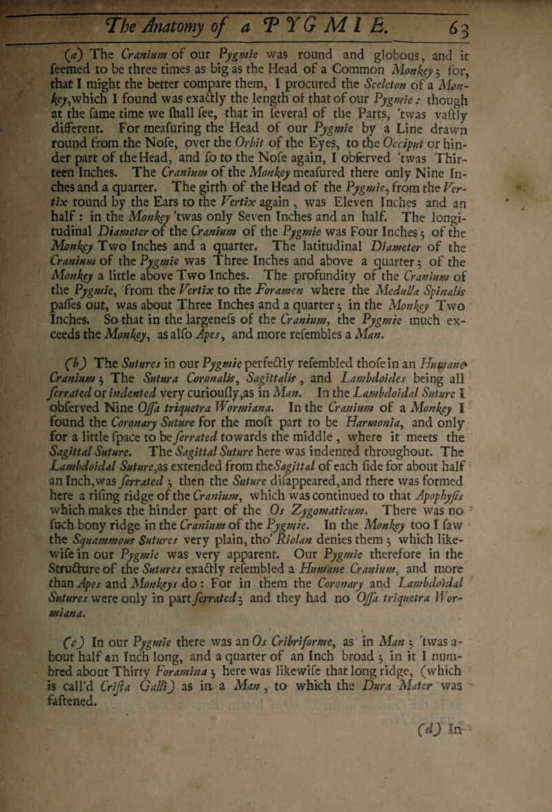 (a) The Cranium of our Pygmie was round and globous, and it feemed to be three times as big as the Head of a Common Monkey 5 for, that I might the better compare them, I procured the Sceleton of a Mon- key,which I found was exadtly the length of that of our Pygmie ; though at the fame time we (hall fee, that in feveral of the Parts, *twas vaftly different. For meafuring the Head of our Pygmie by a Line drawn round from the Nofe, over the Orbit of the Eyes, to the Occiput or hin¬ der part of the Head, and fo to the Nofe again, I obferved ’twas Thir¬ teen Inches. The Cranium of the Monkey meafured there only Nine In¬ ches and a quarter. The girth of the Head of the Pygmie, from the Ver- tix round by the Ears to the Vertix again , was Eleven Inches and an half : in the Monkey ’twas only Seven Inches and an half. The longi¬ tudinal Diameter of the Cranium of the Pygmie was Four Inches 5 of the Monkey Two Inches and a quarter. The latitudinal Diameter of the Cranium of the Pygmie was Three Inches and above a quarter 5 of the Monkey a little above Two Inches. The profundity of the Cranium of the Pygmie, from the Vertix to the Foramen where the Medulla Spinalis paffes out, was about Three Inches and a quarter 5 in the Monkey Two Inches. So that in the largenefs of the Cranium, the Pygmie much ex¬ ceeds the Monkey, as alfo Apes, and more refembles a Man. (b) The Sutures in our Pygmie perfectly refembled thofein an Hutnanfr Cranium $ The Sutura Coronalis, Sagittal is, and Lambdoicles being all ferrated or indented very curioufly,as in Man. In the Lambd.oidal Suture I obferved Nine Ojfa triquetra Wormiana. In the Cranium of a Monkey I found the Coronary Suture for the moft part to be Harmonia, and only for a little fpace to be ferrated towards the middle , where it meets the Sagittal Suture. The Sagittal Suture here was indented throughout. The Lambdoidal Suture,as extended from thzSagjttal of each fide for about half an Inch, was ferrated 5 then the Suture difappeared,and there was formed here a rifing ridge of the Cranium, which was continued to that Apophyfis which makes the hinder part of the Os Zygomaticum. There was no fuch bony ridge in the Cranium of the Pygmie. In the Monkey too I faw the Squammous Sutures very plain, tho’ Riolan denies them $ which like- wife in our Pygmie was very apparent. Our Pygmie therefore in the Structure of the Sutures exadtly refembled a Humane Cranium, and more than Apes and Monkeys do : For in them the Coronary and Lambdoidal Sutures were only in part ferrated 5 and they had no Ojfa triquetra Wor¬ miana. Cc) In our Pygmie there was an Os Cribriforme, as in Man 5 ’twas a- bout half an Inch long, and a quarter of an Inch broad 5 in it I num- bred about Thirty Foramina 5 here was likewife that long ridge, (which is call’d Crijla Gal/i) as in, a Man, to which the Dura Mater was f&ftened. \ I fl| ; (d) III-