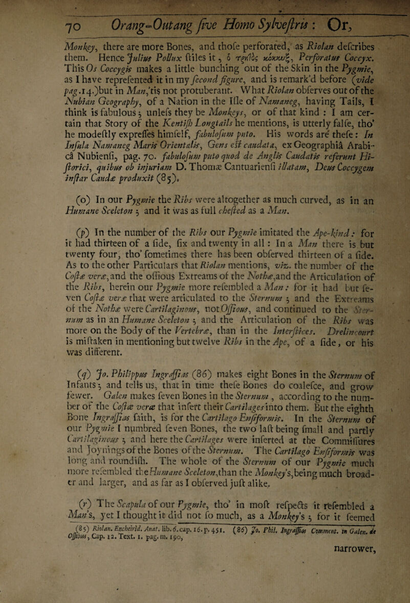 Monkey, there are more Bones, and thofe perforated, as Riolan defcribes them. Hence Julius Pollux (tiles it, 6 Vcoowf, Perforator Coccyx. This 0/ Coccygk makes a little bunching out of the Skin in the Pygmie, as I have reprefented it in my fecond figure, and is remark’d before (vide pag. i4-)but in Manft is not protuberant. What Riolan obferves out of the Nubian Geography, of a Nation in the Iile of Namaneg, having Tails, I think is fabulous $ unlefs they be Monkeys, or of that kind : I am cer¬ tain that Story of the Kenti/Ij Longtailshe mentions, is utterly falfe, tho’ he modeftly expreffes himfelf, fabtdofum puto. His words are' thefe : In Infula Namaneg Mark Orientals, Gens etf caudata, ex Geographic Arabi-' c2 Nubienfi5 pag. 70. fabulofum puto quod de Anglk Caudatk referunt Hi- florid, quibtfs ob injurtam D. Thoms Cantuarienli illatam, Deus Coccygem inflar Cauda produxit (85), (o) In our Pygmie the Ribs were altogether as much curved, as in an Humane Sceleton 5 and it was as full chefled as a Man. (p') In the number of the Ribs our Pygmie imitated the Ape-kjnd: for it had thirteen of a fide, fix and twenty in all: In a Man there is but twenty four, tho’ fometimes there has been obferved thirteen of a fide. As to the other Particulars that Riolan mentions, viz. the number of the Coflee vera^ and the oilious Extreamsof the Notha^nd the Articulation of the Ribs, herein our Pygmie more refembled a Man: for it had but fe- ven Coflee vera that were articulated to the Sternum $ and the Extreams of the Notha were Cartilaginous, not Offious, and continued to the Ster¬ num as in an Humane Sceleton $ and the Articulation of the Ribs was more on the Body of the Vertebra, than in the Interfaces. Drelincourt is miftaken in mentioning but twelve Ribs in th zApe0 of a fide, or his was different. (q) Jo. Philippus Tngraffias (86) makes eight Bones in the Sternum of Infants ^ and tells us, that in time thefe Bones do coalefce, and grow fewer. Galen makes feven Bones in the Sternum , according to the num¬ ber or the Coflce vera that infert their Cartilages into them. But the eighth Bone IngrajfliM faith, is for the Cartilago Enfiformk. In the Sternum of our Pygmie I numbred feven Bones, the two laft being fmall and partly Cartilaginous ^ and here the Cartilages were inferred at the Commi fibres and Joyningsof the Bones of the Sternum. The Cartilago Enflformk was long and roundifh. The whole of the Sternum of onr Pygmie much more refembled th ^Humane Sceletony han the Monkey s fitting much broad¬ er and larger, and as far as I obferved juft alike.. (0 The Scapula of our Pygmie, tho’ in moft refpe&s it refembled a Man s, yet I thought it did not fo much, as a Monkey’s $ for it feemed (85) Riolan. Encheirid. AnatN^6~Hfi7i6.^ 451. (85) Jo. Phil. Ingrajjw Comment. inGalen.de Cap. i2. Text. 1. pag. m, 190, narrower,