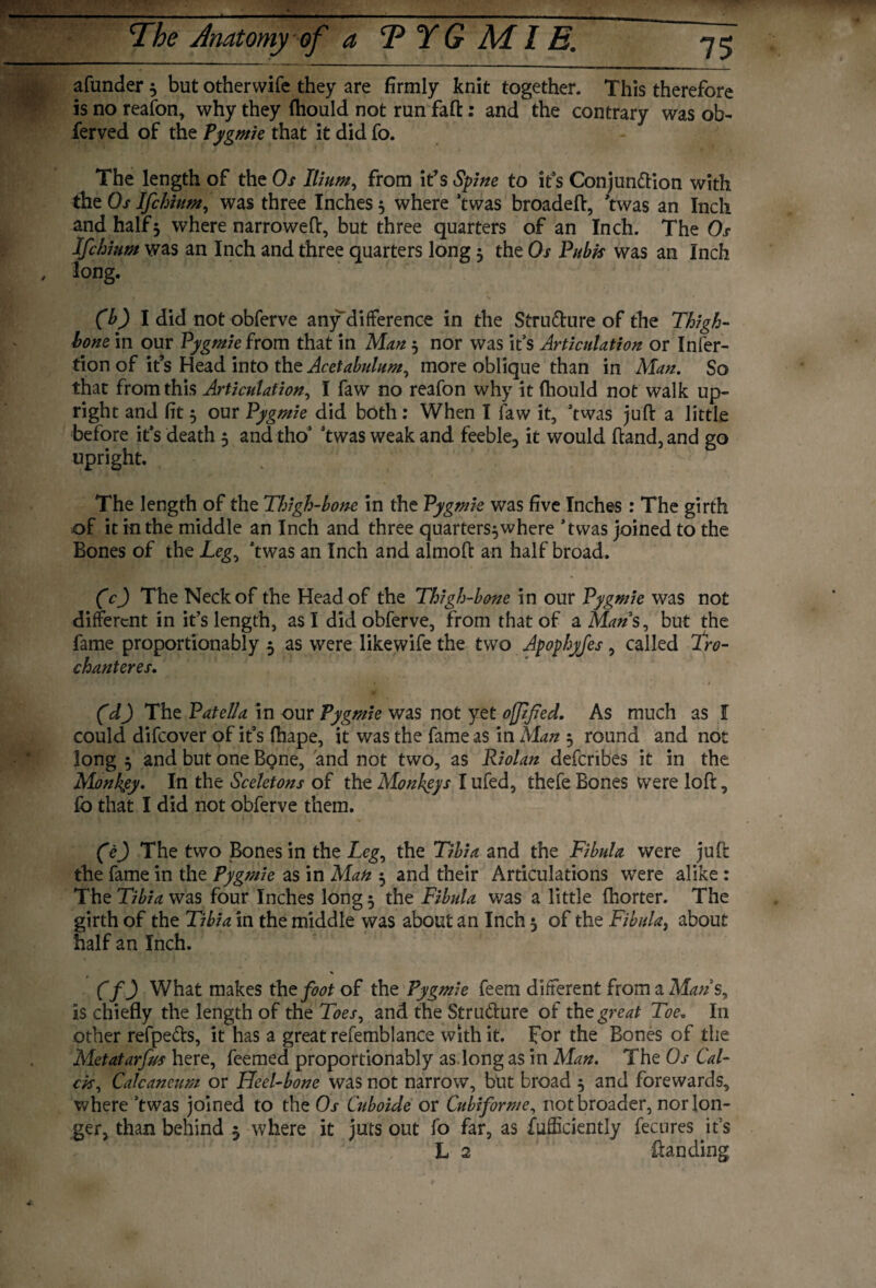 afunder 5 but othervvife they are firmly knit together. This therefore is no reafon, why they fhould not run fad: and the contrary was ob- ferved of the Pygmie that it did fo. The length of the Os Ilium, from it’s Spine to it’s Conjunction with the Os Ifchium, was three Inches 5 where ’twas broadeft, ’twas an Inch and half 5 where narrowed:, but three quarters of an Inch. The Os Ifchium was an Inch and three quarters long 3 the Os Pubis was an Inch , long. > ' , \ * (b) I did not obferve any difference in the Structure of the Thigh- hone in our Pygmie from that in Man 3 nor was it’s Articulation or Infer- tion of it’s Head into the Acetabulum, more oblique than in Man. So that from this Articulation, I faw no reafon why it fhould not walk up¬ right and fit 3 our Pygmie did both: When I faw it, ’twas juft a little before it’s death 5 and tho’ ’twas weak and feeble, it would ftand, and go upright. The length of the Thigh-bone in the Pygmie was five Inches : The girth of it in the middle an Inch and three quarte^where ’twas joined to the Bones of the Leg, ’twas an Inch and almoft an half broad. (c) The Neck of the Head of the Thigh-bone in our Pygmie was not different in it’s length, as I did obferve, from that of a Mans, but the fame proportionably 3 as were likewife the two Apophyfes , called fro- chanteres. (d) The Patella in our Pygmie was not yet off fed. As much as I could difeover of it’s fhape, it was the fame as in Man 3 round and not long 3 and but one Bone, and not two, as Riolan defenbes it in the Monkey. In the Sceletons of the Monkeys I ufed, thefe Bones Were loft, fo that I did not obferve them. (e) The two Bones in the Leg, the Tibia and the Fibula were juft the fame in the Pygmie as in Man 3 and their Articulations were alike : The Tibia was four Inches long 5 the Fibula was a little (horter. The girth of the Tibia in the middle was about an Inch 3 of the Fibula, about half an Inch. (f) What makes Cat foot of the Pygmie feem different from a Mans, is chiefly the length of the Toes, and the Stru&ure of tht great Toe„ In other refpe&s, it has a great refemblance with it. for the Bones of the Metatarfus here, feemed proportionably as.long as in Man. The Os Cal- cis, Calcaneum or Heel-bone was not narrow, but broad 3 and forewards, where ’twas joined to the Os Cuboide or Cubiforme, not broader, nor lon¬ ger, than behind 3 where it juts out fo far, as Efficiently fecures it’s L 2 ftanding