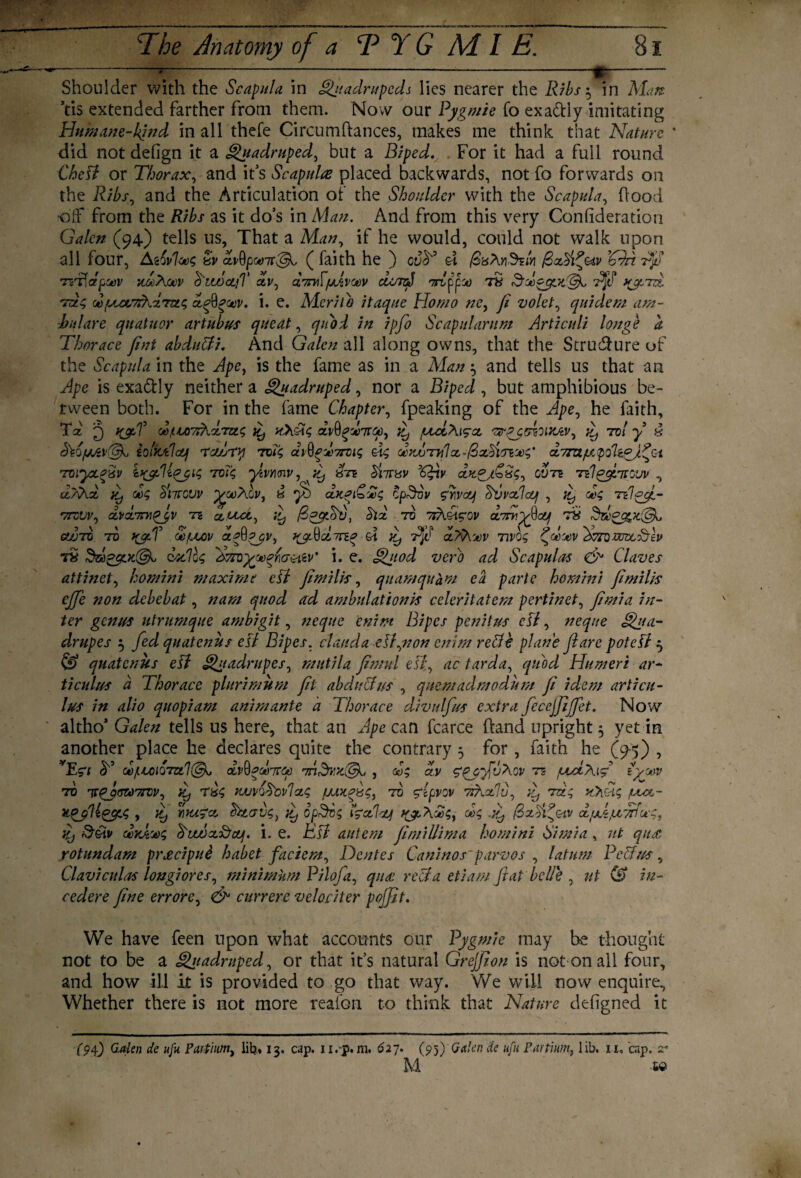 Shoulder with the Scapula in Spiadrupcds lies nearer the Ribs $ in Man Vis extended farther from them. Now our Pygmie Co exa&ly imitating Humane-kind in all thefe Circumftances, makes me think that Nature did not deOgn it a Quadruped, but a Biped., For it had a full round Cbell or Thorax, and it’s Scapula placed backwards, not fo forwards 011 the Ribs, and the Articulation of the Shoulder with the Scapula, flood •off from the Ribs as it do’s in Man. And from this very Confederation Galen (94) tells us, That a Man, if he would, could not walk upon all four, Agovlovs dv dvQpca7r^l ( faith he ) cdV el (ShXyi^zIyi ’Adri Sfi tstCapoov xAXoov o'wJctjV ctv, dcmlfjdvtov cu/rsJ Trtppu) tS Hdccfalyk, yjrrd. tSc, 00yeanrhAtvlc, dfigeev. i. e. Merita itaque Homo ne, Ji volet, quidem am- bulare quatuor artubus queat, quod in ipfo Scapularum Articuli longe a Thorace jint abdutfi. And Galen all along owns, that the Structure of the Scapula in the Ape, is the fame as in a Man ^ and tells us that an Ape is exactly neither a Quadruped, nor a Biped, but amphibious be¬ tween both. For in the fame Chapter, fpeaking of the Ape, he faith, Ta JT) t(jcT oo/tu>7!Xdnz<; uXA<; drQgditco, iy fctciX^ct 'ZtrqjAsWOiv, ^ not y d hVj/jjZvffL hlyjtlcfjj rohry toTc, Ac, drAiruIcc-^z^iinoo^ ct7rzz/Lt po1gqJ.fi TOiyxqSv it&HqyiS T0T9 ym<nv, ilj dm chivuv ’(R-tv Nq/Cxs, guts Tzlqfiirovv , ti/Xx ii) 00$ Anrovv p^ooXov, « jb ctKqiCuh; opSov zrvcq dvvxlccf , ^ dx; Tzlqfi- ttcvv, dvd.7ryiqjv tz duct, iy /Sqytciv, Six to TtXCt?ov d.7niyf<Z) TS CWTO TO f&T OOfUAV aqQqyv, el ^ Af d?Xwv T1V09 ^oooov XtfnouJztxJev tS 3z»£^x©u oaclU i. e. Quod verb ad Scapulas & Claves attinet, homini maxime ell fimilis, quamquaoi ea parte homini fimilis ejfe non debebat, nam quod ad ambulationhs celeritatem pertinet, fimia in¬ ter genus utrumque ambigit, neque enim Bipes penitus ell, neque Qjta- drupes $ fed quatenus ell Bipes. clauda ell,non enim relit plane fare potell 5 quatenus ell Quadrupes, mutila jimul ell, tarda, quod Humeri ar- ticulus a Thorace plurimum fit abdtt&us , quemadmodum ji idem articu- lus in alio quopiam animante a Thorace divulfus extra feccjfiffet. Now altho* Galen tells us here, that an Ape can fcarce (land upright 5 yet in another place he declares quite the contrary 5 for, faith he (9-5) , vEsT T ob/uoiGTZil^ TnSrrr.^ , d; civ zqofiuXov tz /uAXtj zyoov to TsqjsuTrcv, 'f T&<; twvolcvlac, yur.fi g, to ylpvov TtXxlu, f tS; uxlic, /ucc- TtqjjtkgcfLC, , f rau?ct heerfi, f opSig t^ctlauj d; Si. (6xSfuv djmdju7rfu^, Vj &&h dyA'jtu; SuAx&cq. i. e. Ell autem jimillima homini Si mi a , 7tt qua rotundam pracipue habet facie m. Dentes Can) no s' parvos , latum PcTus, Clavi culas long} ores, minimum Pilofa, qua reel a etiam fiat belie , ut Bl¬ eeder e fine err ore, & currere velociter poffit. We have feen upon what accounts our Pygmie may be thought not to be a H'nadruped, or that it’s natural Grejjion is not on all four, and how ill it is provided to go that way. We will now enquire. Whether there is not more reafon to think that Nature defigned it (94.) Galen de ufu Partium, lib, 13. cap. u.-p.m. 627. (95) Galen de ufu Fartium^ lib. 11. cap. 2- M to