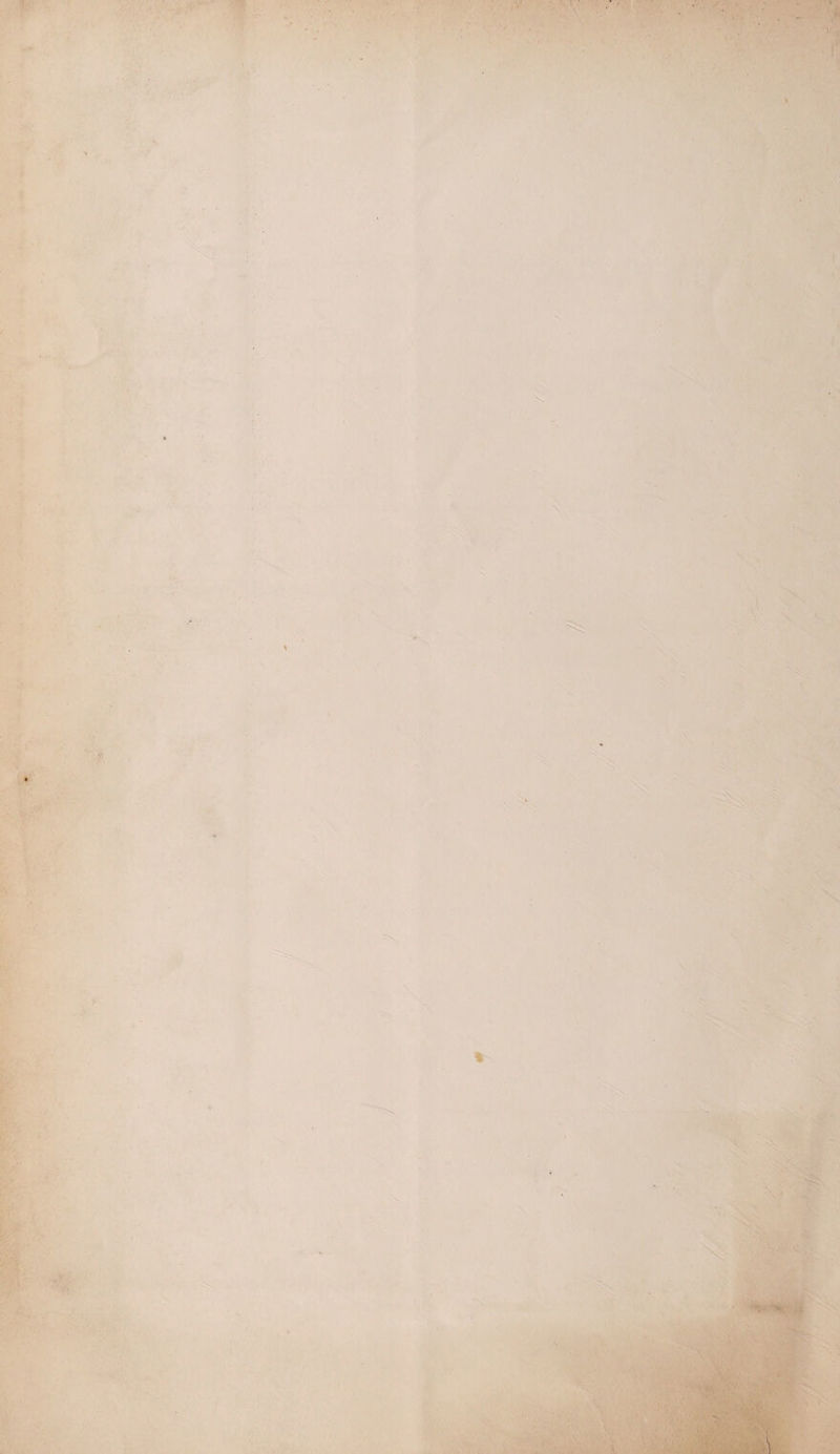 ■ > . • ' • I .