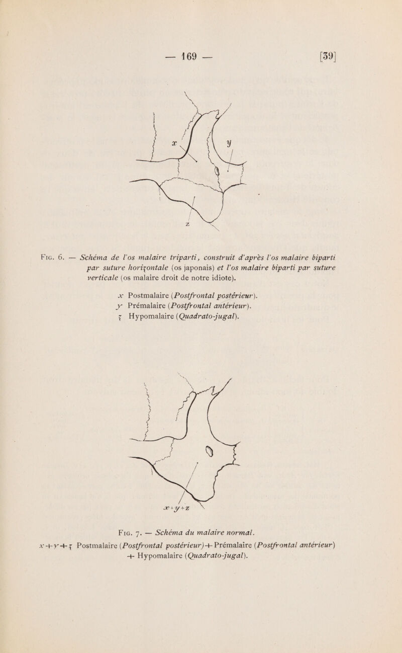 Fig. 6. — Schéma de l’os malaire triparti, construit d’après l’os malaire biparti par suture horizontale (os japonais) et Vos malaire biparti par suture verticale (os malaire droit de notre idiote). x Postmalaire (Postfrontal postérieur), y Prémalaire (Postfrontal antérieur). Z Hypomalaire (Quadrato-jugal). Fig. 7. — Schéma du malaire normal. x-\-y-\~z Postmalaire (Postfrontal postérieur)h- Prémalaire (Postfrontal antérieur) -+- Hypomalaire (Quadrato-jugal).