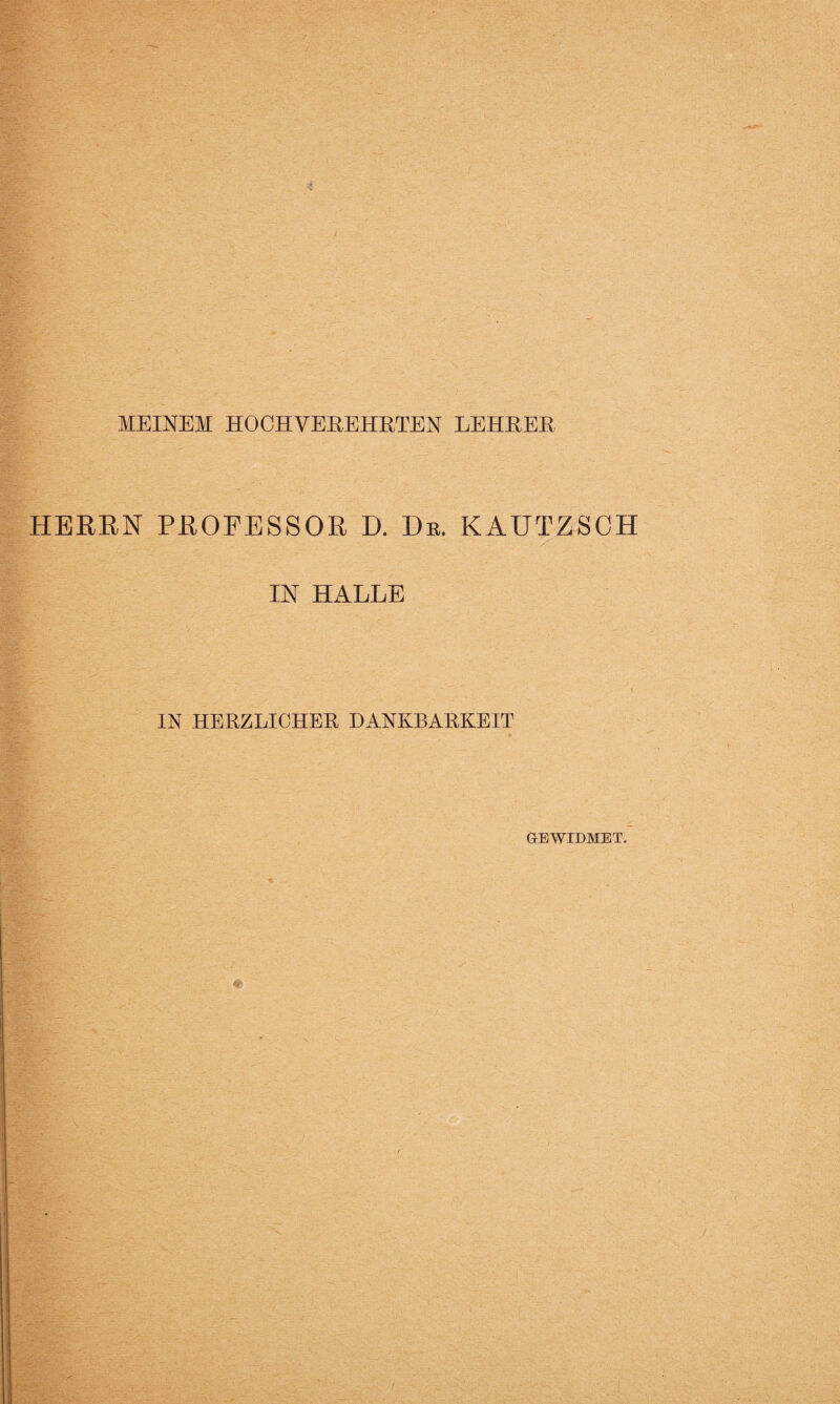 MEINEM HOCHVEREHRTEN LEHRER HERRN PROFESSOR D. De. KAUTZSCH IN HALLE IN HERZLICHER DANKBARKEIT GEWIDMET.