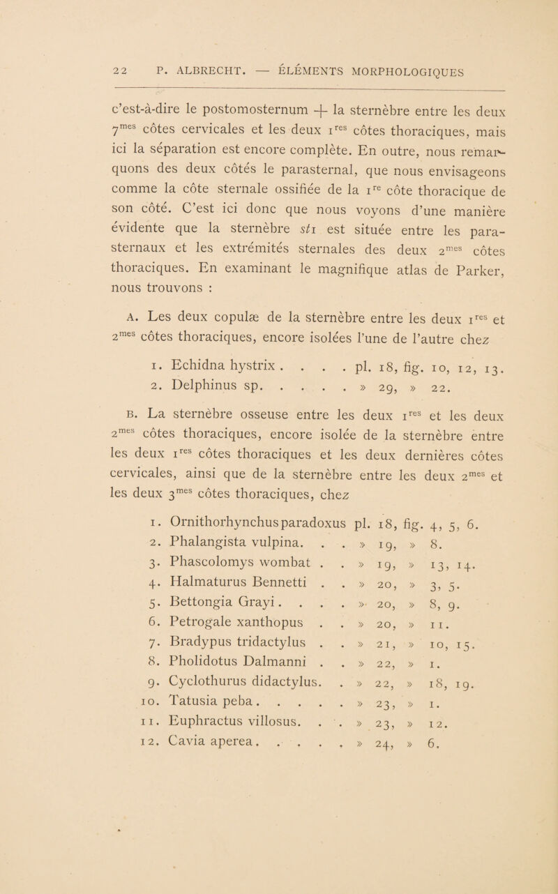 c’est-à-dire le postomosternum -f- la sternèbre entre les deux 7mes côtes cervicales et les deux ires côtes thoraciques, mais ici la séparation est encore complété. En outre, nous remar¬ quons des deux cotes le parasternal, que nous envisageons comme la côte sternale ossifiée de la ire côte thoracique de son côte. C’est ici donc que nous voyons d’une manière évidente que la sternèbre sti est située entre les para¬ sternaux et les extrémités sternales des deux 2mes côtes thoraciques. En examinant le magnifique atlas de Parker, nous trouvons : A. Les deux copulæ de la sternèbre entre les deux ires et 2mes côtes thoraciques, encore isolées l’une de l’autre chez 1. Echidna hystrix . . . . pl. 18, fig. io, 12, 13. 2. Delphinus sp. . . . . » 29, » 22. b. La sternèbre osseuse entre les deux ires et les deux 2raes côtes thoraciques, encore isolée de la sternèbre entre les deux ires côtes thoraciques et les deux dernières côtes cervicales, ainsi que de la sternèbre entre les deux 2mes et les deux 3mes côtes thoraciques, chez 1. 2. 3- 4- 5- 6. 7* 8. 9. 10. 11. 12. Ornithorhynchus paradoxus pl. 18, fig- 4. 5. 6- Phalangista vulpina. . » *9, » 8. Phascolomys wombat . . » » 13, 14. Halmaturus Bennetti . . » 20, » 3, 5- Bettongia Grayi. . »• 20, » 8, 9. Petrogale xanthopus . . » 20, » 11. Bradypus tridactylus . . » 21, » 10, 15. Pholidotus Dalmanni . . » 22, » 1. Cyclothurus didactylus. . » 22, » 18, 19. Tatusia peba.... . » 23, » 1. Euphractus villosus. » 23, » 12. Caviaaperea. . . . » 24, » 6.