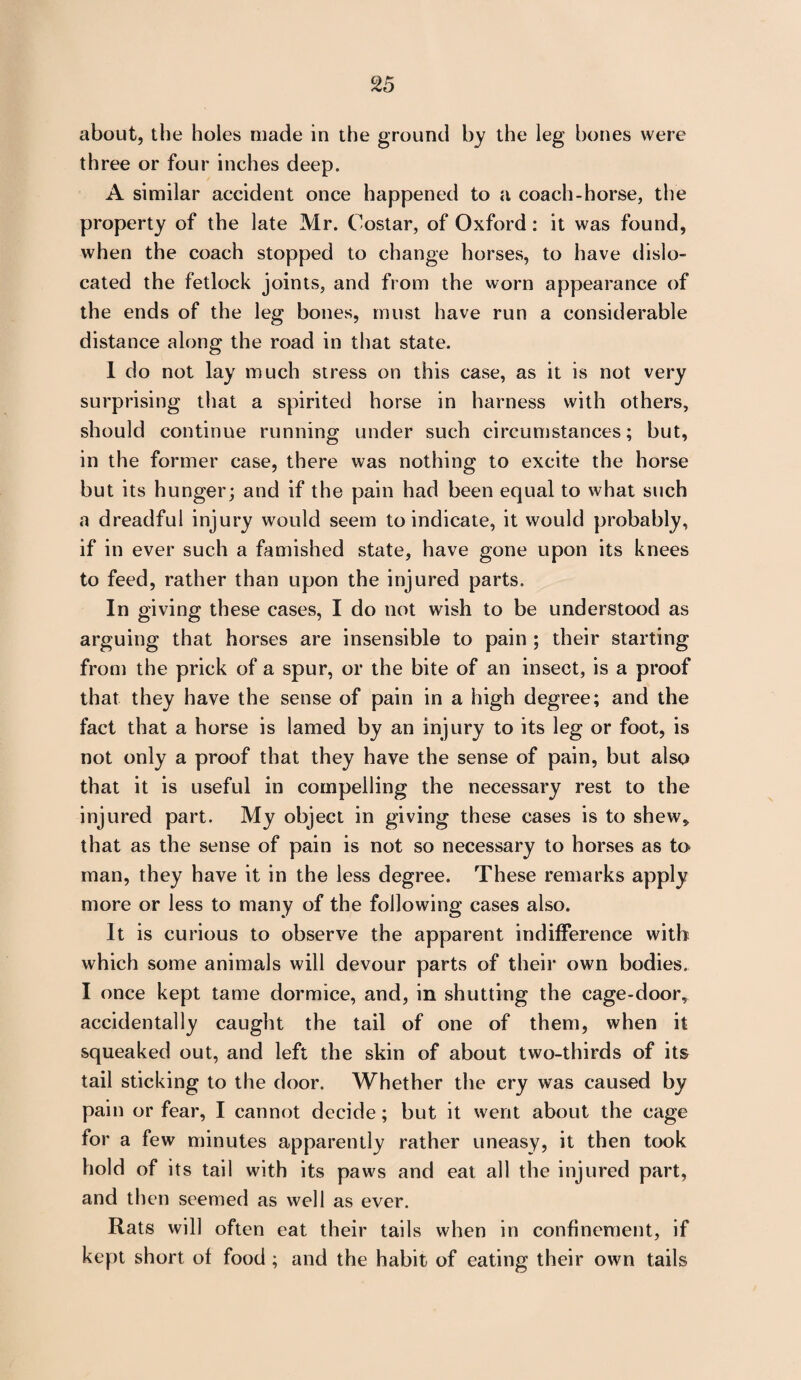 about, the holes made in the ground by the leg hones were three or four inches deep. A similar accident once happened to a coach-horse, the property of the late Mr. Costar, of Oxford: it was found, when the coach stopped to change horses, to have dislo¬ cated the fetlock joints, and from the worn appearance of the ends of the leg bones, must have run a considerable distance along the road in that state. 1 do not lay much stress on this case, as it is not very surprising that a spirited horse in harness with others, should continue running under such circumstances; but, in the former case, there was nothing to excite the horse but its hunger; and if the pain had been equal to what such a dreadful injury would seem to indicate, it would probably, if in ever such a famished state, have gone upon its knees to feed, rather than upon the injured parts. In giving these cases, I do not wish to be understood as arguing that horses are insensible to pain ; their starting from the prick of a spur, or the bite of an insect, is a proof that they have the sense of pain in a high degree; and the fact that a horse is lamed by an injury to its leg or foot, is not only a proof that they have the sense of pain, but also that it is useful in compelling the necessary rest to the injured part. My object in giving these cases is to shew* that as the sense of pain is not so necessary to horses as to man, they have it in the less degree. These remarks apply more or less to many of the following cases also. It is curious to observe the apparent indifference with which some animals will devour parts of their own bodies. I once kept tame dormice, and, in shutting the cage-door, accidentally caught the tail of one of them, when it squeaked out, and left the skin of about two-thirds of its tail sticking to the door. Whether the cry was caused by pain or fear, I cannot decide; but it went about the cage for a few minutes apparently rather uneasy, it then took hold of its tail with its paws and eat all the injured part, and then seemed as well as ever. Rats will often eat their tails when in confinement, if kept short of food ; and the habit of eating their own tails