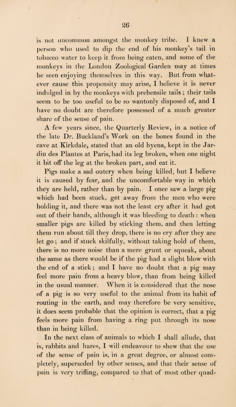is not uncommon amongst the monkey tribe. I knew a person who used to dip the end of his monkey’s tail in tobacco water to keep it from being eaten, and some of the monkeys in the London Zoological Garden may at times be seen enjoying themselves in this way. But from what¬ ever cause this propensity may arise, I believe it is never indulged in by the monkeys with prehensile tails ; their tails seem to be too useful to be so wantonly disposed of, and I have no doubt are therefore possessed of a much greater share of the sense of pain. A few years since, the Quarterly Review, in a notice of the late Dr. Buckland’s Work on the bones found in the cave at Kirkdale, stated that an old hyena, kept in the Jar- din des Plantes at Paris, had its leg broken, when one night it bit off the leg at the broken part, and eat it. Pigs make a sad outcry when being killed, but I believe it is caused by fear, and the uncomfortable way in which they are held, rather than by pain. I once saw a large pig which had been stuck, get away from the men who were holding it, and there was not the least cry after it had got out of their hands, although it was bleeding to death : when smaller pigs are killed by sticking them, and then letting them run about till they drop, there is no cry after they are let go; and if stuck skilfully, without taking hold of them, there is no more noise than a mere grunt or squeak, about the same as there would be if the pig had a slight blow with the end of a stick; and I have no doubt that a pig may feel more pain from a heavy blow, than from being killed in the usual manner. When it is considered that the nose of a pig is so very useful to the animal from its habit of routing in the earth, and may therefore be very sensitive, it does seem probable that the opinion is correct, that a pig feels more pain from having a ring put through its nose than in being killed. In the next class of animals to which I shall allude, that is, rabbits and hares, I will endeavour to shew that the use of the sense of pain is, in a great degree, or almost com¬ pletely, superseded by other senses, and that their sense of pain is very trifling, compared to that of most other quad-