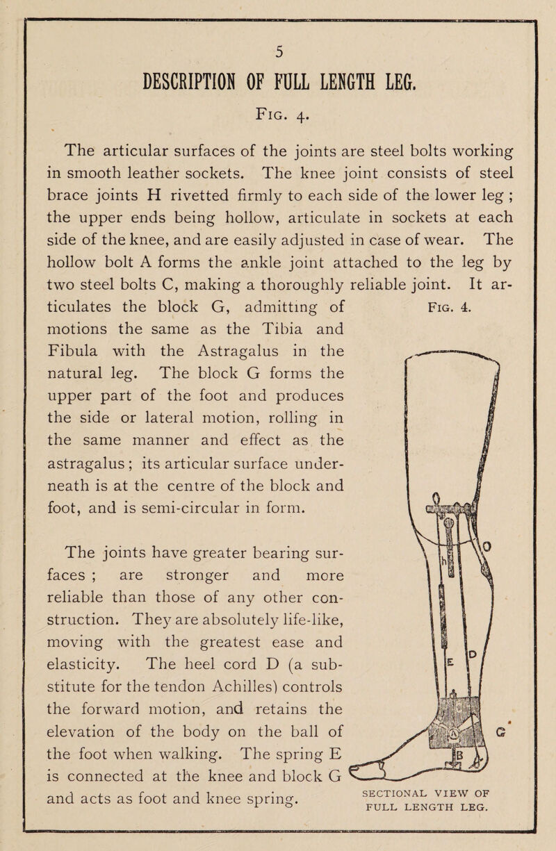 DESCRIPTIOM OF FULL LENGTH LEG. Fig. 4. The articular surfaces of the joints are steel bolts working in smooth leather sockets. The knee joint consists of steel brace joints H rivetted firmly to each side of the lower leg ; the upper ends being hollow, articulate in sockets at each side of the knee, and are easily adjusted in case of wear. The hollow bolt A forms the ankle joint attached to the leg by two steel bolts C, making a thoroughly reliable joint. It ar¬ ticulates the block G, admitting of motions the same as the Tibia and Fibula with the Astragalus in the natural leg. The block G forms the upper part of the foot and produces the side or lateral motion, rolling in the same manner and effect as the astragalus ; its articular surface under¬ neath is at the centre of the block and foot, and is semi-circular in form. Fig. 4. The joints have greater bearing sur¬ faces ; are stronger and more reliable than those of any other con¬ struction. The}^ are absolutely life-like, moving with the greatest ease and elasticity. The heel cord D (a sub¬ stitute for the tendon Achilles) controls the forward motion, and retains the elevation of the body on the ball of the foot when walking. The spring E is connected at the knee and block G and acts as foot and knee spring. SECTIONAL VIEW OF FULL LENGTH LEG.