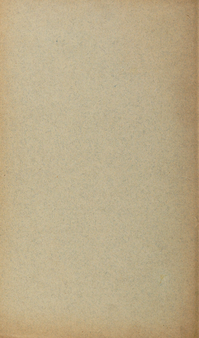 . ' - ' ' 1 ' . ' ... V ■- - ■ ‘ • .v. > - \t4iÆk- ' ■ V ■ '• v-,-' -/  -Jt . ■ ' \ ^ 'J V- - ; ' r/ '• ' Ç\' J- v- V , y • c ' ■■ ; . -, ’ -l ' . ' . - . ' . . . - :• - ■ - t < ■ ■ ■ ■■ ‘ v , ■ . . . -s - v .. - -■ • : •; a V . • • - . ‘ - ■ ^ XK] -,. o. 1 .... . ' . - -, - . ' ' ■ , • ;* “a ■ ' :• - - . - ' • • ; ' v.-.- ■ ' ‘ . ... ■ : : - . , •• . ■ , , ■ \ - - ■ ; t :y,; yA0':. v / ^ 1 -, , - «h , ■ • - . '.i:\ v .•' ''-C - ■ - >> s „' , -y-*.* - - ■•t; ' - v . ... , * ' • 1» \ - : - ■ - K ' A : .t- - v- . • ? '■ ■' • V ï&fiM ■ -, - '<■ -CisSak •* ; • -vi ’ •’ .% v : -.v: ■  v / . . k:‘ ■ - b ■ ' •’ / -. .v. K * .WBM x v- • ■ . ■ à , .■> ;•% > - ' 1 ■ v • ( ■<. . ■ . . . -■ J >M| - . . ..'v * ‘ .«• \ ••\s ■ v '.-v, ^ K., . w . . . . «t. ^ ’r: -y-t- ■ ■■ ■- ,«• J v-; • ' ' ■ ■ . ■■ ■ . - . f-v.a ' ■ Y, - S‘ ... ' -4 •• - r ■ , . • . .y - v, •’> j , > . *. ’Kv1 ! !. .• / i •. ‘ , , ■ ■' * l ' ty . x. ny ■ f. '-Ui ; • .. y M • - ^ > , -V' . J/\$S ^ -t • r , i - %'r X- ■■ ; -, ■ ‘ y. K .y V v . •